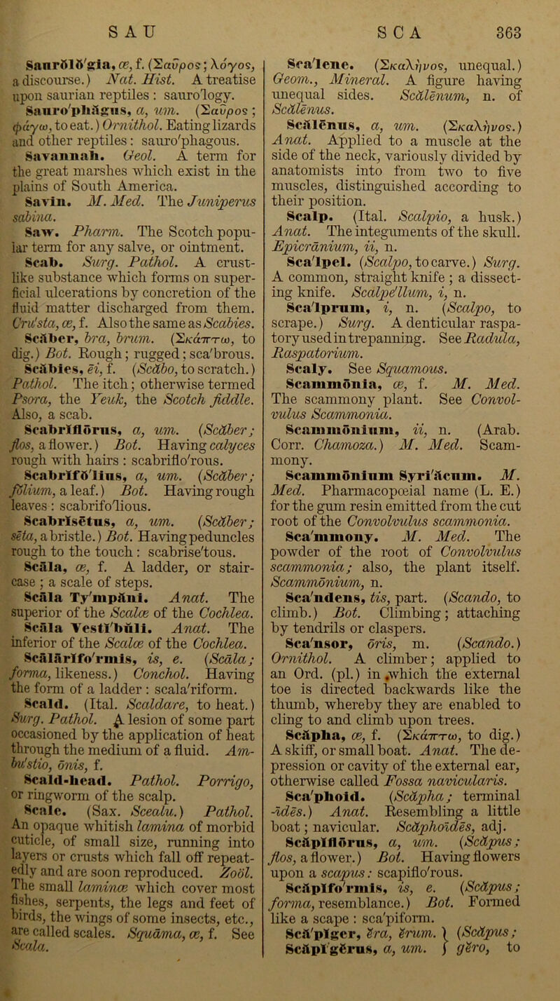 Sanrttlft'ffia, ce, f. (^aupos; Xoyo^, a discourse.) Nat. Hist. A treatise upon saurian reptiles : saurology, Sanro'pliilffiis, a, wn. (SaCpos ; (payCO, to eat.) Ornithol. Eating lizards and other reptiles: sauro'phagous. Savannah. Geol. A term for the great marshes which exist in the plains of South America. Savin. M. Med. The Juniperus sabiiia. Saw. Pharm. The Scotch popu- lar term for any salve, or ointment. Scab. Siirg. Pathol. A cnist- like substance which forms on super- ficial ulcerations by concretion of the fiuid matter discharged from them, (Jridsta, ce, f. Also the same as Scabies. Sc.'iher, bra, bncm. {'S.Ko.TT'roo, to dig.) Bot. Rough; rugged;sca'brous. ScShies. H, f. (Scdbo, to scratch.) Pathol. The itch; otherwise termed Psora, the Yeuk, the Scotch fiddle. Also, a scab. Soabrillorns, a, mn. (Scdber; /os, a flower.) Bot. hUaving calyces rough with hairs ; scabriflo'rous. Scabrlfft'lin.s, a, um. (Scdber; folium, a leaf.) Bot. Having rough leaves: scabrifoflious. ScabrlsStns, a, um. {Scdber; sete, a bristle.) Bot. Having peduncles rough to the touch: scabrise'tous. Scala, ce, f. A ladder, or stair- case ; a scale of steps. Scala Ty'mpftni. Anat. The superior of the Sccdce of the Cochlea. Scala Ve.stl'bull. Anat. The inferior of the Scales of the Cochlea. Scalarlfo'rmis, is, e. {Scala; /oma, likeness.) Conchol. Having the form of a ladder : scala'riform. Scald. (Ital. Scaldare, to heat.) Surg. Pathol. ^ lesion of some part occasioned by the application of heat through the medium of a fluid. Am- bvJstio, dnis, f. Scald-head. Pathol. Porrigo, or ringworm of the scalp. Scale. (Sax. Scealu.) Pathol. An opaque whitish lamina of morbid cuticle, of small size, running into layers or crusts which fall off repeat- edly and are soon reproduced. Zobl. The small lamince which cover most fishes, serpents, the legs and feet of birds, the wings of some insects, etc., are called scales. Squama, cc, f. See Scala. Scalene. {'EKaXi'ivos, unequal.) Geom., Mineral. A figure having unequal sides. Scdlenum, n. of Scdlenus. ScjIlCnns, a, um. (2/caXi)vos.) Anat. Applied to a muscle at the side of the neck, variously divided by anatomists into from two to five muscles, distinguished according to their position. Scalp. (Ital. Scalpio, a husk.) Anat. The integuments of the skull. Epicranium, ii, n. Scalpel. {Scalpo, tocarvQ.) Surg. A common, straight knife ; a dissect- ing knife. Scalpdllum, i, n. Scalpi-nm, i, n. (Scalpo, to scrape.) Surg. A denticular raspa- toryusedintrepanning. ^oeRadula, Raspatorium. Scaly. See Squamous. Scammonia, ce, f. M. Med. The scammony plant. See Convol- vulus Scammonia. Scaninidniiim, ii, n. (Arab. Corr. Chamoza.) M. Med. Scam- mony. Scammonlnm Syrl'ilcnm. M. Med. Pharmacopoeial name (L. E.) for the gum resin emitted from the cut root of the Convolvulus scammonia. Sca'mmouy. M. Med. The powder of the root of Convolvulus scammonia; also, the plant itself. Scammonium, n. Sca'ndens, tis, part. {Scando, to climb.) Bot. Climbing; attaching by tendrils or claspers. Sca'nsor, oris, m. (Scando.) Ornithol. A climber; applied to an Ord. (pi.) in .which the external toe is directed backwards like the thumb, whereby they are enabled to cling to and climb upon trees. Sc^ipha, ce, f. (S/cdTTT-a), to dig.) A skiff, or small boat. Anat. The de- pression or cavity of the external ear, otherwise called Fossa navicularis. Sca'phold. (Sedpha; tenninal -Ides.) Anat. Resembling a little boat; navicular. Scdpholdes, adj. Scftplflorns, a, um. (Sedpus; /05, a flower.) Bot. Having flowers upon a scapus: scapiflo'rous. Sciiplfarml.s. is, e. (Sedpus; /orma, resemblance.) Bot. Fomed like a scape ; sca'piform. Scft'piger, ?ra, ^rum. ) (Sedpus; ScftpI'gSnifK. a, um. j g^vo, to