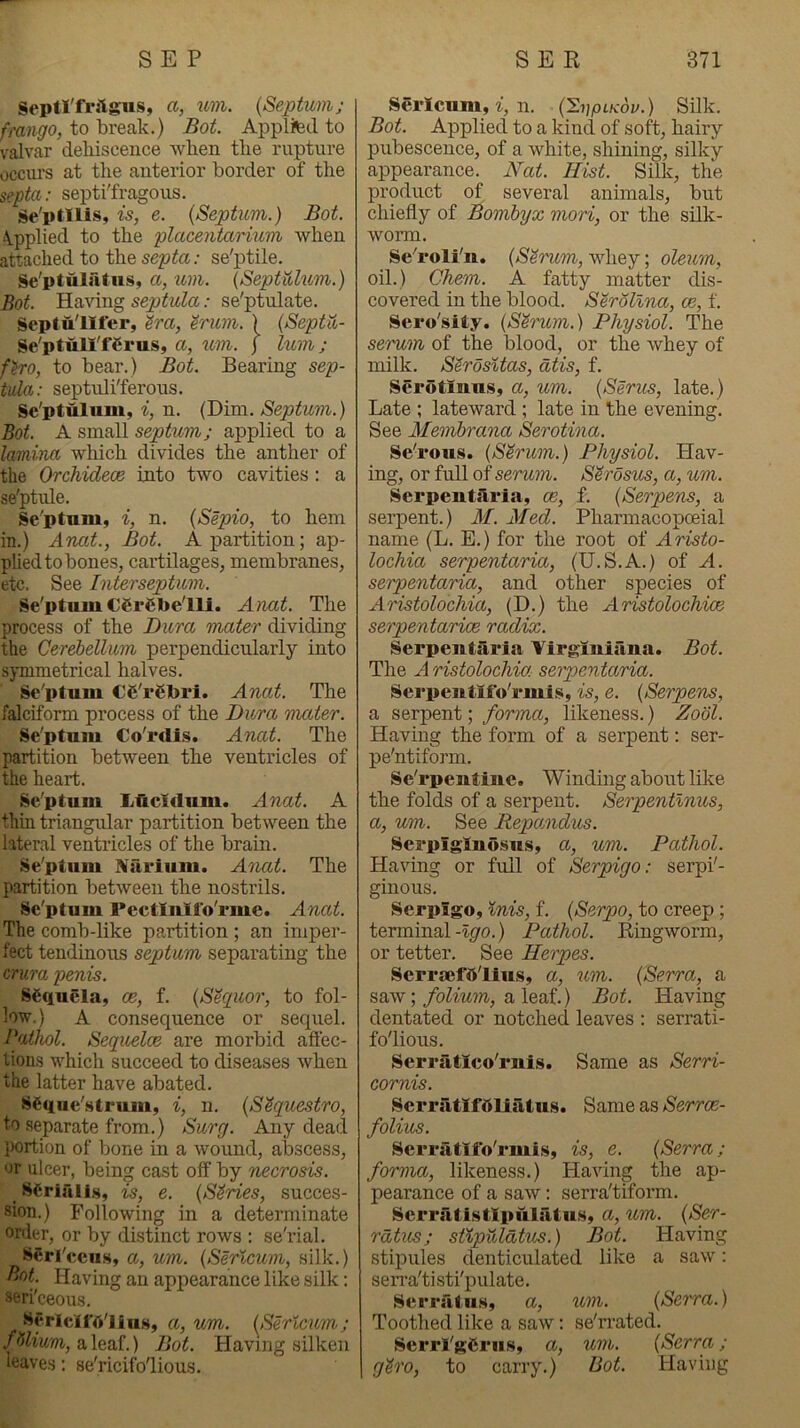 Septl'frilgus, a, iim. {Septum; fmngo, to break.) Bot. Applted to valvar dehiscence when the rupture occui's at the anterior border of the septa : septi'fragous. Se'ptllis, is, e. {Septum.) Bot. \pplied to the placentariuvi when attached to the septa: se'ptile. Se'ptuliitns, a, ton. {Septulum.) Bot. Having septula: se'ptulate. Septu'llfer, ^ra, ^rum. ) {Septu- Se'ptull'fgrus, a, um. j lum; fho, to bear.) Bot. Bearing sep- tula: septuli'ferous. Sc'ptulum, i, n. (Dim. Septum.) Bot. A small septum; applied to a lamina which divides the anther of the Orchideoe into two cavities: a se'ptule. Sc'ptnm, i, n. {Sepio, to hem in.) Anat., Bot. A partition; ap- plied to bones, cartilages, membranes, etc. See Interseptum. Se'ptnm €6r6belli. Anat. The process of the Dura mater dividing the Cerd)ellum perpendicularly into symmetrical halves. Sc'ptum CC'rCbri. Anat. The falciform process of the Dura mater. Se'ptniu Co'rdis. Anat. The partition between the ventricles of the heart. Se'ptuni Lficidnm. Anat. A thm triangidar partition between the lateral ventricles of the brain. Se'ptum Narium. Anat. The partition between the nostrils. Sc'ptum Pectinlfo'rme. Anat. The comb-like partition ; an imper- fect tendinous septum separating the crura penis. Sequela, ce, f. {S^cpior, to fol- low.) A consequence or sequel. Pathol. Sequelae are morbid affec- tions which succeed to diseases when the latter have abated. t^^quc'strum, i, n. {S^questro, to separate from.) Surg. Any dead l>ortion of bone in a wound, abscess, or ulcer, being cast oif by necrosis. _ S^rialis, is, e. {Series, succes- sion.) Following in a determinate order, or by distinct rows : se'rial. Serl'ccus, a, um. {Serlcum, silk.) Pot. Having an appearance like silk; seri'ceous. HfrlcIiA'lius, a, um. {Serlcum; .fUium, a leaf.) Bot. Having silken leaves: se'ricifo'lious. serlcum, i, n. {’Sijplkov.) Silk. Bot. Applied to a kind of soft, hairy pubescence, of a white, shining, silky appearance. Nat. Hist. Silk, the product of several animals, but chieffy of Bomhyx mori, or the silk- worm. Se'roli'ii. {S^rum, whey; oleum, oil.) Chem. A fatty matter dis- covered in the blood. Serollna, ce, f. Sero'sity. {Shmm.) Physiol. The serum of the blood, or the whey of milk. SSrdsUas, dtis, f. Serotinus, a, um. {Serus, late.) Late ; lateward ; late in the evening. See Memhrana Serotina. Se'rous. {Sirum.) Physiol. Hav- ing, or full of serum. S^rosus, a, um. Serpeutaria, ce, f. {Serpens, a serpent.) A£. Med. Pharmacopoeial name (L. E.) for the root of Aristo- lochia serpentaria, (U.S.A.) of A. serpentaria, and other species of Aristolochia, (D.) the AristolochicB serpentarice radix. Serpeutaria Yirgiuiaua. Bot. The A ristolochia serpentaria. Serpeutifo'rmis, is, e. {Serpens, a serpent;/oma, likeness.) Zodl. Having the form of a serpent: ser- pe'ntiform. Se'rpeutiue. Winding about like the folds of a serpent. Serpentlnus, a, um. See Repamdus. Serpigluosus, a, um. Pathol. Having or full of Serpigo: serpi'- ginous. Serpigo, Inis, f. {Serpo, to creep ; terminal-^p'O.) Pathol. Ringworm, or tetter. See Herpes. Serrjefdlius, a, um. {Serra, a saw; folium, a leaf.) Bot. Having dentated or notched leaves ; serrati- fo'lious. Serratico'ruis. Same as Serri- Gornis. Serrlltlfdliatus. Same as SerrcE- folius. Serratifo'rmis, is, e. {Serra; forma, likeness.) Having the ap- pearance of a saw: serra'tiform. Scrratistipulatus, a, um. {Ser- rdtus; sUpuldtus.) Bot. Having stipules denticulated like a saw: sen-a'tisti'pulate. SerratiiH, a, um. {Serra.) Toothed like a saw: se'nuted. Scrrl'gCrii.s, a, um. {Serra ; gh'O, to carry.) Bot. Having