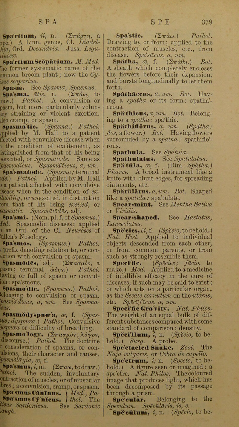 Spa'rfiiim, ii, n. {HirapTi], a ope.) A Linn, genus, Cl. Diadel- hia, Ord. DecandHa. Juss. Legu- iivx)sce. Spa'rtliimScopariiim. M. Med. 'he former S5'steniatic name of the ommon broom plant; now the Cy- isus scoparius. Spasm. See Spasina, Spasmus. Spa'sma, dtis, n. ('S.-naw, to raw.) Pathol. A convulsion or pa.sm, but more particularly volun- iry straining or violent exertion. Jso cramp, or spasm. Spasma'tic. {Spasvia.) Padhol. ipplied by M. Hall to a patient ffected with convulsive disease when 1 the condition of excitement, as istinguished from that of his being wexcited, or Spasmatode. Same as 'fo^smodicUrS. SpamndJtlcus, a, um. Spa'smatode. (Spasma; terminal jde.) Pathol. Applied by M. Hall 3 a patient affected with convulsive isease when in the condition of ex- itability, or w?iexcited, in distinction rom that of his bemg excited, or pasmatic. SyasmtUddes, adj. Spa'sni i. (N om. pi. f. of Spasmus.) led. Spasmodic diseases; applied D an Ord. of the Cl. Neuroses of Wien’s Nosology. Sp.*i'smo-. {Spasmus.) Pathol. L prefix denoting relation to, or con- ection with conviilsion or spasm. Spasnio(le.s, adj. (27rao-/xds, a pasm ; terminal -wSp?.) Pathol. laving or full of spasm or convul- ion: spa'smous. Spasmo'dic. {Spasmus.) Pathol. ielonging to convulsion or spasm. 'fosmo'dicus, a, um. See Spasma- 'ms. Spasmifdyspnoe^a, oe, f. {Spces- lus; dyspnoea.) Pathol. Convulsive ■yspnceM or difficulty of breathing. Spasmo'logy. (STracr^ds; A.dyos, discourse.) Pathol. The doctrine r consideration of spasms, or con- Wsions, their character and causes. '^asmdld'gia, oe, f. Spa'smns, i, m. (STraw, to draw.) athol. The sudden, involuntary ontraction of muscles, or of muscular hres; a convulsion, cramp, ors^iasm. Spa'smnst'iininiis. \Med.,Pa- ^Spa'.smii.s€j^'nlciis. j thol. The asm Sardonicus. See Sardonic Mugh. Spa'.sJic. (STrdco.) Pathol. Drawing to, or from; applied to the contraction of muscles, etc., from disease. Spa’sUcus, a, um. Spittlia, ce, f. (STrddi).) Bot. A sheath which completely encloses the flowers before their expansion, and bursts longitudinally to let them forth. SpittliaceiiSp a, um. Bot. Hav- ing a spatha or its form: spatha'- ceous. Sp;l'tliicii.s, a, um. Bot. Belong- ing to a spatha: spa'thic. Spittliiflorus, a, um. (Spdtha; a flower.) Bot. Havingflowers surroimded by a spatha: spathiflo'- rous. Spatliiila. See Spatula. Spatlmlatiis. See Spatulatus. SpiVtiila, m, f. (Dim. Spatha.) Phctmn. A broad instrument like a knife with blimt edges, for spreading ointments, etc. Spatulatus, a, wm. Bot. Shaped like a spatula: spa'tulate. Spear-miut. See Mentha Sativa or Viridis. Spear-sliaped. See Hastatus, Lanceolatus. Spe'cies, H, f. (Sp^cio, to behold.) Nat. Hist. Applied to individual objects descended from each other, or from common parents, or from such as strongly resemble them. Speci'lic. {Species; f&cio, to make.) Med. Applied to a medicine of infallible efficacy in the cure of diseases, if such may be said to exist; or which acts on a particular organ, as the Secale cornuturn on the uterus, etc. Sp'icilficus, a, um. Speci'lic Gra'vity. Nat. Philos. The weight of an equal bulk of dif- ferent substances compared with some standard of comparison; density. SpCci'llnm, i, n. {Sp^cio, to be- hold.) Surg. A probe. Spe'ctacled Snake. Zool. The Naja vulgaris, or Cobra de capello. Spe'ctrum, i; n. (Specto, to be- hold.) A figure seen or imagined : a spe'ctre. Nat. Philos. The coloured image that produces light, which has been decomposed by its passage through a prism. ' Spe'cular. Belonging to the Speculum. SpScUldris, is, e. SpC'culiim, i, n. {SpScio, to be-