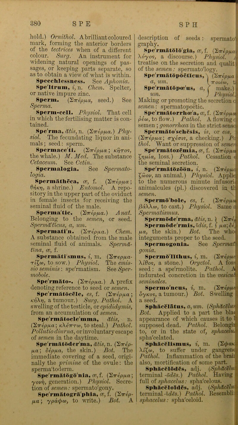 hold.) Ornithol. Abrilliantcoloured mark, forming the anterior borders of the tectrices when of a different colour. Surg. An instrument for Avidening natural openings of pas- sages, or keeping parts separate, so as to obtain a view of what is within. Speeclilessness. See Aphonia. Spe'ltriim, i, n. Chem. Spelter, or native impiu’e zinc. Sperm. (S-Trepua, seed.) See Sperma. Sperm-cell. Physiol. That cell in Avhich the fertilising matter is con- tained. _ Spe'rma, litis, n. {'2'Trepfxa.) Phy- siol. The fecundating liquor in ani- mals; seed: sperm. Spermace'ti. ('ETrep/j.a; kTitoi, the whale.) M.Med. The substance Cetaceurn. See Cetin. Spermalogia. See Spermato- logia. Sperm^itlieca, oe, f. (^■nkpp.a ; 0U/CTJ, a shrine.) Entomol. A repo- sitory in the upper part of the oviduct in female insects for receiving the seminal fluid of the male. Sperma'tic. (STreppia.) Anat. Belonging to the semen, or seed. SpermhUlcus, a, um. Spermati'n. {'2'Trippa.) Chem. A substance obtained from the male seminal dnid of animals. Spermd- tlna, ce, f. Spermiiti'smiis, i, m. {^ireppa- Tt'^co, to sow.) Physiol. The emis- sio seminis: spe'rmatism. See Sper- mdbole. Spe'rmitto-. l^Trepya.) A prefix denoting reference to seed or semen. Spe'rmatOcele, es, f. (Hireppa ; k'uXt), a tumour.) Surg. Pathol. A swelling of the testicle, or epididymis, from an accumulation of semen. Spe'rmi'itocle'mma, dtis, n. (27T6p/xa; fcXeTT-Tco, to steal.) Pathol. Pollutio diurna, or involuntary escape of semen in the daytime. Spe'rmfttftder'ma, dtis, n. (STrep- p,a; Sepya, the skin.) Bot. The immediate covering of a seed, origi- nally the primine of the ovule: the sperma'toderm. Spc'rmftlOgft'iila, CB,f. (27rep/xa; yovi], generation.) Physiol. Secre- tion of semen: spermato'gony. Spc'rmfttogrll'pliia, ce, f. (S-n-ep- p.a\ ypd(fno, to write.) Bot. A description of seeds: spermatolfe graphy. f ^Spe'rmiU516'gla, ce, f. (S7r6pp«l X0709, a discourse.) Physiol, it treatise on the secretion and qualit| of the semen: sperraato'logy. ' Spe'rmiit6p0etleus, j (iinreppa i a, um. I TTotew, tf Spe'rmiit6p<e'us, a, r make.)! um. ) Physioli Making or promoting the secretion semen: spermatopoetic. Spe'rmfttorrhee'a, OE, f. (STreppc^ pew, to flow.) Pathol. A flowing ™ semen; gonorrhoea in the strict sensep SpermUto'scltSsis, is, or eos, | (STTep/xa; ay^earis, a checking.) PcC) thol. Want or suppression of semem Spe'rmiltozemia, ce, f. (STreppoi X,nyia, loss.) Pathol. Cessation J the seminal secretion. Spe'rm^tSzdou, i, n. {Inrepac X^ov, an animal.) Physiol. AppUt to the numerous minute infusori. animalcules (pi.) discovered in tl semen. 8perm5'bole, es, f. {’E-ireppa jSdXXo), to cast.) Physiol. Same f Spermatismus. 8perm5de'rma, dtis, n. 1 (2x6, 8perm5de'rmis, idis, f. [ pa\ de, ya, the skin.) Bot. The who integuments proper to the seed. Spermogonla. See Spermat gonia. Spermd'llthns, i, m. (Sxeppt XLdos, a stone.) Oryctol. A fos5 seed: a spe'rmolite. Pathol. A indurated concretion in the vesicul seminodes. Spermo'ncus, i, m. (2xepp< djKos, a tumour.) Bot. Swelling a seed. SphilcSlIltus, a, ww. (SphdcHu.f Bot. Applied to a part the bla( appearance of which causes it to supposed dead. Pathol. Belong to, or in the state of, sphacau. spha'celated. Sphifc(^ll.smns, i, m. (EcfyaK, Xl^co, to suffer under gangrent Pathol. Inflammation of the brail also, mortification of some part. adj. {SphUcHlu- terminal -odes.) Pathol. Having full oi sphcccehis: spha'celous. adj. {Sphdc^lu terminal-irfes.) Pathol. Resembli spJmcehcs: spha'celoid.