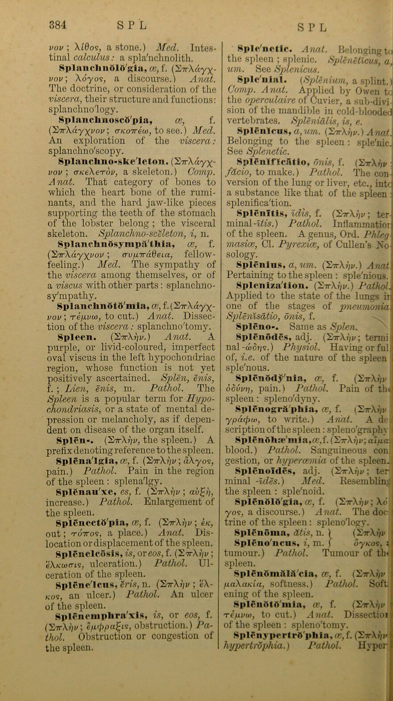 voi/; Xl6o5, a stone.) J/ed. Intes- tinal calculus: a spla'nclinolith. Splauicliii&lli'Kia, ce, f. (S-TrXayx- vov\ Xoyos, a disconrse.) Anal. The doctrine, or consideration of the viscera, their structure and functions: splanchnology. Splanclmoscfi'pia, ce, f. (STrXd-yyvoj/; tr/coTrew, to see.) Med, An exploration of the viscera: splanchuo'scopy. Splanclmo-.skeleton. (STrXayx- vov ; cTKeXe'Tov, a skeleton.) Comp. Anal. That category of bones to which the heart bone of the rumi- nants, and the hard jaw-like pieces supporting the teeth of the stomach of the lobster belong ; the visceral skeleton. Splanchno-scUeton, i, n. SplanelinttsympsVtliia, ce, f. {'2,'TrXay')(yov ; crufiiradeLa, fellow- feeling.) Med. The sympathy of the viscera among themselves, or of a viscus with other parts: splanchno- s/mpathy. SplanclmdtS'mia, ce, i.{^2nrXayy- vov \ 're/j.vw, to cut.) Anal. Dissec- tion of the viscera: splanchnoTomy. Spleen. (SttX?/!'.) Anat. A purple, or livid-coloured, imperfect oval viscus in the left hypochondriac region, whose function is not yet positively ascertained. SpUn, Inis, f. ; Lien, enis, m. Pathol. The Spleen is a popular term for Hypo- chondriasis, or a state of mental de- pression or melancholy, as if depen- dent on disease of the organ itself. Splen-. (STrX?)y, the spleen.) A prefix denoting reference to the spleen. Splenalgla, ce, f. (S'ttXj'/j/ ; aXyos, pain.) Pathol. Pain in the region of the spleen ; splena'lgy. SplSnan'xe, es, f. (SttX?;!/ ; increase.) Pathol. Enlargement of the spleen. SplencctS'pia, ce, f. (SttXijj/ ; ck, out; TOTTos, a place.) A'nat. Dis- location or displacement of the spleen. Splenclcosis, is, oreos, f. (SttXj;!/ ; eX/ccocris, ulceration.) Pathol. Ul- ceration of the spleen. Splcne'lcus, (iris, n. (SttXj/z/ ; eX- Kos, an ulcer.) Pathol. An ulcer of the spleen, Spifnemplira'xis, is, or eos, f. (S7rX)';v; e/Kppa^Ls, obstruction.) Pa- thol. Obstruction or congestion of the spleen. Splc'nctic. Anat. Belongingto| the spleen ; splenic. SpUnUicus, al um. See Splenieus. ^ Sple'iiial. {Splenium, a splint.)! Comp. Aimt. Applied by Owen ^ the operculaire of Cuvier, a sub-divn sion of the mandible in cold-bloode<J vertebrates, SpUnialis, is, e. SplSnlcus, a, um. (SttXi/v. ) A rvati Belonging to the spleen: sple'nicJ See Splenetic. i Splcnlflcatio, onis, f. CZttXvv i fdcio, to make.) Pathol. The con- version of the lung or liver, etc., intc a substance like that of the spleen : splenifica'tion. Splenitis, %dis, f. (S.TrXi]v ; ter- minal-i^is.) Pathol. Inflammatioi of the spleen. A genus, Ord. Phleg masioe. Cl. Pyrexice, of Cullen’s No- sology. Splenins, a, (SttXjjj/.) A nat Pertaining to the spleen : sple'nious. Spleniza'tion. (SirX^v.) Pathol. Applied to the state of the lungs ir one of the stages of pneumonia Splenlsdtio, onis, f. Spleno-. Same as Splen. \ Splenodes, adj. (S^rX?/!/; termi j nal-ti^i/s.) Physiol. Having or fulj of, i.e. of the nature of the spleen I sple'nous, Splenftdy'nla, ce, f, {'2.irXi]v ■ oSvvn, pain.) Pathol. Pain of thd spleen: spleno'djmy. Splenogril’phia, ce, f. (SnrXi]v ypacpu), to write.) Aiiat. A de|' scription of the spleen: spleuo'graphy i Splen6h.‘e'niia,cc,f. (HttXI^v, aiyca^ blood.) Pathol. Sanguineous con. gestion, or hypercemia of the spleen..! Splenoides, adj. (SttX?;!/ ; ter ; minal -Ides.) Med. Resembling,! the spleen : sple'noid. ,, SplendlO'gia, ce, f. C^irXhv; Xo! i 70s, a discourse.) Anai. The docf! trine of the spleen: spleno'logy. i. Splenoma, dtis, n. ) (STrXj/v j Spleno'nons, i, m. ( 07/cos, s 1 tumour.) Pathol. Tumour of th«| spleen. 1 Splenaniilia'cia, ce, f. (SttXj/i; p-aXania, softness.) Pathol. Soft ening of the spleen. Splenata'iiiia, ce, f. (STrXt/r Tcpvw, to cut.) Anat. Dissectioi of the spleen : splen o'tomy. SpU^iiypertra'pliia, ce, f. (SttXi/j' hypertrSphia.) Pathol. Hyper