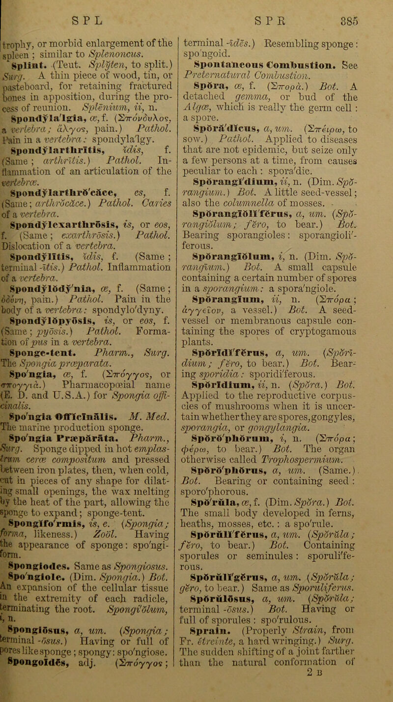 t rophy, or morbid enlargement of the soleeii; similar to Splenoncus. ‘splint. (Tent. to split.) Surg. A thin piece of wood, tin, or pasteboard, for retaining fractured bones in apposition, during the pro- cess of reunion. Splenium, ii, n. Spon<lyla'lgia, 05, f. (27toi/(5i;A.o?, a veriehni; aXyo-s, pain.) Pathol. Pain in a vertebra: spondylalgy. SpondylartliritiSy Idis, f. (Same ; arthritis.) Pathol. In- flammation of an articulation of the vertebrce. Spondylapflirft'cstce, cs, f. (Same; ar^/irocac<5.) Pathol. Caries of a vertebra. SpondylexartlirOsis, is, or eos, f. (Same; exarthrosis.) Pathol. Dislocation of a vertebra. Spondylitis, Idis, f. (Same ; terminal -liis.) Pathol. Inflammation of a vertebra. Spondyl5dy'nia, ce, f. (Same ; bourn], pain.) Pathol. Pain in the body of a veri'tebra: spondylo'dyny. SpondylOpyosis, is, or eos, f. (Same; ’pybsis.) Pathol. Forma- tion of pvs in a vertebra. Sponge>tent. Pharm., Surg. The Spongia prueparata. Spo'ngia, oe, f. (STrdyyos, or envoyyia.) Pharmacopoeial name (E. D. and U.S.A.) for Spongia offi- cinalis. Spo'ngia Officinalis. M. Med. The marine production sponge. Spo'ngia Praeparata. Pharm., Surg. Sponge dipped in hot emplas- Imm cerm compositum and pressed (jetween iron plates, then, when cold, cut in pieces of any shape for dilat- ing small openings, the wax melting by the heat of the part, allowing the sponge to expand; sponge-tent. Sponglfo'rmis, is, e. {Spongia.; forma, likeness.) Zool. Having the appearance of sponge; spo'ngi- form. Spongiodes. Same as Spongiosics. Spo^ngiole. (Dim. Spongia.) Bot. An expansion of the cellular tissue in the extremity of each radicle, terminating the root. Spongi'dlum, n. SponglOsas, a, um. {Spongia; terminal -bsus.) Having or full of pores like sponge; spongy: spo'ngiose. SpongoIdSs, adj. (STrdyyos; terminal -ides.) Resembling sponge: spo'ngoid. Spontaneous Combustion. See Preternatural Combustion. Spttra, 05, f. {'Irrropa.) Bot. A detached gemma, or bud of the Algce, which is really the genn cell; a spore. SpOrft'dIcus, a, um. (^TTeLpU), to sow.) Pathol. Applied to diseases that are not epidemic, but seize only a feAV persons at a time, from causes peculiar to each : spora'dic. Spbrangl'dium, ii, n. (Dim. SpS- rangium.) Bot. A little seed-vessel; also the columnella of mosses. - SpOrangiOlI'fCrus, a, um. {Spb- rangiolum; f^ro, to bear.) Bot. Bearing sporangioles: sporangioli'- ferous. Spdrangidlum, i, n. (Dim. S2JS- ranglum.) Bot. A small capsule containing a certain number of spores in a sporangium: a spora'ngiole. Sporangium, ii, n. (27rd|oa; ayyoiov, a vessel.) Bot. A seed- vessel or membranous capsule con- taining the spores of cryptogamous plants. ' SpOridl'fOrus, a, um. {Sporl- dium; firo, to bear.) Bot. Bear- ing sporidia: sporidi'ferous. SpOridlum, ti, n. {Spora.) Bot. Applied to the reproductive corpus- cles of mushrooms when it is uncer- tain whether they are spores, gongyles, sporangia, or gongylangia. SpOrO'pbOriim, i, n. {Sirbpa ; (fyepoj, to bear.) Bot. The organ otherwise called Trophospermium. SpOrO'pliOrus, a, um. (Same.). Bot. Bearing or containing seed : sporo'phorous. SpO'rula, 05, f. (Dim.^cS'm.) Bot. The small body developed in ferns, heaths, mosses, etc.: a spoTule. SpftrulI'fOrus, a, um. (Spbrula; fero, to bear.) Bot. Containing sporules or seminules: sporuli'fe- rous. SpOrfill'gSrus, a, um. {Spbrula; g'^ro, to bear.) Same as Sporulifervs. Spdruldsus, a, um. {Sphrula; terminal -osus.) Bot. Having or full of sporules : spo'rulous. Sprain. (Properly Strain, from Fr. etreinte, a hard wringing.) Surg. The sudden shifting of a joint farther than the natural conformation oi' 2 n