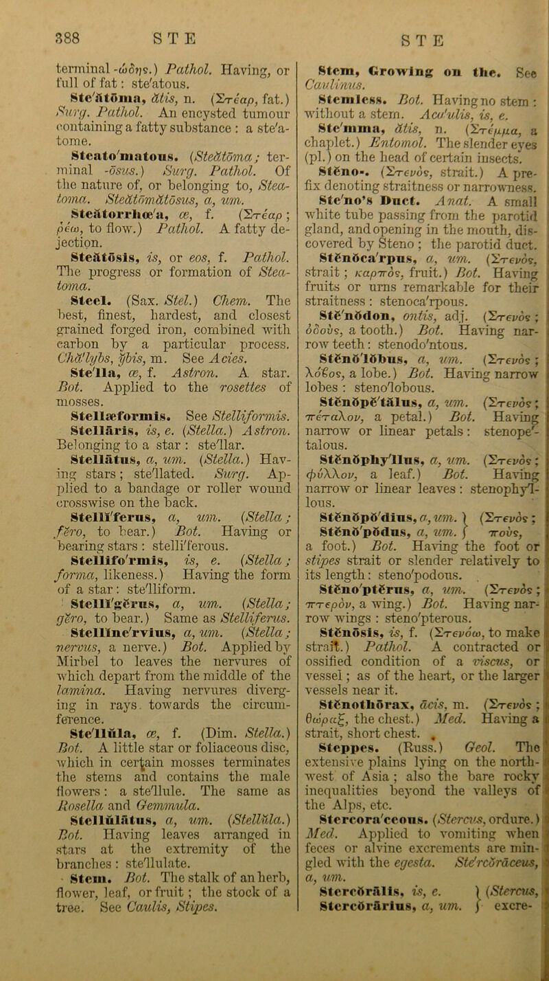 terminal-wojjs.) Pathol. Having, or full of fat: ste'atous. iitis, n. ('S'reap, fat.) Surg. Pathol. An encysted tumour ('■ontaining a fatty substance : a ste'a- tome. Stcato^niatons. {StelUoma; ter- minal -osiis.) 8urg. Pathol. Of the nature of, or belonging to, Steor toma,. SteiUdmiUdsiLS, a, um. Stesttorrlioe'a, ce, f. (So-cap; pew, to flow.) Pathol. A fatty de- jection. Steiitosis, is, or eos, f. Pathol. Tlie progress or formation of Stea- toina. Steel. (Sax. Stel.) Chem. The best, finest, hardest, and closest grained forged iron, combined Avith carbon by a particular process. Chti'lyhs, 7/bis, m. See Acies. Ste'lla, ce, f. Astron. A star. Bot. Applied to the rosettes of mosses. Stellaeformls. See Stelliformis. Stellaris, is, e. (Stella.) Astron. Belonging to a star ; stellar. Stellatus, a, um. (Stella.) Hav- ing stars; stellated. Surg. Ap- plied to a bandage or roller wound crosswise on the back. Stelll'ferns, a, uvi. (Stella; fh'o, to bear.) Bot. HaAong or bearing stars : stellil'erous. Stellifo'rmlg, is, e. (Stella; forma, likeness.) Having the form of a star: stelliform. : Stelll'gSrns, a, um,. (Stella; giro, to bear.) Same as Stelliferus. Stelllne'rvius, a, um. (Stella ; nervus, a nerA'e.) Bot. Applied by Mirbel to leaves the nervures of Avhich depart from the middle of the lamina. Having nerAuires diverg- ing in rays. toAvards the circum- ference. Stelluln, ce, f. (Dim. Stella.) Bot. A little star or foliaceous disc, Avhicb in cerj^ain mosses terminates the stems and contains the male. floAvers; a stellule. The same as llosella and Oemmula. Stcllulaltiis, a, um. (Stellula.) Bot. Having leaves airanged in stars at the extremity of the branches : stellulate. Stem. Bot. The stalk of an herb, flower, leaf, or fruit; the stock of a tree. See Caulis, Stipes. Stem, Growing on the. See Cavlimis. SteniIcNS. Bot. Having no stem : Avithout a stem. Acu'ulis, is, e. Ste'inina, Mis, n. (Xrt/xpa, a chaplet.) Entomol. The slender eyes (pi.) on the head of certain insects. StCno-. (S-rei/os, strait.) A pre- fix denoting straitness or narroAvness. i Ste'no’s Duct. Auat. A small i Avhite tube passing from the parotid I gland, and opening in the mouth, dis- 1 coA'ered by Steno ; the parotid duct. ] StSnOca'rpu.s, a, um. (iVci/d?, strait; Kapwos, fruit.) Bot. HaAlng fruits or urns remarkable for their straitness : stenoca'rpous. Ste'nddon, ontis, adj. (Srevds ; oooiis, a tooth.) Bot. HaA'ing nar- roAV teeth; stenodo'ntous. StCn0'10hn.s, a, um. (2-reads ; Xd€os, a lobe.) Bot. Having narrow lobes : stenolobous. a, um. (2-rer/ds ; 'kctclKov, a petal.) Bot. Having narroAv or linear petals: stenope- talons. St6n6phyllns, a, um. (S-rei^ds ; (pvXXou, a leaf.) Bot. HaAlng narrow or linear leaves ; stenophyl- lons. Stgn0p5'dins, a, um. ) (2-rei/ds ; St£n5'p0dns, a, um. ) ttous, a foot.) Bot. HaAlng the foot or stipes strait or slender relatively to its length: steno'podous. St£no'pt$rn.s, a, 7m,. CEn-evos ; TTTepov, a wing.) Bot. Having nar- roAv Avings : steno'pterous. Stenosis, is, f. (Etcvou), to make strait.) Pathol. A contracted or ossified condition of a mscu3, or vessel; as of the heart, or the larger vessels near it. Sti^notliQrax, dcis, m. (Sr-evds ; i dolpa^j chest.) Med. HaAlng a i strait, short chest. , Steppes. (Russ.) Geol. Tliol extensive plains lying on the north -1 Avest of Asia; also the bare rocky inequalities beyond the valleys of the Alps, etc. Stereora'ceons. (Stem's, ordure.) Med. Applied to A'omiting Avhenl feces or alvine excrements are min- gled Avith the egesta. Stdredrdecus, > a, 7im. Slercftrftlls, is, e. )(Stcrnis, , StercOrilrlus, a, um. ] excre- r