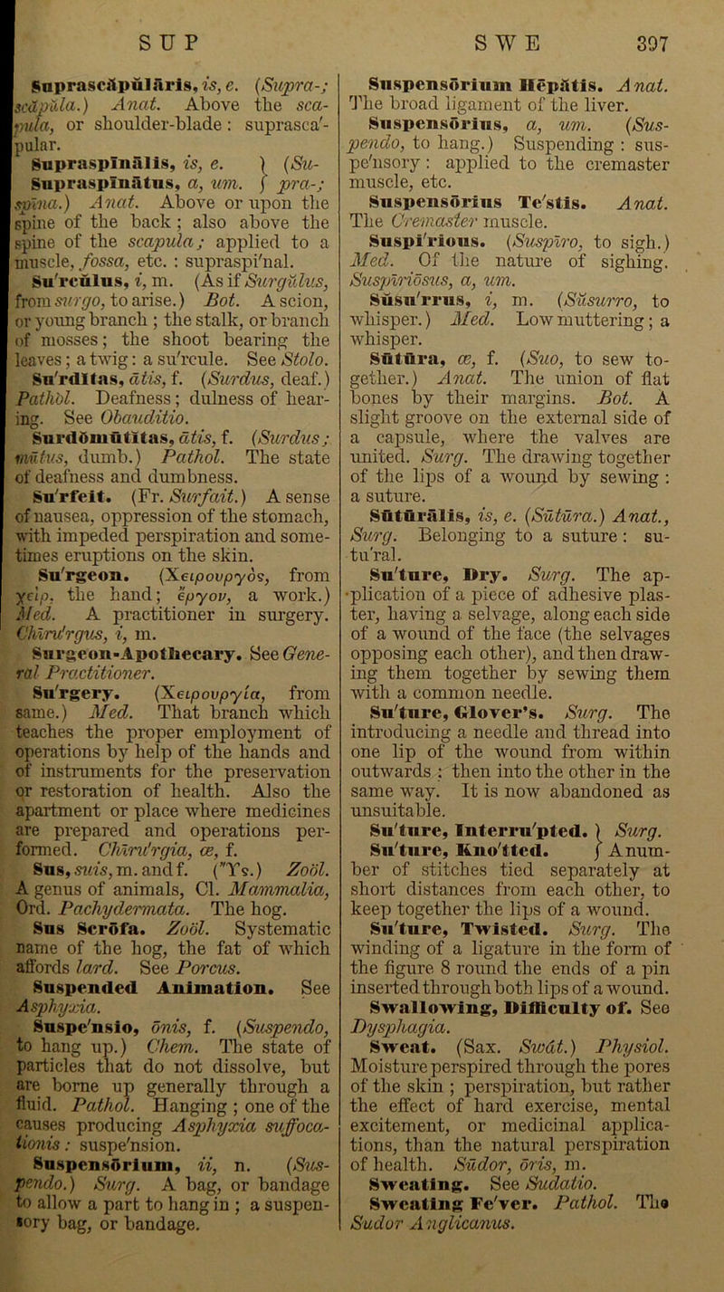 Snprascflpulflris, is, e. (Supra-; scdpUa.) xXnat. Above the sca- pula, or shoulder-blade: suprasca'- pular. gnpraspiniilis, is, e. \ (Su- gnprasplniltiis, a, iim. j pra-; smna-} Anat. Above or upon the spine of the back ; also above the spine of the scapula; applied to a muscle,/ossa, etc. : supraspi'nal. Su'rculus, i, m. (As if Surguhis, from s?«-<70, to arise.) Bot. A scion, or young branch ; the stalk, or branch of mosses; the shoot bearing the leaves; a twig: a su'rcule. See Stolo. Sa'rditas, aiis, f. (Surdus, deaf.) Path'ol. Deafness; dulness of hear- ing. See Obauditio. Surddiuutltas, dtis, f. (Surdus; mutus, dumb.) Pathol. The state of deafness and dumbness. Su'rfeit. (¥r. Surf ait.) A sense of nausea, oppression of the stomach, with impeded perspiration and some- times eruptions on the skin. Su'rgeon. (Xeipovpyo?, from yelp, the hand; epyov, a work.) Med. A practitioner in surgery. Chlru'rgus, i, m. Surgeon-Apothecary. See Gene- ral Practitioner. Su'rgery. (XeLpoopyia, from same.) Med. That branch which teaches the proper employment of operations by help of the hands and of instruments for the preservation or restoration of health. Also the apartment or place where medicines are prepared and operations per- formed. Chlru'rgia, ce, f. Sus, suis, m. and f. (Ts.) Zobl. A genus of animals. Cl. Mammalia, Ord. Pachydermata. The hog. Sus Scrofa. Zool. Systematic name of the hog, the fat of Avhich affords lard. See Porcus. Suspended Animation. See Asphyxia. Suspe'nsio, onis, f. (Siispendo, to hang up.) Chem. The state of particles that do not dissolve, but are borne up generally through a fluid. Pathol. Hanging ; one of the causes producing Asphyxia suffoco.- iionis: suspe'nsion. Sn.spens5rium, ii, n. (Su^- pendo.) Surg. A bag, or bandage to allow a part to hang in ; a suspen- sory bag, or bandage. Siispensorinm Hep^ttis. A nat. Idle broad ligament of the liver. Suspensorins, a, um. (Sus- pendo, to hang.) Suspending : sus- pe'nsory: applied to the cremaster muscle, etc. Suspensorins Te'stis. Anat. The Cremaster muscle. Suspi'rions. (Srosplro, to sigh.) Med. Of the natui’e of sighing. Susplriosus, a, um. Susn'rriis, i, m. (Susurro, to whisper.) Med. Low muttering; a whisper. Sutdra, ce, f. (Suo, to sew to- gether.) Anat. Tlie union of flat bones by their margins. Bot. A slight groove on the external side of a capsule, where the valves are \mited. Surg. The drawing together of the lips of a wound by sewing : a suture. Sdtdralis, is, e. (Sutura.) Anat., Surg. Belonging to a suture : su- tu'ral. Su'tnre, Dry. Surg. The ap- •plication of a piece of adhesive plas- ter, having a. selvage, along each side of a wound of the face (the selvages opposing each other), and then draw- ing them together by sewing them with a common needle. Su'tnre, Glover’s. Surg. The introducing a needle and thread into one lip of the wound from within outwards : then into the other in the same way. It is now abandoned as unsuitable. Su'tnre, Interru'pted. ) Surg. Su'tnre, Kno'ttcd. j A num- ber of stitches tied separately at shoif distances from each other, to keep together the lips of a wound. Su'ture, Twisted. Sterg. The winding of a ligature in the form of the figure 8 round the ends of a pin inserted through both lips of a wound. Swallowing, Difficulty of. See Dysp)hagia. Sweat. (Sax. Swdt.) I^hysiol. Moisture perspired through the pores of the skin ; perspiration, but rather the effect of hard exercise, mental excitement, or medicinal applica- tions, than the natural perspiration of health. Sudor, oris, m. Sweating. See Sudatio. Sweating Fe'ver. Pathol. Tlia Sudor Anglicanus.