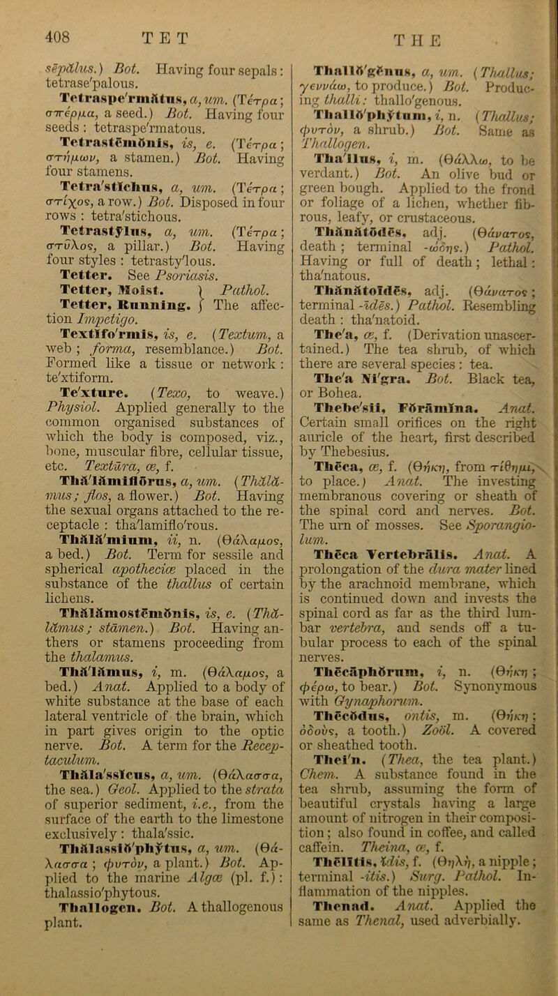 sepiXbcs.) Bot. Having foiir sepals; tetrase'palous. Tctrnspe'rmlUns, a, urn. (TcV/dc ; aireo/jLa, a seed.) Bot. Having four seeds: tetraspe'nnatous. Totra.stemfinis, is, e. (Te^rpa; (rTnpcDv, a stamen.) Bot. Having four stamens. Tetra'stlolin.s, a, um. (TeVpa ; a-n-ixoi, a row. ) Bot. Disposed in four rows : tetra'stichous. Tcftrastyins, a, um. (Terpa; <TTvXo<s, a pillar.) Bot. Having four styles : tetrastydous. Tetter. See Psoriasis. Tetter, Uloist. ) Pathol. Tetter, Rnniiing. j The affec- tion Impetigo. Textlfo'rmls, 15, e. {Textum, a. web ; forma, resemblance.) Bot. Formed like a tissue or network : te'xtiform. Te'xtnre. (Texo, to Aveave.) Physiol. Applied generally to the common organised substances of which the body is composed, viz., bone, muscular fibre, cellidar tissue, etc. Textura, ce, f. Thd.'Uimlflorns, a, ivm. (ThMSL- a flower.) Bot. Having the sexual organs attached to the re- ceptacle : tha'lamiflo'rous. Thiilii'minm, ii, n. {OaXapo9, a bed.) Bot. Term for sessile and spherical apothecice placed in the substance of the thallus of certain lichens. Thiillimo.stcm6nis, is, e. {Thh- kXmus; statnen.) Bot. Having an- thers or stamens proceeding from the thalamus. Tliftlllmns, i, m. {Qakapoi, a bed.) Anat. Applied to a body of white substance at the base of each lateral ventricle of the brain, Avhich in part gives origin to the optic nerve. Bot. A term for the Recep- taculum. Tliiila'ssYciis, a, um. (DdXacro-a, the sea.) Geol. Applied to the strata of superior sediment, i.e., from the surface of the earth to the limestone exclusively: thala'ssic. Tlifllassin'phytns, a, um. (0d- Artcrcra ; 0UTOI/, a plant.) Bot. Ap- plied to the marine Algoe (pi. f.); thalassio'phytous. Tliallogcn. Bot. A thallogenous plant. Thallft'K^mis, a, im. {Thallus; yevvduy, to produce.) Bot. Produc- I ing thalli: thallo'genoms. * ThaiIb'phytiini, n. (Thallus; ({iVTOv, a shrub.) Bot. Same as Thallogen. Thallus, i, m. (OdWw, to be i verdant.) Bot. An olive bud or ^ green bough. Applied to the frond | or foliage of a lichen, whether fib- rous, leafy, or crustaceous. Thiln<lfl)<les, adj. (OdvaTo^, < death; tenninal -wotjs.) Pathol. < Having or full of death; lethal; tha'natous. ; ThiXniitoIdes, adj. (Gdj/axos; terminal) Patlwl. Resembling death : tha'natoid. The'a, ce, f. (Derivation unascer- tained.) The tea shrub, of Avhich there are several species : tea. The'a Nl'fcra. Bot. Black tea, or Bohea. Thehe'stf, Fftramlna. Anat. Certain small orifices on the right auricle of the heart, first described by Thebesius. Theca, ce, f. (0tj/o;, from 'r'lQppi,. to place.) Anat. The investing membranous covering or sheath of the spinal cord and nen'es. Bot. The um of mosses. See Sporangia- lum. Theca Vertehrall.s. Anat. A prolongation of the dura mater lined by the arachnoid membrane, which is continued down and invests the spinal cord as far as the third lum- bar vertebra, and sends off a tu- bular process to each of the spinal nerves. ThecaphCrnm, i, n. (Ovkti ; i </)6|0(t), to bear.) Bot. Sjmonj^mous with Gynaphoram. Thccftdns, ontis, m. (0»;k'tj ; 6Sov9, a tooth.) Zobl. A covered or sheathed tooth. Thei'n. {Thea, the tea plant.) Chem. A substance foiind in the tea shrub, assuming the form of beautiful crystals having a large | amount of nitrogen in their composi- tion ; also found in coffee, and called caffein. Theina, ce, f. Thelitis, Kdis, f. (Ot/X?), a nipple; terminal -itis.) Surg. Pathol. In- flammation of the nipples. Thcnnd. Anat. Applied the same as Thenal, used adverbially.