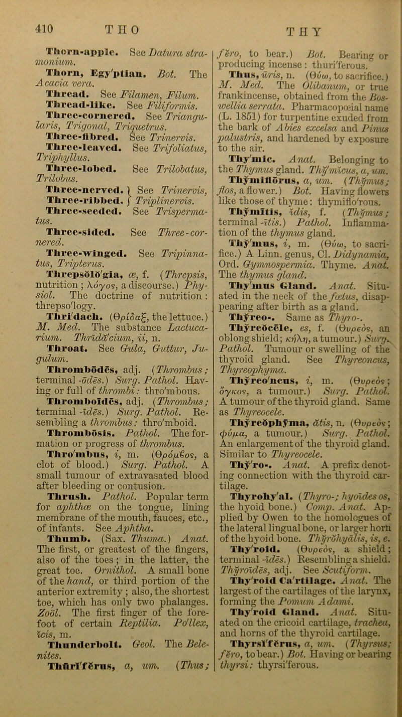 T II Y Tliorii'upplc. See Datura stra- monium. Thorn, Egy'ptlan. Bot. Tlie A caciu. vera. Tlireail. See Filamen, Filum. Thrcad'llkc. See Filiformis. Three-cornered. See Triangu- laris, Trigonal, Triquetrus. Thrce-fihred. See Trinervis, Three-leaved. See TrifoUatus, Triphy lilts. Three-lohe«l. See Trilohatus, Trilobus. Three-nerved.) See Trinervis, Three-ribhed, j Triplinervis. Three-seeded. See Trisperma- tus. Three-sided. See Three-cor- nered. Three-vringed. See Tripinna- tus, Tripterus. ThrepsOlft'gia, oe, f. {Threpsis, nutrition ; Xdyos, a discourse.) Phy- siol. The doctrine of nutrition: threpso'logy. Thri'dach. (OpiSa^, the lettuce.) M. Med. The substance Lactuca- rium. Thrldd'cium, ii, n. Throat. See Quia, Quttur, Ju- gulum. Thrombodes, adj. {Thrombus; terminal -odU.) Surg. Pathol. Hav- ing or full of thrombi: thro'mbous. Thromboldes, adj. {Thrombus; terminal -Ides.) Surg. Podhol. Re- sembling a thrombus: thro'mboid. Thrombosis. Pathol. The for- mation or progress of thrombus. Thro'mbns, i, m. {Qp6p.toi, a clot of blood.) Surg. Pathol. A small tumour of extravasated blood after bleeding or contusion. Thrush. Pathol. Popular term for aphthae on the tongue, lining membrane of the mouth, fauces, etc., of infants. See Aphtha. Thumb. (Sax. Thuma.) Anat. The first, or greatest of the fingers, also of the toes; in the latter, the great toe. Omithol. A small bone of the hand, or third portion of the anterior extremity; also, the shortest toe, which has only two j)halanges. Zool. The fii’st finger of the fore- foot of certain lieptilixL. Po'llex, icis, m. Thunderbolt. Geol. The Bele- nites. Thttrl'fCrns, a, urn. {Thus; ftro, to bear.) Bot. Bearing or i producing incense: thuri'lerous. Thus, u'lds, n. {huw, to sacrifice.) j M. Med. The (Jlibanurn, or true i frankincense, obtained from the Hus- \ wellia serraUt. Pharmacopoeial name j (L. 1851) for turpentine exuded from ] the bark of Aides excelsa and Pinus I palustris, and hardened by exposure \ to the air. j Thy'mlc. Anat. Belonging to the Thymus gland. Thfmlcus, a, um. Thymiflorus, a, um. {Thfm'us; Jlos, a flower.) Bot. Having flowers like those of thyme: thymiflo'rous. Thyniitis, idis, f. {Thymus; terminal-?^«^.) Pathol. Inflamma- tion of the thymus gland. Thy'mns, i, m. (Oiio), to sacri- fice.) A Linn, genus. Cl. Didyrvamia, Ord. Gymnospermia. Thyme. Anat. The thymus gland. Thy'mns Gland. Anat. Situ- ated in the neck of the foetus, disap- pearing after birth as a gland. Thyreo-. Same as Thyro-. ThyreOcele, es, f. {^dvpe6<s, an oblong shield; a tumour.) Surg., Pathol. Tumour or swelling of the thyroid gland. See Thyreoncus, Thyreophyma. Thyreo'ncns, i, m. (0u/jeos; oy/cos, a tumour.) Surg. Pathol. A tumour of the thjToid gland. Same as Thyreocele. Thyreftphyma, dtis, n. {Ovpeoi; epopa, a tumoui’.) Surg. Pathol. An enlargement of the thyroid gland. Similar to Thyreocele. Thy'ro-. Anat. A prefix denot- ing connection with the thyroid cai’- tilage. Thyrohy'al. {Thyro-; hyoidesos, the hyoid bone.) Comp. Anat. Ap- plied by Owen to the homolcgues of the lateral lingual bone, or larger horn of the hyoid bone. Thprohydlis, is, e. Thy'roid. (Oupeos, a shield; terminal -Ides.) Resembling a shield. Thyroldes, adj. See Scutifonn. Tliy'rold Ca'rlilaKe. Anat. The largest of the cartilages of the larjmx, forming the Pomum Adami. Tliy'rold Gland. Anat. Situ- ated on the cricoid cartilage, trachea, and horns of the thyroid cartilage. ThyrsI'fCrus, a, um. {Thyrsus; fh'O, to bear.) Bot. Having or bearing thyrsi: thyrsi'ferous.