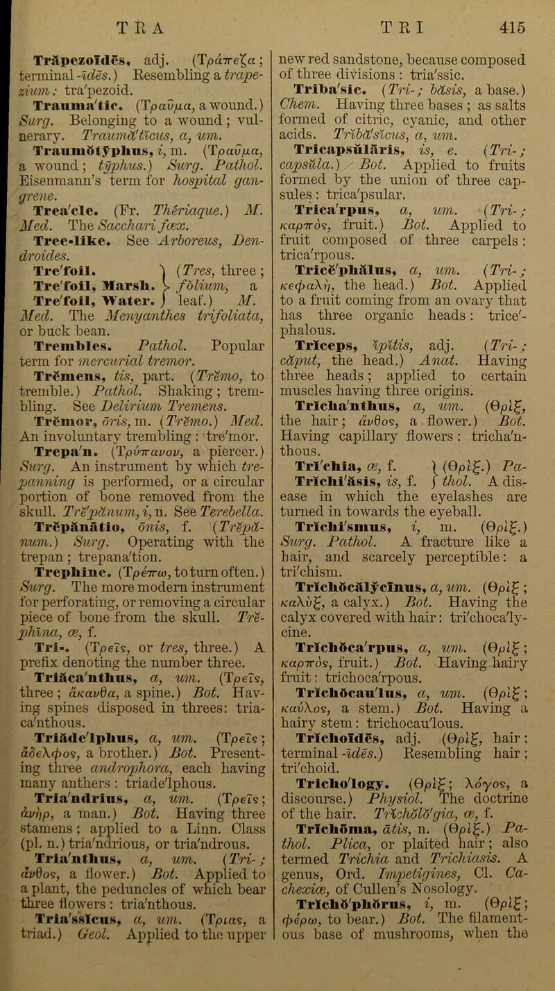 Tralpezoldfs, adj. (IpuTre^a; terminal -Ides.) Resembling a trape- zium ; tra'pezoid. Tramnn'tio. (Tpav/xa, a woimd.) Surg. Belonging to a wonnd; vul- nerary. TrauviWt%cus, a, um. Traum0t5^plms, i, m. {Tpavga, a wound; typhus.) Surg. Pathol. Eisenmann’s term for hospital gan- grene. Trea'cle. (Fr. Theriague.) M. Med. The Sacchari fcex. Trce-Ilke. See Arhoreus, Den- droides. Tre'l'oil. 'j (Tres, three ; Tre'foil, Marsli. > folium, a Tre'foil, >Vater. j leaf.) M. Med. The Alenyanthes trifoliata, or buck bean. Trembles. Pathol. Popular term for mercurial tremor. Trgmens, tis, part. {Tr'imo, to tremble.) Pathol. Shaking ; trem- bling. See Delirium Tremens. Trfiuor, om, m. {Trimo.) Med. An involuntary trembling : tre'mor. Trepa'ii. (TjouTrai/oj;, a piercer.) Surg. An instrument by which tre- panning is performed, or a circular portion of bone removed from the skull. Tr^'pdnum,i,Tx. '^QQ.Terehella. TrSpiliultio, onis, f. {Tr^pCt- num.) Sicrg. Operating with the trepan; trepana'tion. Trepbinc. (TperrM, to turn often.) Surg. The more modem instmment for perforating, or removing a circular piece of bone from the skull. TrS- phlna, oe, f. Tri-. (TpeTs, or tres, three.) A prefix denoting the number three. Triiica'nthus, a, um. (TpeZs, three; a«:ai/t)a, a spine.) Bot. Hav- ing spines disposed in threes: tria- ca'nthous. TriSdelplms, a, um. (TpeTs; a8eX<po^, a brother.) Bot. Present- ing three androphora, each having many anthers: triade'lphous. Trla'ndrinsy a, um. {TpeT^; hvi'ip, a man.) Bot. Having three stamens; applied to a Linn. Class (pi. n.) tria'ndi’ious, or tria'ndrous. Tria'ntlins, a, um. {Tri-; (tvdo^, a fiower.) Bot. Applied to a plant, the peduncles of which bear tmee flowers: tria'nthous. Trla'sslcus, a, um. (Tpias, a triad.) (jteol. Applied to the upper new red sandstone, because composed of three divisions : tria'ssic. Triba'sic. {Tri-; hdsis, abase.) Chem. Having three bases ; as salts formed of citric, cyanic, and other acids. Tribd!slcm, a, um. Tricapsiilaris, is, e. {Tri-; capsula.) Bot. Applied to fmits formed by the union of three cap- sules : trica'psular. Trica'rpus, a, um. {Tri-; KapTTo?, fruit.) Bot. Applied to fruit composed of three carpels; trica'rpous. Trice'phstlns, a, um. {Tri-; K6(l)aXii, the head.) Bot. Applied to a fruit coming from an ovary that has three organic heads: trice'- phalous. Triceps, ipUis, adj. {Tri-; cdput, the head.) Anat. Having three heads; applied to certain muscles having three origins. Trlcba'nthiis, a, um. {Opl^, the hair; dudo9, a flower.) J3ot. Having capillary flowers : tricha'n- thous. TrTcbla, ce, f. ){Qpl^.) Pa- Trlchi'asls, is, f. j thol. A dis- ease in which the eyelashes are turned in towards the eyeball. Tricbl'smus, i, m. {Opl^.} Surg. Pathol. A fracture like a hair, and scarcely perceptible; a tri'chism. Tricbficaiycinus, a, um. {Qpl^; KoXv^, a calyx.) Bot. Having the calyx covered with hair: tri'choca'ly- cine. Trlcbbca'rpns, a, um. {Opl^; KO/OTTos, fruit.) Bot. Having hairy fruit: trichoca'rpous. Trlchdcau'liis, a, um. {Qpl^; KavXos, a stem.) Bot. Having a hairy stem: trichocaulous. Trlchoides, adj. {Qpl^, hair ; terminal -Ides.) Resembling hair; tri'choid. Trlcbo'logy. {Qpi^', Xoyos, a discourse.) Physiol. The doctrine of the hair. TrKoholo'gia, ce, f. Trichoma, dtis, n. {Qpi^.} Pa- thol. Plica, or plaited hair; also termed Trichia and Trichiasis. A genus, Ord. Impetigines, Cl. Ca- chexice, of Cullen’s Nosology. Trlch5'ph»ru.s, i, m. (Qp'i-t‘, f/)6/oo), to bear.) Bot. The filament- ous base of mushrooms, when the