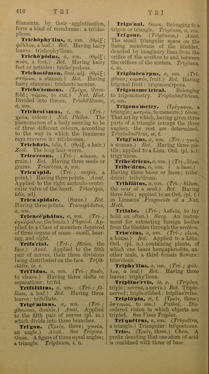 filaments, hy their • agglutination, fonn a kind of niemhrane: a tri'cho- idiore. TrlchOpliyllns, a, urn. cjivWou, aleaf.) Bot. Having hairy leaves: trichophy'llous. TrlcliA'p^diis, a, vm. ; TTous, a foot.) Bot. Having hairy feet or petioles; tricho'podous. TrlcliostiSmoii, adj. (Opl^; (T'Tvp.uw, a stamen.) Bot. Having hairy stamens: trichoste'monine. Tric]io'tomou.s. (Tpiya, three- fold ; 'Tcp.vo), to cut.) Nat. Hist. Divided into threes. TricJio'tdnius, a, um. Ti'lcliroi'smnSy i, m. {TH-; X/ooa, colour.) Nat. Philos. The phenomenon of a body seeming to be of three different colours, according to the way in which the luminous rays traverse it; tri'chroism. Tricliliris, itiis, f. (9pl^, a hair.) Xool. The long hair-worm. Trico'ccous. {Tri-; kokkos, a grain.) Bot. Having three seeds or grains. Trico'ccus, a, um. Triciihpid. {Tn-; cuspis, a point.) Having three points. Anat. Applied to the right auriculo-ventri- cular valve of the heart. Trlcu'spis, idis, adj. Tricu'spiilate. (Same.) Bot. Having three points. Tricuspidatus, a, um. Triencfi'pliaius, a, um. {Tri-; ey«:e(p aXoi', the brain.) Physiol. Ap- plied to a Class of monsters deprived of three organs of sense—smell, hear- ing, and sight. Trifa'cial. {Tri-; fdcies, the face.) Anat. Applied to the fifth pair of nerves, their three divisions being distributed on the face. TrlfCt- dialis, is, e. TrI'fldus, a, um. {Tri-; findo, to cleave.) Having three clefts or separations: tri'fid. TrlfSllAtns, a, um. {Tri-; ,fd- lium, a leaf.) Bot. Having three leaves: trifoliate. TrlgC'niInus, a, um. {Tri-; g'Sminus, double.) Anat. Applied to the fifth pair of nerves (pi. m.) which divide into thi-ee branches. Trl'gon. (TpeTs, three; yu)via, an angle.) Anat. See THgone. Geom. A figure of three equal angles; a triangle. Trlyonum, i, n. Trigo'iial. Geom. Belongingtoa ( trigon or triangle. Trlyoaus, a, vm. f, Trl'gone. {TrVjonum.) Anal, li The small triangular space on the ; lining membrane of the bladder, - denoted by imaginaiy lines from the ; orifice of the urethra to and between i the orifices of the ureters. TrlgOnus, j i, m. TrigfinOca'rpus, a, um. {Tri- |j gonus; Kupiros, fruit.) Bot. Having j trigonal fruit: trigonoca'rpous. ( Trigononie'trical. Belonging to trigonometry. Trlgonlmttrlcm, a, um. Trlgono'metry. {Tpiyuivov, a triangle; ge'rpeu), to measure.) Geom. That art by which, having given three parts of a triangle (except the three angles), the rest are detenuined. TrlgdnSmi't'ria, ce, f. Trigy'iiiu.s, a, um. {Tri-; yvm), a woman.) Bot. Having three pis- tils ; appUed to a Linn. Ord. (pi. n.): trigynious. Trilie'drXciis, a, um. ) {Tri-; eopu, Trllie'drn.s, a, um. j a base.) Having three bases or faces; trihe'- drical: trihe'drous. Trihllatus, a, um. {Tn-; hlhim, the scar of a seed.) Bot. Having three hila; applied to an Ord. (pi. f.) in Linnfeus’ Fragments of a Nat. Meth. Trllal>e. {Tri-; Xateiv, to lay hold on often.) Surg. An instru- ment for extracting foreign bodies from the bladder through the ureth ra. Trioe'ciu.s, a, um. {Tri-; 61ko%, a house.) Bot. Applied to a Liim. Ord. (pi. n.) containing plants, of which one bears hermaphrodite, an- other male, a third female flowers: trioe'cious, Tripliy'llus, a, ?m. {Tri-; <pv\- Xov, a leaf.) Bot. Having three leaves: triphj'dlous. Tripllne'rvls, is, e. {Triplus, triple; a nerve.) Bot. Triple- nerved ; triple-ribbed: tripline'rvine. TriplO'pia, ce, f. {TpeTs, three; oirTopLai, to see.) Pathol. Dis- ordered vision in which objects are tripled. See Visas Triplex. Trl'qnftrus, a,um. {TrlquHra, a triangle.) Triangular: tri'quetrous. Tris-. (Tpeis, three.) Chem. A prefix denoting that one atom of acid is combmed Avith three of base.