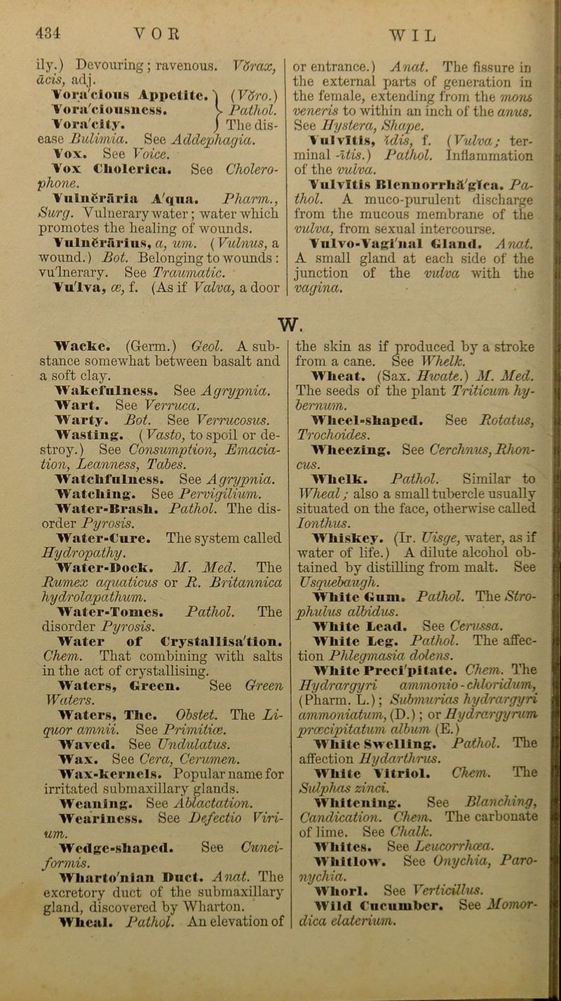 ily.) Devouring; ravenous. VSrax, dcis, adj. 'Vora'clous Appetite.'j {VSro.) Torii'eionsuess. V Pathol. Aora'clty. j The dis- ease Bulimia. See Addephagia. Vox. See Voice. Vox Cliolerlca. See Cholero- •phone. VuluCraria A'qiia. Pharm., Surg. Vulnerary water; water which promotes the healing of wounds. VuluCrarius, a, um. (Vulnus, a wound.) Bot. Belonging to wounds: vulnerary. See Traumatic. Vulva, ce, f. (As if Valva, a door or entrance.) Anat. The fissure in the external parts of generation in the female, extending from the 'mom 'oe'ueris to within an inch of the arvua. See Ilyste'ra, Shape. Vulvitis, Idis, f. {Vulva; ter- minal -Itis.) Pathol. Inflammation of the 'vulva. Vulvitis Itlcmiorrliii^gloa. Pa- thol. A muco-purulent discharge from the mucous membrane of the vulva, from sexual intercourse. Viilvo-Vagl'jial daiKl. Anat. A small gland at each side of the junction of the vulva with the vagina. w. Wacke. (Germ.) Geol. A sub- stance somewhat between basalt and a soft clay. Wakefulness. Agrypnia. Wart. See Verruca. W'arty. Bot. See Verrucosus. W^astlng. (Vasto, to spoil or de- stroy.) See Consumptio'n, Emacia- tion, Leanness, Tabes. Watclifnlness. See Ag'rypnia. W^atching. See Pervigilium. Water-Brasli. Pathol. The dis- order Pyrosis. Water-Cure. The sy,stem called Hydropathy. Water-Dock. M. Med. The Rumex aquaticus or R. Britannica hydrolapathum. Water-Tomes. Pathol. The disorder Pyrosis. Water of Crystallisa'tion. Chem. That combining with salts in the act of crystallising. Waters, Green. See Green Waters. Waters, The. Ohstet. The Li- quor amnii. See Primitive. Wavert. See TJndulatus. Wax. See Cera, Cerumen. Wax-kernels. Popular name for irritated submaxillary glands. Weaning. See Ablactation. Weariness. See Defectio Viri- um. Wcdgc-sliapert. See Cunei- formis. Wliarto'nian Duct. A'nat. The excretory duct of the submaxillary gland, discovered by Wharton, Wlieal. Pathol. An elevation of the skin as if produced by a stroke from a cane. See Whelk. Wheat. (Sax. H'wate.) M. Med. The seeds of the plant T'riticum hy- bemum. Wheel-shaped. See P\.otatus, Trochoides. Wheezing. See Cerchnus, Rhon- cus. Whelk. Pathol. Similar to Wheal; also a small tubercle usually situated on the face, otherwise called. lonthus. Whiskey. (Ir. Uisge, water, as if water of life.) A dilute alcohol ob- tained by distilling from malt. See Usquebaugh. White Gum. Pathol. The Stro- phulus albidics. White Lead. See Cerussa. White Leg. Pathol. The affec- tion Phlegmasia dolens. White Preci'pitate. Chem. The Hydrargyri ammonio - chloridum, (Pharm. L.); Siihmurias hydrargyri ammoniatum, (D.); or Hydrargyrum prcecipitatum album (E.) White Swelling. Pathol. The affection Hydarthrus. White Vitriol. Chem. Tlie Sidphas zinci. Whitening. See Blanching, Candication. Chem. The carbonate of lime. See Chalk. W'hltcs. See Leucorrhoea. Whitlow'. See Onychia, Paro- nychia. Whorl. See Verticillus. Wild encumber. See Momor- dica elaterium.