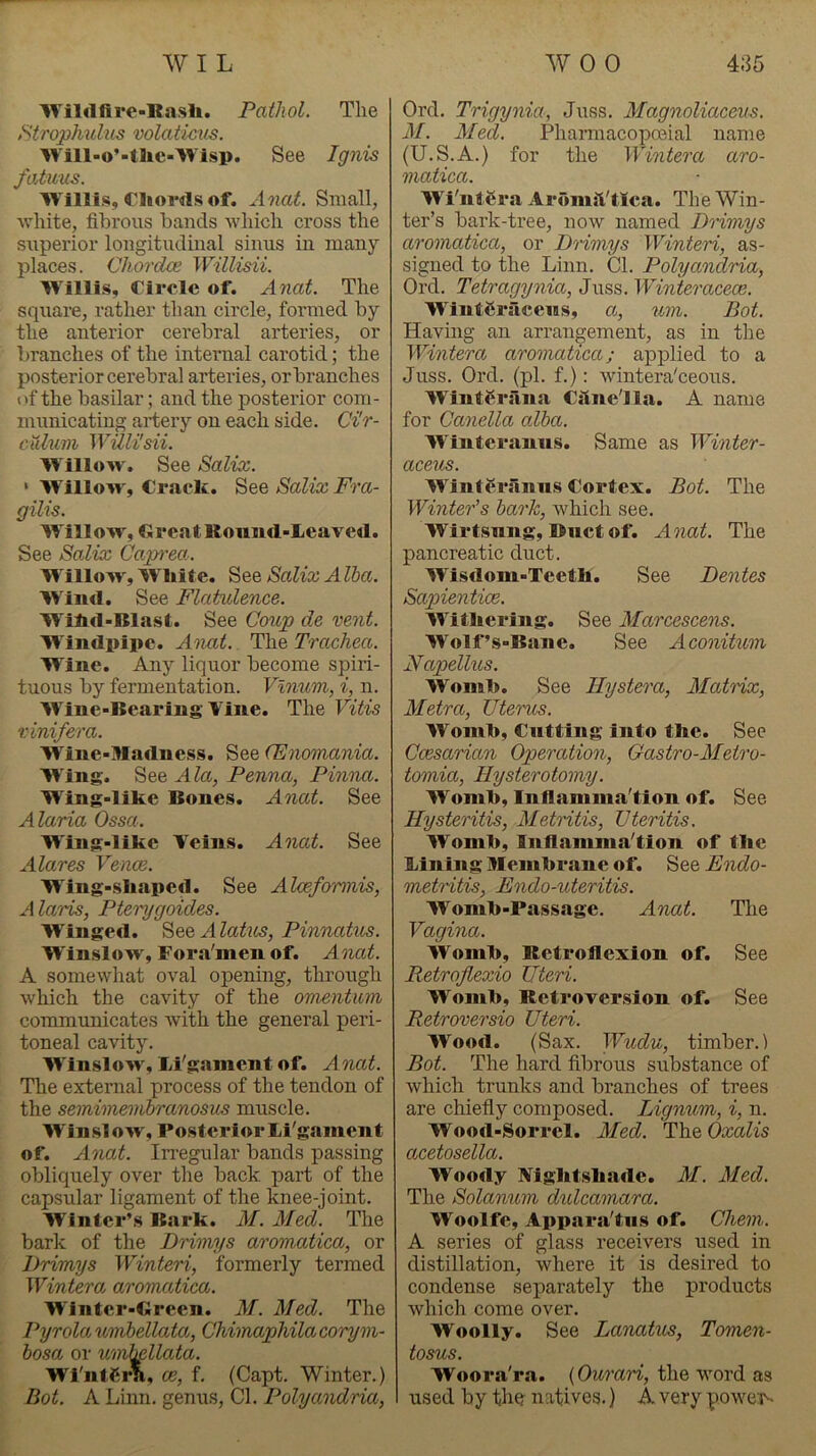 Wilflfiro-Rnsli. Pathol. The ,'Strophulus volaticus. Will-o’-tlie-'Wisp. See Ignis fatiius. Willis, Chords of. A^iat. Small, white, fibrous bands which cross the superior longitudinal sinus in many places. Chordce Willisii. W^illis, Circle of. Anat. The square, rather than circle, formed by the anterior cerebral arteries, or branches of the internal carotid; the posterior cerebral arteries, or branches of the basilar; and the posterior com- municating artery on each side. Cir- Ciihim WUli'sii. Willow. See Salix. > W'illow', Craclt. See Salix Fra- gilis. Willow, Great Roimd-IiCaved. See Salix Cap^'ea. W'illow, White. See Salix Alba. Wind. See Flatulence. Wihd-Blast. See Coup de vent. W'indpipe. Anat. The Trachea. Wine. Any liquor become spiri- tuous by fermentation. Vlnum, i, n. W’^ine-Bearing Vine. The Vitis vinifera. Wine-Madness. See (Enomania. Wing. See Ala, Penna, Pinna. Wing-lihe Bones. Anat. See Alaria Ossa. Wing-like Veins. Anat. See Alares Vence. Wing-shaped. See Alcefannis, Alaris, Pterygoides. Winged. See A latus, Pinnatus. Winslow, Fora'men of. Anat. A somewhat oval opening, through which the cavity of the omentum communicates with the general peri- toneal cavity. Winslow, lii'gament of. Anat. The external process of the tendon of the semimembranosus muscle. Win si o w. Posterior Li'gament of. Anat. In’egular bands passing obliquely over the back, part of the capsular ligament of the knee-joint. Winter’s Bark. M. Med. The bark of the Drimys aromatica, or Drimys Winteri, formerly termed WinterOy aromatica. Winter-Green. M. Med. The Pyrola umbellatOj, Chimaphilacorym- bosa or umf^llata. Wi'ntCrh, oe, f. (Capt. Winter.) Bot. A Linn, genus. Cl. Polyandria, Ord. Trigynia, Juss. Magnoliaceus. M. Med. Pharmacopceial name (U.S.A.) for the Wintera aro- matica. Wi'ntgra AronuVtIca. The Win- ter’s bark-tree, now named Drimys aromatica, or Drimys Winteri, as- signed to the Linn. Cl. Polyandria, Ord. Tetragynia, Juss. Winteracece. WintCracens, a, um. Bot. Having an arrangement, as in the Wintera aromatica; applied to a Juss. Ord. (pi. f.): wintera'ceous. WintSriina Cilne'lla. A name for Canella olba. Winteranns. Same as Winter- aceus. Winteranns Cortex. Bot. The Winter's bark, which see. Wirtsnng, Duct of. Anat. The pancreatic duct. Wisdom-Teetli. See Dentes Sajoientice. Withering. See Marcescens. Wolf’s-Bane. See Aconitum Napellus. Wonih. See Hystera, Matnx, Metra, Uterus. Womh, Cutting into the. See Ccesarian Operation, Gastro-Metro- tomia. Hysterotomy. Womh, Inilamnia'tion of. See Hysteritis, Metritis, Vteritis. Womh, Inflamma'tion of the Fining Membrane of. See Endo- metritis, Endo-uteritis. Womh-Passage. Anat. Tlie Vagina. Womh, Retroflexion of. See Retrojlexio Uteri. Womh, Retroversion of. See Retroversio Uteri. Wood. (Sax. Wudu, timber.) Bot. The hard fibrous substance of which trunks and branches of trees are chiefly composed. Ligmim, i, n. Wood-Sorrel. Med. The Oxalis acetosella. Woody Mghtshade. M. Med. The Solanum didcamara. Woolfe, Appara'tns of. Chem. A series of glass receivers used in distillation, where it is desired to condense separately the products which come over. Woolly. See Lanatus, Tomen- tosus. Woora'r.a. {Ourari, the word as used by the natives.) A very powei^