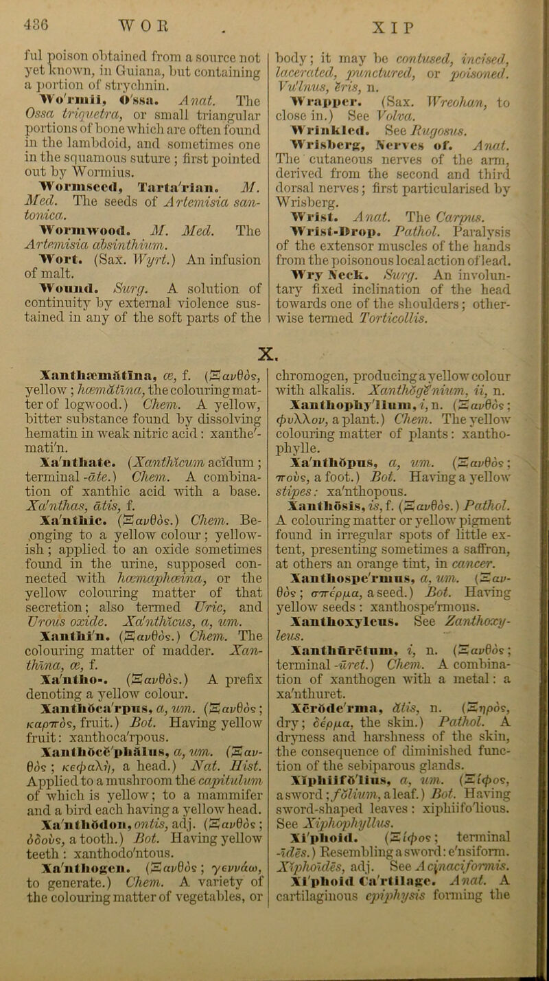 fill poison obtained from a source not yet Known, in Guiana, but containing a j)ortion of strychnin. 6's.sa. Aixat. Tlie Ossa triquetra, or small triangular portions of bone which are often found in the lambdoid, and sometimes one in the squamous suture ; first pointed out by Womiius. Wormscod, Tart.Vrian. M. Med. Tlie seeds of Artemisia san- tonica,. Woi*m>vood. M. Med. The Artemisia absinthium. Wort. (Sax. Wyrt.) An infusion of malt. Wound. Surg. A solution of continuity by external violence sus- tained in any of the soft parts of the Xantliaemsltina, ce, f. (SaaSos, yellow; hcemdtlna, the colouring mat- ter of logwood.) Chem. A yellow, bitter substance found by dissolving hematin in weak nitric acid: xanthe'- mati'n. Xa'utliate. {Xanthicum acidum; terminal-aie.) Chem. A combina- tion of xanthic acid with a base. Xa'nthas, dtis, f. Xa'ntliic. (SavQos.) Chem. Be- pnging to a yellow colour; yellow- ish ; applied to an oxide sometimes found in the urine, supposed con- nected with hcemaphceina, or the yellow colouring matter of that secretion; also termed Uric, and Vrous oxide. Xalnthxcus, a, um. Xantlii'n. (Sai>6ds.) Chem. The colouring matter of madder. Xan- thdna, ce, f. Xa'utlio*. (Savdos.) A prefix denoting a yellow colour. XantliOca'rpiis, a, um. (Sai;6ds; Kap'TTos, fruit.) Bot. Having yellow fruit: xanthoca'riDous. Xantlidc6'pliiiliis, a, um. CSav- 6ds ; K6cj)oXii, a head.) Xat. Hist. Applied to a mushroom the capitulum of which is yellow; to a mammifer and a bird each having a yellow head. Xa'iitliOdoii,o?iiw, aclj. (Sav6ds; ddoi/s, atooth.) Bot. Having yellow teeth: xanthodo'ntous. Xa'ulliogcn. (Siti'Sds; ycvvau), to generate.) Chem. A variety of the colouring matter of vegetables, or body; it may be contused, incised, lacerated, punctured, or pjoisoned. Vu'lnus, ^ris, n. Wrapper. (Sax. Wreohan, to close in.) See Volva. Wrinkled. Bugosxis. Wri.sberg, Xerves of. Anat. Tlie cutaneous nerves of the arm, derived from the second and third dorsal nerves; first particularised by Wrisberg. W'rist. Ana.t. The Carjnis. W'ri.st-Drop. Pathol. Paralysis of the extensor muscles of the hands from the poisonous local action of leail. W ry Xeck. Surg. An involun- tary fixed inclination of the head towards one of the shoulders; other- wise termed Torticollis. chromogen, producing a yellow colour with alkalis. Xanthhg'Snium, ii, n. Xautliophy'lliini, f, n. (^av6d^; a plant.) Chem. The yellow colouring matter of plants: xantho- phylle. Xa'ntliOpns, a, um. (Savdos; 7T0V9, a foot.) Bot. Having a yellow stipes: xa'nthopous. Xantliosls, is, f. (3?ai/6ds.) Poihol. A colouring matter or yellow pigment found in irregular spots of little ex- tent, presenting sometimes a saffron, at others an orange tint, in cancer. Xanthospe'rmn.s, a, um. (Zaj/- 6ds; o-TTC/o/ia, aseed.) Bot. Having yellow seeds: xanthospe'rmous. Xantlioxylens. See Zanthoxy- leus. Xanthuretiini, i, n. (£(aj;0os; terminal-iire^.) Chem. A combina- tion of xanthogen with a metal: a xa'nthuret. XerOtle'rnia, dtis, n. dry; Sepga, the skin.) Pathol. A drjmess and harshness of the skin, the consequence of diminished func- tion of the sebiparous glands. XlpliiifO'liiis, a, um. asword aleaf.) Bot. Having sword-shaped leaves: xiphiifolious. See Xiphophylhts. Xi'plioid. (Ei'<|)os; terminal -ides.) Resembling a sword: e'nsiform. Xipholdes, adj. ^ee Acinaciformis. Xl'plioirt C’a'rtllage. Anat. A cartilaginous epiphysis fonniug the
