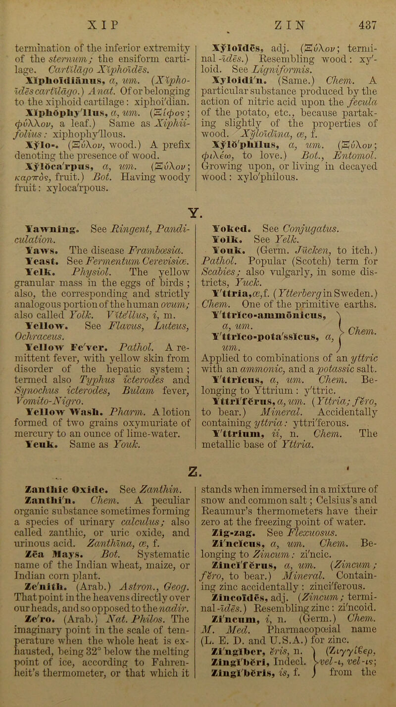 termination of the inferior extremity of the sternum; the ensiform carti- lage. Cartildgo Xlpliodcles. Xiplioidiaiuis, a, %im. {Xlpho- Wes cartildgo.) xinat. Of or belonging to the xiphoid cartilage: xiphoi'dian. XipltOpliylliis, a, um. (S'lcpo^ ; cjivWov, a leaf.) Same as Xiphii- folius: xiphophyTloiis. XylO. (SuXoi/, wood.) A prefix denoting the presence of wood. Xyldca'rpus, a, um. (SiiXov; KapTro^, fruit.) Bot. Havmg woody fruit: xyloca'rpous. Xyloidcs, adj. (SvXov; termi- nal -ides.) Resembling wood; xy'- loid. See Ligniformis. Xyloidi'ii, (Same.) Chem. A particular substance produced by the action of nitric acid upon the fecula of the potato, etc., because partak- ing slightly of the properties of wood. X^lolcllna, ce, f. Xylft'plillus, a, %im. (SuXov; (fuXeu), to love.) Bot., Entomol. Growing upon, or living in decayed wood: xylo'philous. Xai^Tiing. See Ringent, Pandi- culation. Xavvs. The disease Framhoesia. Yeast. See Fermentum Cerevisice. Yelk. Physiol. The yellow granular mass in the eggs of birds ; also, the corresponding and strictly analogous portion of the human ovum; also called Yolk. Vitdllus, i, m. Yellow. See Flavus, Luteus, Ochraceus. Yellow Fe'ver. Pathol. A re- mittent fever, with yellow skin from disorder of the hepatic system; termed also Typhus icterodes and Synochus icterodes, Bulam fever, Vomito-Nigro. Yellow Wasli. Pharm. A lotion formed of two grains oxymuriate of mercury to an ounce of lime-water. Yenk. Same as Youk. Yoked. See Conjugatus. Yolk. See Yelk. Youk. (Germ. Jucken, to itch.) Pathol. Popular (Scotch) term for Scabies; also vulgarly, in some dis- tricts, Yuck. Y'ttria,ce,f. (Ytterherg in Sweden.) Chem. One of the primitive earths. Y'ttrico-ammonicus, a, um. Y'ttrlco-pota'ssicus, a, um. Applied to combinations of an yttrie with an ammonic, and apotassic salt. Y'ttriciis, a, um. Chem. Be- longing to Yttrimn: y'ttric. Yttrl'l‘€rns, a, um. (Yttria; fh'o, to bear.) Mineral. Accidentally containing yttria: yttri'ferous. Y'ttrium, ii, n. Chem. The metallic base of Yttria. Chem. z. Zantliic Oxide. See Zanthin. Zantlii'n. Chem. A peculiar organic substance sometimes forming a .species of urinary calculus; also called zanthic, or uric oxide, and urinous acid. Zanthlna, ce, f. Zea Iilay.s. Bot. Systematic name of the Indian wheat, maize, or Indian com plant. Ze'iiitli. (Arab.) Astron., Geog. That point in the heavens directly over our heads, and so opposed to the nadir. Ze'ro. (Arab.) Nat. Philos. The imaginary point in the scale of tem- perature when the whole heat is ex- hausted, being 32° below the melting point of ice, according to Fahren- heit’s thermometer, or that which it stands when immersed in a mixture of snow and common salt; Celsius’s and Reaumur’s thermometers have their zero at the freezing point of water. Zig-zag. See Flexuosus. ZFnclcn.s, a, um. Chem. Be- longing to Zincum: zi'ncic. Ziiicl'f6ru.s, a, um. {Zincum; f'iro, to bear.) Mineral. Contain- ing zinc accidentally: zinciferous. Zincoides, adj. {Zincum; termi- nal-^c?e5.) Resembling zinc: zi'ncoid. Zi'uciim, i, n. (Germ.) Chem. M. Med. Phannacopoeial name (L. E. D. and U.S.A.) for zinc. Zi’ngltocr, h'is, n. 1 {Ziyyitep, Zingl’bSri, Indecl. \vel-i, vel-L9; ZiugtbSrls, is, f. j from the