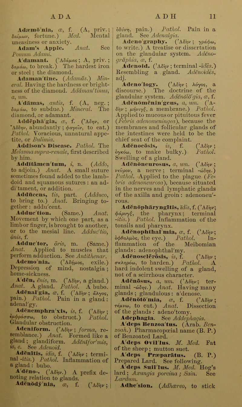 AdicniS'nia, ce, f. (A, priv.; Scuywv, fortune.) Med. Mental uneasiness or anxiety. Adam's Apple. Anat. See Pomum Adami. A damant. (’ASd/aas ; A, priv.; Sapdai, to break.) The hardest iron or steel; the diamond. Adaiuan'tfue. (Adcimas.) Min- eral. Having the hardness or bright- ness of the diamond. Adaman'tinus, a, um. A'damas, antis, f. (A, neg. ; Safidtx), to subdue.) Mineral. The diamond, or adamant. Addeplisl'gla, ce, f. (AS-qv, or *ASS-qv, abundantly ; tyayeiv, to eat.) Pathol. Voracious, unnatural appe- tite, or Bulimia. Addison’s Disease. Pathol. The Melasma supra-renale, first described by him. Addltamen'tum, i, n. (Addo, to adjoin.) Anat. A small suture sometimes found added to the lamb- doid and squamous sutures : an ad- di'tament, or addition. Adducens, tis, part. (Adduco, to bring to.) Anat. Bringing to- gether : addu'cent. Adduc'tion. (Same.) Anat. Movement by which one part, as a limb or finger, is brought to another, or to the mesial line. Adduc'tio, dnis, f. Adduc'tor, oris, m. (Same.) Anat. Applied to muscles that perform adduction. See Antithenar. Ademo'nia. (’AS^os, exile.) Depression of mind, nostalgia; home-sickness. A'den, inis, m. (’ASrjv, a gland.) Anat. A gland. Pathol. A bubo. AdSnal'gia, ce, f. (’ASrjv ; dkyo<s, pain.) Pathol. Pain in a gland: adenal'gy. AdCnemphra'xis, is, f. (’aStji/; fn^pdaa-io, to obstruct.) Pathol. Glandular obstruction. Adeniform. (’ASrjv ; forma, re- semblance.) Anat. Formed like a gland; glandiform. Adenifor'mis, is, e. See Adenoid. Adenitis, idis, f. (’ASijj/ ; termi- nal -itis.) Pathol. Inflammation of a gland : bubo. A'dCno-. (’ASrji/.) A prefix de- noting relation to glands. AdCnOdy'nia, ce, f. (’ASrjv ; oSvvr], pain.) Pathol. Pain in a gland. See Adenalgia. Adeno'grapliy. (’ASpv ; ypafiio, to write.) A treatise or dissertation on the glandular system. Adeno- grap/ua, ce, f. Adenoid. (’ASpv; terminal -ides.') Resembling a gland. Aclenoides, adj. Adeno'logy. (’ASrjr; Aoyos, a discourse.) The doctrine of the glandular system. Adenoid1gia, ce, f. A den ftim'n i n/gc us, a, um. (’A- Srjv ; a membrane.) Pathol. Applied to mucous or pituitous fever (Febris adenomeningea), because the membranes and follicular glands of the intestines were held to be the chief seat of the complaint. Adenocosis, is, f. (’Abpv; oyKoo), to make bulky.) Pathol. Swelling of a gland. Adenttnenrosns, a, um. (’ASrjv ; vevpov, a nerve; terminal -c65rj?.) Pathol. Applied to the plague (Fe- bris adenoneurosa), because situated in the nerves and lymphatic glands of the axilla and groin : adenoneu'- rous. AdSnftph&ryngltis, idis, f. (’ASrjv; <f)dpvy£, the pharynx: terminal -itis.) Pathol. Inflammation of the tonsils and pharynx. AdcnopIiiSinl'inia, ce, f. (’A%; b<f>6akp.bs, the eye.) Pathol. In- flammation of the Meibomian glands: adenophthal'my. Adenosclerosis, is, f. (’Abpv ; aKk-qpou), to harden.) Pathol. A hard indolent swelling of a gland, not of a scirrhous character. Ad£ndsus, a, um. (’A8ijv; ter- minal -tbbij5.) Anat. Having many glands ; glandulous : a'denose. Adgn&ttt'mia, ce, f. (’Afirjv; repvu>, to cut.) Anat. Dissection of the glands : adeno'tomy. Adepliagia. See Addepliagia. A'deps Benzoa'tus. (Arab. Ben- zoah.) Pharmacopceial name (B. P.) of Benzoated Lard. A'deps Ovil'lns. M. Med. Fat of the sheep ; mutton suet. A'deps Praeparatus. (B. P.) Prepared Lard. See following. A'deps Snil'lus. M. Med. Hog’s lard ; Axungia porcina ; Sain. See Lardum. Adlie'sion. (Adhcereo, to stick