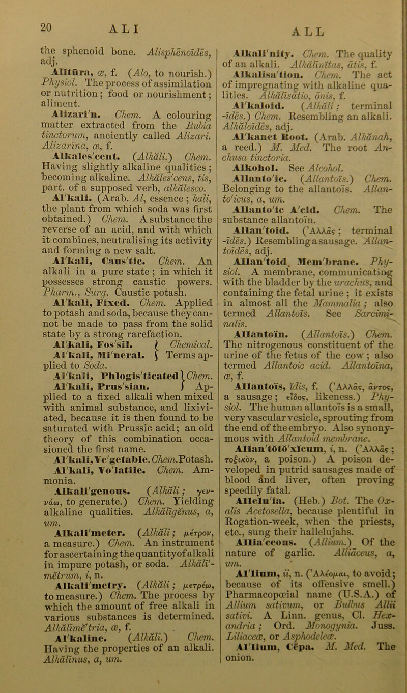 the sphenoid bone. Alisphenoides, adj. Allliirn, ce, f. (Alo, to nourish.) Physiol. The process of assimilation or nutrition ; food or nourishment; aliment. Alizuri'n. Chem. A colouring matter extracted from the Ituhia tinctorum, anciently called Alizari. Alizarina, ce, f. Alkalcs'cent. (Alkali.) Chem. Having slightly alkaline qualities ; becoming alkaline. Alkdles' cens, tis, part, of a supposed verb, alkdlesco. Alkali. (Arab. Al, essence; kali, the plant from which soda was first obtained.) Chem. A substance the reverse of an acid, and with which it combines, neutralising its activity and forming a new salt. Al'kali, Caus tic. Chem. An alkali in a pure state ; in which it possesses strong caustic powers. Pharm., Surg. Caustic potash. Al'kali, Fixed. Chem. Applied to potash and soda, because they can- not be made to pass from the solid state by a strong rarefaction. Al'kali, Fos'sil. ( Chemical. Al'kali, Mi'neral. ) Terms ap- plied to Soda. Al'kali, Plilogis'ticated 1 Chem. Al'kali, Prus'sian. j Ap- plied to a fixed alkali when mixed with animal substance, and lixivi- ated, because it is then found to be saturated with Prussic acid; an old theory of this combination occa- sioned the first name. Al'kali, Ye'getable.(7Aem.Potash. Al'kali, Volatile. Chem. Am- monia. Alkali'genons. (Alkali; yev- vaui, to generate.) Chem. Yielding alkaline qualities. AlkdligSnus, a, um. Alkali'metcr. (Alkali; /xeVpov, a measure.) Chem. An instrument for ascertaining the quantityof alkali in impure potash, or soda. Alkali'- metrum, i, n. Alkali'metry. (Alkali; perpi«, to measure.) Chem. The process by which the amount of free alkali in various substances is determined. AlkdlimS'tria, ce, f. Alkaline. (Alkali.) Chem. Having the properties of an alkali. Alkdlinus, a, um. Alkali'nlty. Chem. The quality of an alkali. Alkdlinltas, dtis, f. Alkalisa tion. Chem. The act of impregnating with alkaline qua- lities. Alkdlisdtio, onis, f. Al kaloid. (Alkali; terminal -ides.) Chem. Resembling an alkali. Alkdloides, adj. Al'kanet Root. (Arab. Alkdnah, a reed.) M. Med. The root An- chusa tinctoria. Alkoltol. See Alcohol. Allantoic. (Allantois.) Chem. Belonging to the allantois. Allan- to'icus, a, um. Allantoic A'cid. Chem. The substance allantoin. Allan toid. (’AAAas; terminal -icles.) Resembling a sausage. Allan- toides, adj. Allan'toid. Mem brane. Phy- siol. A membrane, communicating with the bladder by the urachus, and containing the fetal urine ; it exists in almost all the Mammalia; also termed Allantois. See Sarcimi- nedis. Allantoin. (Allantois.) Chem. The nitrogenous constituent of the urine of the fetus of the cow ; also termed Allantoic acid. Allantoina, ce, f. Allantois, idis, f. (’AAAas, avros, a sausage; etSos, likeness.) Phy- siol. The human allantois is a small, very vascular vesicle, sprouting from the end of the embryo. Also synony- mous with Allantoid membrane. Allan'tOtO'xIcnm, i, n. ('AAAas ; TotjiKov, a poison.) A poison de- veloped in putrid sausages made of blood dnd liver, often proving speedily fatal. Allcln'ia. (Heb.) Pot. The Ox- alis Acetosella, because plentiful in Rogation-week, when the priests, etc., sung their hallelujahs. Allin'ccons. (Allium.) Of the nature of garlic. Allidceus, a, um. Al'limn, ii, n. (’AAeopat, to avoid; because of its offensive smell.) Pharmacopceial name (U.S.A.) of Allium sativum, or Bulhus Allii sativi. A Linn, genus, Cl. Hcx- andria; Ord. Monogynia. Juss. Liliacece, or Asphodclece. Al'limn, Cfpa. M. Med. The I onion.