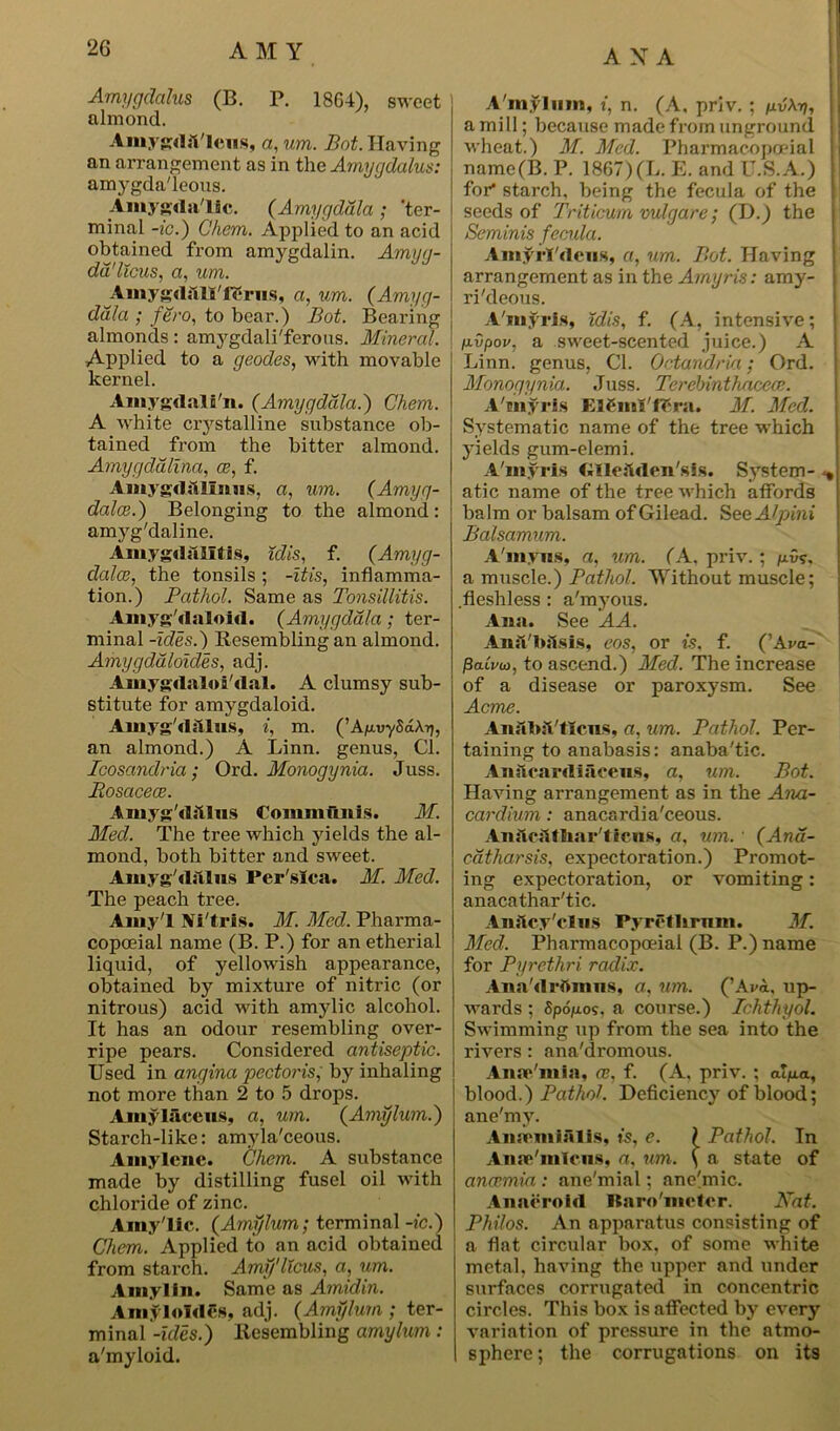 1 Amygdahis (B. P. 1864), sweet almond. Amygri;l'lcus, a,um. Bot. Having an arrangement as in the Amygdalus: amygda'leous. Amygdii llc. (Amygdala ; ’ter- minal -ic.) C'hem. Applied to an acid obtained from amygdalin. Amyg- dd'llcus, a, um. Ainyg(liiU'fSrn.s, a, um. (Amyg- dala ; fero, to bear.) Bot. Bearing almonds: amygdali'ferous. Mineral. Applied to a geodes, with movable kernel. Amygdali n. (Amygdala.) Chem. A white crystalline substance ob- tained from the bitter almond. Amygdalina, oe, f. AmygrtiUInus, a, um. (Amyg- dalae.) Belonging to the almond: amyg'daline. Amygdalitis, idis, f. (Amyg- dalce, the tonsils ; -itis, inflamma- tion.) Pathol. Same as Tonsillitis. Amyg'daloid. (Amygdala; ter- minal -ides.) Resembling an almond. Amygddloides, adj. Amygdalai'dal. A clumsy sub- stitute for amygdaloid. Amyg'dhlus, i, m. (’Aju.vySa\rj, an almond.) A Linn, genus, Cl. Icosandria ; Ord. Monogynia. Juss. Bosacece. Amyg'diilus Communis. M. Mecl. The tree which yields the al- mond, both bitter and sweet. Amyg'dalus Per'sica. M. Med. The peach tree. Amy'l Ni'trls. M. Med. Pharma- copoeial name (B. P.) for an etherial liquid, of yellowish appearance, obtained by mixture of nitric (or nitrous) acid with amylic alcohol. It has an odour resembling over- ripe pears. Considered antiseptic. Used in angina pectoris, by inhaling not more than 2 to 5 drops. Amylaceus, a, urn. (Amylum.) Starch-like: amyla'ceous. Amylene. Chem. A substance made by distilling fusel oil with chloride of zinc. Amy'lie. (Amylum; terminal -ic.) Chem. Applied to an acid obtained from starch. Amy'Ileus, a, um. Amyl in. Same as Amidin. AmyloTdes, adj. (Amylum ; ter- minal -ides.) Resembling amylum: a'myloid. A mylum, t, n. (A, priv. ; p.v\r), a mill; because made from unground i wheat.) M. Med. Pharmacopoeial namc(B. P. 1867)(L. E. and U.S.A.) for* starch, being the fecula of the j seeds of Triticum vulgare; (D.) the Seminis fecula. Amyrl'deus, a, um. Bot. Having | arrangement as in the Arnyris: amy- ri'deous. A'myrls, Idis, f. (A, intensive; nvpov, a sweet-scented juice.) A Linn, genus, Cl. Octandria; Ord. Monogynia. Juss. Terehinthacece. A'myrls Elfiini'fTm. M. Med. Systematic name of the tree which yields gum-elemi. A'myrls GlleSden'sls. System- <, atic name of the tree which affords balm or balsam of Gilead. S eeAlpini Balsamum. A'm.vns, a, um. (A. priv.; p.v<;, a muscle.) Pathol. Without muscle; .fleshless : a'myous. Ana. See A A. Ana'lnlsis, eos, or is. f. (’Ava- flaiVco, to ascend.) Med. The increase of a disease or paroxysm. See Acme. AnSbil'tlciis, a, um. Pathol. Per- taining to anabasis: anaba'tic. Aiiilcarrtiacens, a, um. Bot. Having arrangement as in the Ana- cardium: anacardia'ceous. Anilcjlthar'ticns, a, um. (Ana- catharsis., expectoration.) Promot- ing expectoration, or vomiting: anacathar'tic. Anftcy'clns Pyretlirum. M. Med. Pharmacopoeia! (B. P.) name for Pyrethri radix. Ana'drftmns, a, um. (’Ava, up- wards ; Sponoi. a course.) Ichthyol. Swimming up from the sea into the rivers : ana'dromous. Amr'mia, ce, f. (A, priv. ; aVa, blood.) Pathol. Deficiency of blood; ane'my. Anmmialis, is, e. ? Pathol. In Anaj'mlcns, a, um. \ a state of anaemia : ane'mial; anehnic. Anaeroid liaro'metcr. Nat. Philos. An apparatus consisting of a flat circular box, of some white metal, having the upper and under surfaces corrugated in concentric circles. This box is affected by every variation of pressure in the atmo- sphere; the corrugations on its