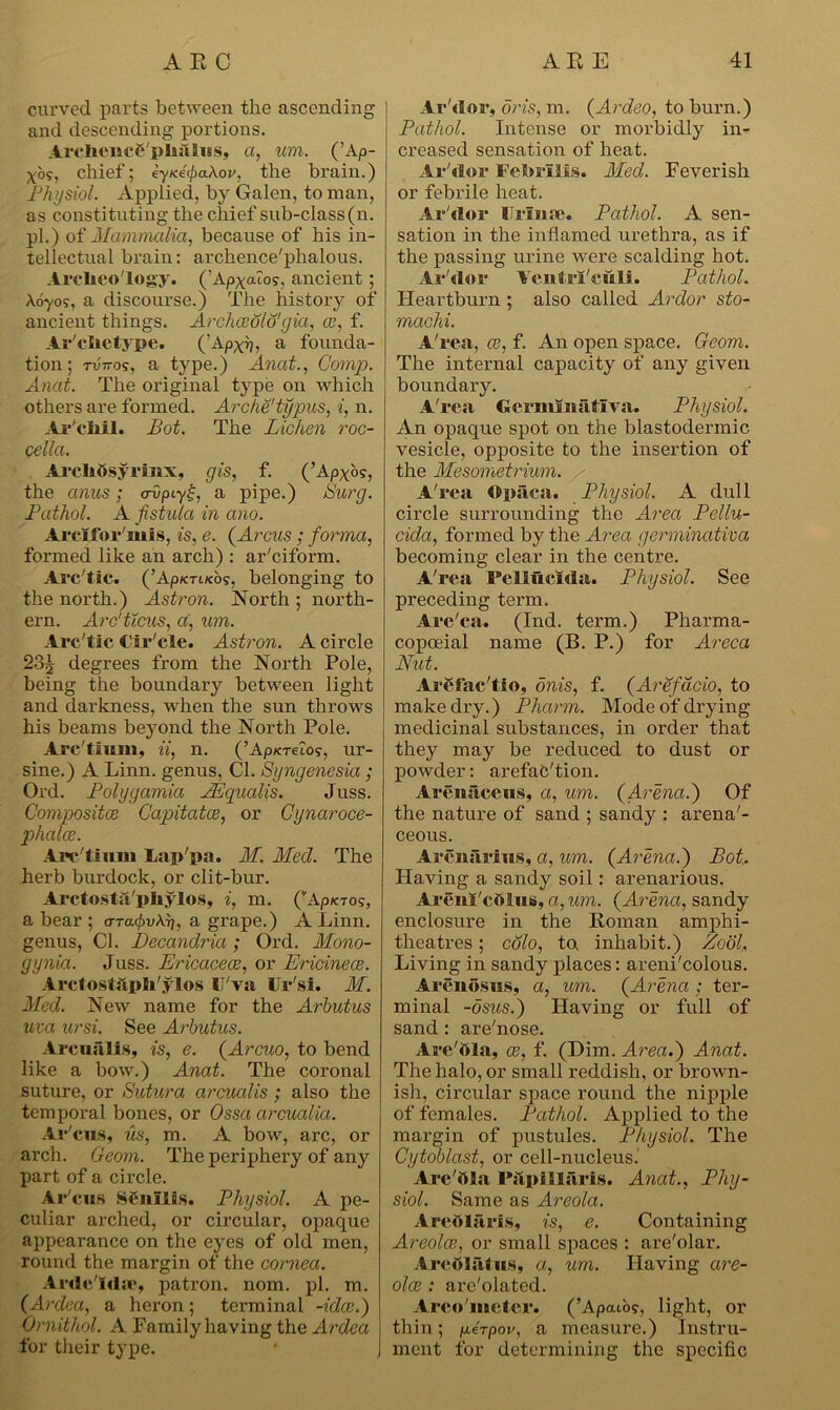 curved parts between the ascending and descending portions. ArcJiencC'plialns, a, tan. (’Ap- x'os, chief; eyice(pa\ov, the brain.) Physio/. Applied, by Galen, to man, as constituting the chief sub-class (n. pi.) of Mammalia, because of his in- tellectual brain: archence'phalous. Archeology. (’Ap^aZos, ancient; \dyo9, a discourse.) The history of ancient things. Archoeolo'gia, ce, f. Ar'clictype. ('Apxh, a founda- tion; TV770?, a type.) Anat., Comp. Anat. The original type on which others are formed. Arche'typus, i, n. Ar'cliil. Bot. The Lichen roc- cella. Ai’clifisyrimx, gis, f. (’Apxo?, the anus; <rvpt.y£, a pipe.) Burg. Fathol. A fistula in ano. Arcifor'mis, is, e. (Arcus ; forma, formed like an arch) : ar'ciform. Arc'tic. (’Ap/cruco?, belonging to the north.) Astron. North ; north- ern. Arc'ticus, a, tan. Arc'tic dir'cle. Astron. A circle 23J degrees from the North Pole, being the boundary between light and darkness, when the sun throws his beams beyond the North Pole. Arc'tium, ii, n. (’Ap/creZo?, ur- sine.) A Linn, genus, Cl. Syngenesia ; Ord. Polyy amici AE quails. Juss. Compositce Capitatce, or Cynaroce- phalce. Arc tium Lappa. M. Med. The herb burdock, or clit-bur. Arctosta'phylos, i, m. (ApKTo?, a bear ; o-ra^uArj, a grape.) A Linn, genus, Cl. Decandria; Ord. Mono- gynia. Juss. Ericaceae, or Ericinece. Arc! ostap Ji'ylos I'va I r si. M. Med. New name for the Arbutus uva ursi. See Arbutus. Arcualis, is, e. (Arcuo, to bend like a bow.) Anat. The coronal suture, or Sutura arcualis; also the temporal bones, or Ossa arcualia. Ar'cus, us, m. A bow, arc, or arch. Geom. The periphery of any part of a circle. Ar'cus SCnllis. Physiol. A pe- culiar arched, or circular, opaque appearance on the eyes of old men, round the margin of the cornea. Ardeldac, patron, nom. pi. m. (Ardea, a heron; terminal -idee.) Ornithol. A Family having the Ardea for their type. Ar'dor, oris, m. (Ardeo, to burn.) Pathol. Intense or morbidly in- creased sensation of heat. Ar'dor FeM*IMs. Med. Feverish or febrile heat. Ar'dor I rime. Pathol. A sen- sation in the inflamed urethra, as if the passing urine were scalding hot. Ar'dor Ventrl'culi. Pathol. Heartburn ; also called Ardor sto- machi. A'rea, ce, f. An open space. Geom. The internal capacity of any given boundary. A'rea Germinatlva. Physiol. An opaque spot on the blastodermic vesicle, opposite to the insertion of the Mesometrium. A'rea Opaca. Physiol. A dull circle surrounding the Area Pellu- cida, formed by the Area germinativa becoming clear in the centre. A'rea Pellueida. Physiol. See preceding term. Are'ca. (Ind. term.) Pharma- copoeial name (B. P.) for Areca Nut. Arefac'tio, onis, f. (Arefdcio, to make dry.) Pharm. Mode of drying medicinal substances, in order that they may be reduced to dust or powder: arefaC'tion. Arenaceus, a, um. (Arena.) Of the nature of sand ; sandy : arena'- ceous. Arenarius, a, um. (Arena.) Bot. Having a sandy soil: arenarious. Areni'cttlus, a, um. (Arena, sandy enclosure in the Roman amphi- theatres ; colo, to, inhabit.) Zool. Living in sandy places: areni'colous. Areuosus, a, um. (Arena ; ter- minal -dsus.) Having or full of sand : are'nose. Are'fila, ce, f. (Dim. Area.) Anat. The halo, or small reddish, or brown- ish, circular space round the nipple of females. Pathol. Applied to the margin of pustules. Physiol. The Cytoblast, or cell-nucleus. Are'ttla PapsElaris. Anat., Phy- siol. Same as Areola. Areolaris, is, e. Containing Areolae, or small spaces : are'olar. Arcdlatus, a, um. Having are- olae : ai’e'olated. Areo'meter. (’Apaios, light, or thin; p.irpov, a measure.) Instru- ment for determining the specific