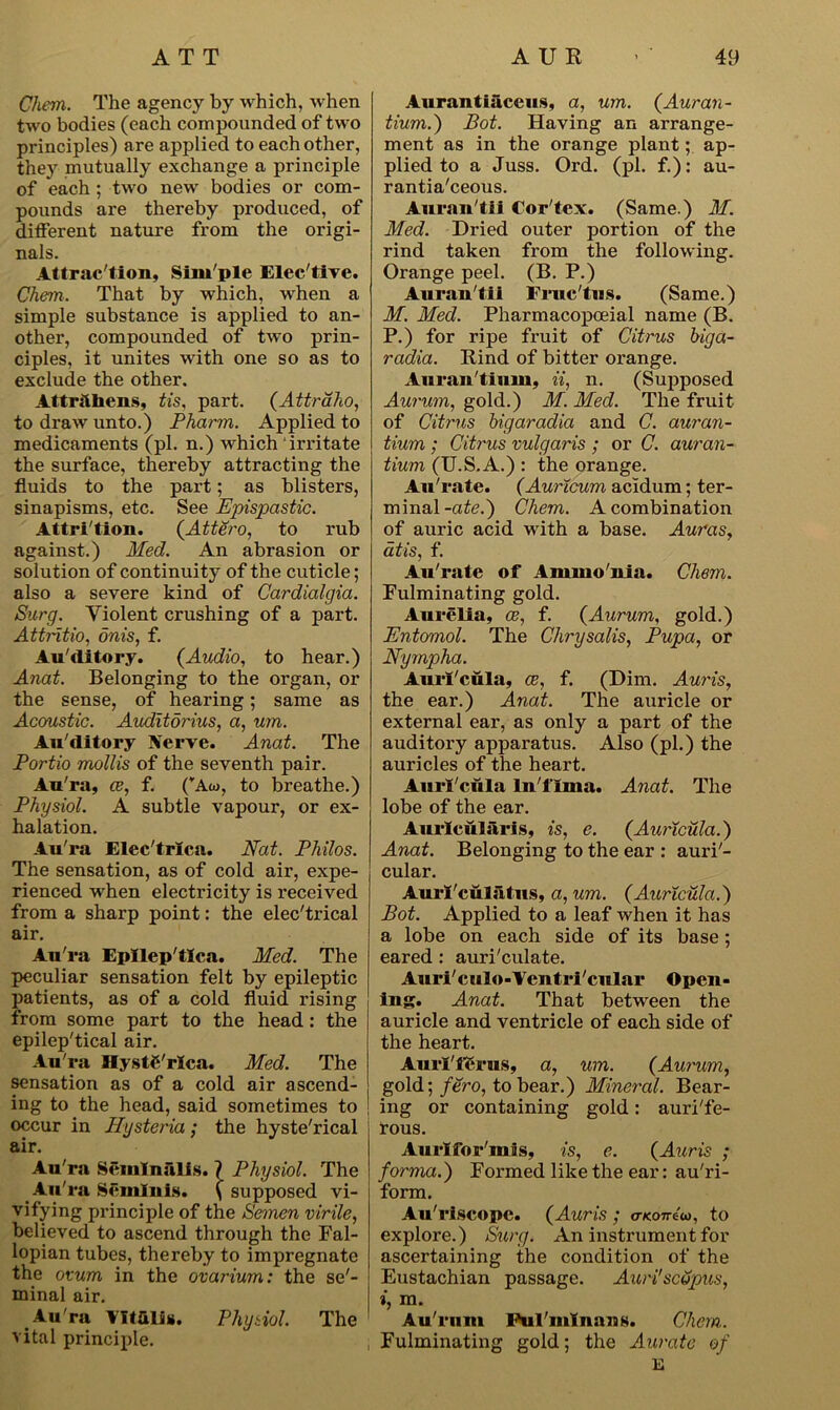 Chem. The agency by which, when two bodies (each compounded of two principles) are applied to each other, they mutually exchange a principle of each ; two new bodies or com- pounds are thereby produced, of different nature from the origi- nals. Attraction, Sim'ple Elec'tive. Chem. That by which, when a simple substance is applied to an- other, compounded of two prin- ciples, it unites with one so as to exclude the other, Attr&hens, tis, part. (Attraho, to draw unto.) Pharm. Applied to medicaments (pi. n.) which irritate the surface, thereby attracting the fluids to the part; as blisters, sinapisms, etc. See Epispastic. Attrition. (Attero, to rub against.) Med. An abrasion or solution of continuity of the cuticle; also a severe kind of Cardialgia. Surg. Violent crushing of a part. Attritio, onis, f. Au'clitory. (Audio, to hear.) Anat. Belonging to the organ, or the sense, of hearing; same as Acoustic. Auditorius, a, urn. Au'clitory Verve. Anat. The Portio mollis of the seventh pair. Au'ra, ce, f. (vAo>, to breathe.) Physiol. A subtle vapour, or ex- halation. Au'ra Elec'trlca. Nat. Philos. The sensation, as of cold air, expe- rienced when electricity is received from a sharp point: the elec'trical air. Au'ra Epllep'tlca. Med. The peculiar sensation felt by epileptic patients, as of a cold fluid rising from some part to the head : the epilep'tical air. Au'ra HystC'rlca. Med. The sensation as of a cold air ascend- ing to the head, said sometimes to occur in Hysteria; the hyste'rical air. Au'ra Senilnalls. } Physiol. The Au'ra Scmiuis. ( supposed vi- vifying principle of the Semen virile, believed to ascend through the Fal- lopian tubes, thereby to impregnate the ovum in the ovarium: the se'- minal air. Au'ra Yltuli*. Physiol. The vital principle. Aurantiaceus, a, um. (.Auran- tium.) Pot. Having an arrange- ment as in the orange plant; ap- plied to a Juss. Ord. (pi. f.): au- rantia'ceous. Aurau'tii Cor'tex. (Same.) M. Med. Dried outer portion of the rind taken from the following. Orange peel. (B. P.) Aurau'tii Fruc'tus. (Same.) M. Med. Pharmacopoeial name (B. P.) for ripe fruit of Citrus higa- radia. Rind of bitter orange. Auran'tium, ii, n. (Supposed Aurum, gold.) M. Med. The fruit of Citrus bigaradia and C. auran- tium ; Citrus vulgaris ; or C. auran- tium (U.S.A.) : the orange. Au'rate. (Auricum acidum; ter- minal-ate.) Chem. A combination of auric acid with a base. Auras, atis, f. Au'rate of Ammo'nia. Chem. Fulminating gold. Aurelia, ce, f. (Aurum, gold.) Entomol. The Chrysalis, Pupa, or Nympha. Auri'cula, ce, f. (Dim. Auris, the ear.) Anat. The auricle or external ear, as only a part of the auditory apparatus. Also (pi.) the auricles of the heart. Auri'cula ln'llma. Anat. The lobe of the ear. Aurlcularis, is, e. (Auricula.) Anat. Belonging to the ear : auri'- cular. Auri'culatus, a, um. (Auricula.) Pot. Applied to a leaf when it has a lobe on each side of its base; eared : auri'culate. Auri'culo-Yentri'cular Open- ing. Anat. That between the auricle and ventricle of each side of the heart. Aurl'fgrus, a, um. (Aurum, gold; fero, to bear.) Mineral. Bear- ing or containing gold: auri'fe- rous. Aurlfor'mis, is, e. (Auris ; forma.) Formed like the ear: au'ri- form. Au'riscope. (Auris ; o-kottcu, to explore.) Surg. An instrument for ascertaining the condition of the Eustachian passage. Auri'scSpus, i, m. Au'rnm Ful'mlnans. Chem. Fulminating gold; the Auratc of E