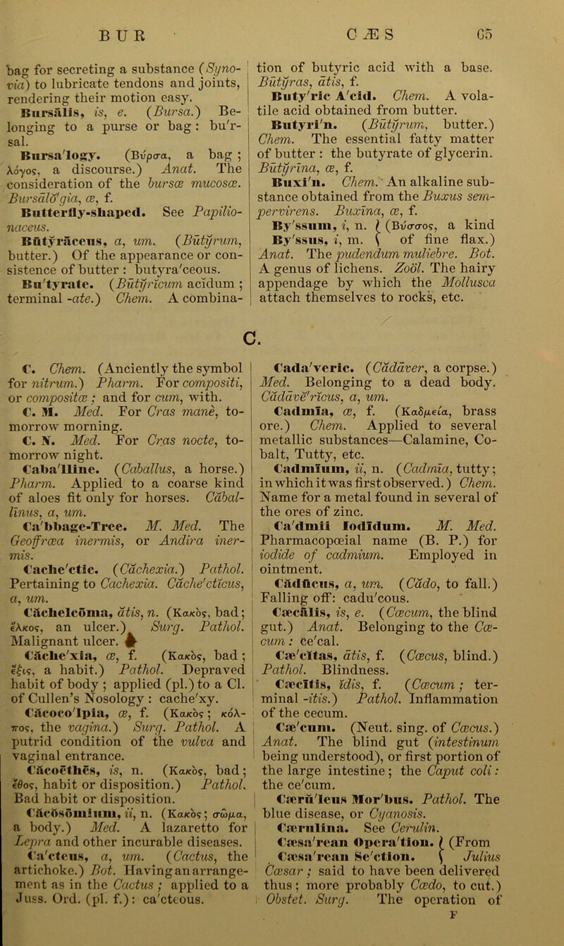 bag for secreting a substance (Syno- via) to lubricate tendons and joints, rendering their motion easy. BursFiUs, is, e. (Bursa.) Be- longing to a purse or bag : bu'r- sal. Bursa'logy. (Bvpcra, a bag ; Aoyos, a discourse.) Anat. The consideration of the bursae mucosae. Bursalo'gia, ce, f. Butterfly-sbaped. See Papilio- naceus. ButyiTiceus, a, um. (Butyrum, butter.) Of the appearance or con- sistence of butter : butyra'ceous. Bu'tyrate. (Butyricum acidum ; terminal -ate.) Chem. A combina- tion of butyric acid with a base. Butyras, atis, f. Buty'rie A'cid. Chem. A vola- tile acid obtained from butter. Butyri'n. (Butyrum, butter.) Chem. The essential fatty matter of butter : the butyrate of glycerin. Butyrina, ce, f. Buxi'n. Chem. An alkaline sub- stance obtained from the Buxus sem- pervirens. Buxina, ce, f. By'ssum, i, n. ) (Bvcrcros, a kind By' ssus, i, m. \ of fine flax.) Anat. The pudendum muliebre. Bot. A genus of lichens. Zool. The hairy appendage by which the Mollusca attach themselves to rocks, etc. / c. C. Chem. (Anciently the symbol for nitrum.) Pharm. For compositi, or compositce ; and for cum, with. C. M. Med. For Cras mane, to- morrow morning. C. N. Med. For Cras node, to- morrow night. Caba'lline. (Caballus, a horse.) Pharm. Applied to a coarse kind of aloes fit only for horses. Cdbal- linus, a, um. Ca bbage-Tree. M. Pled. The Geoffrcea inermis, or Andira iner- mis. Caclie'ctic. (Cachexia.) Pathol. Pertaining to Cachexia. Cache'cticus, a, um. C&clielcoma, atis, n. (Ka/co?, bad; e'A/co?, an ulcer.) Surg. Pathol. Malignant ulcer. Cftclie'xia, ce, f. (Ka/co?, bad ; a habit.) Pathol. Depraved habit of body ; applied (pi.) to a Cl. of Cullen’s Nosology : cache'xy. C&coco'lpia, ce, f. (Ka/cos; ko\- 7tos, the vagina.) Surg. Pathol. A putrid condition of the vulva and vaginal entrance. CficoethSs, is, n. (Ka/cos, bad; !0os, habit or disposition.) Pathol. Bad habit or disposition. €&ctts8miiim, ii, n. (Ka/cos; o-w/u.a, a body.) Pled. A lazaretto for Lepra and other incurable diseases. Ca'cteus, a, um. (Cactus, the artichoke.) Bot. Having an arrange- ment as in the Cactus ; applied to a Juss. Old. (pi. f.): ca'cteous. Cada'veric. (Cadaver, a corpse.) Med. Belonging to a dead body. Cdddve'ricus, a, um. Cadnifa, ce, f. (KaSjueta, brass ore.) Chem. Applied to several metallic substances—Calamine, Co- balt, Tutty, etc. Cadmium, ii, n. (Cadmia, tutty; in which it was first observed.) Chem. Name for a metal found in several of the ores of zinc. Ca'dmii fodldum. M. Med. Pharmacopoeial name (B. P.) for iodide of cadmium. Employed in ointment. Cildficiis, a, um. (Cddo, to fall.) Falling off: cadu'cous. Caecftlis, is, e. (Caecum, the blind gut.) Anat. Belonging to the Cae- cum : ce'cal. Cae'citas, atis, f. (Ccecus, blind.) Pathol. Blindness. Caecitis, idis, f. (Caecum; ter- minal -itis.) Pathol. Inflammation of the cecum. Cae'cum. (Neut. sing, of Ccecus.) Anat. The blind gut (intestinum being understood), or first portion of the large intestine ; the Caput coli: the ce'cum. Cacrii'leiis IWor'bws. Pathol. The blue disease, or Cyanosis. Cairulina. See Gerulin. Caesa'rean Opcra'tiou. \ (From Cacsa'reau Se ction. \ Julius Ccesar; said to have been delivered thus; more probably Ccedo, to cut.) Obstet. Surg. The operation of F