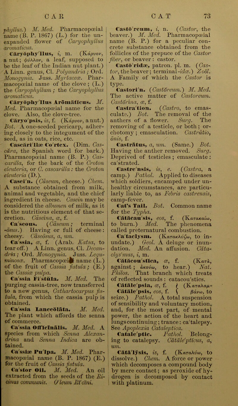 phylhis.) M. Med. Pharmacopoeial name (B. P. 1867) (L.) for the un- expanded flower of Caryophyllus aromaticus. Cilryftitliy'llus, i, m. (Kapvor, a nut; <pv\\ov, a leaf, supposed to be the leaf of the Indian nut plant.) A Linn, genus, Cl. Polyandria ; Ord. Monogynia. Juss. Myrtacece. Phar- macopoeial name of the clove ; (L.) the Caryophyllum : the Caryophyllus aromaticus. Cilryftpliy'llus A io malleus. M. Med. Pharmacopoeial name for the clove. Also, the clove-tree. CSryo'psis, is, f. (Kapvoe, a nut.) Pot. A one-seeded pericarp, adher- ing closely to the integument of the seed, as in oats, rice, etc. Cascari'lla; Co'rtex. (Dim. Cas- cai'a, the Spanish woi’d for bark.) Pharmacopoeial name (B. P.) Cas- carilla, for the bark of the Croton eleuteria, or C. cascarilla: the Croton eleuteria (D.). Casei'n. (Caseum, cheese.) Chem. A substance obtained from milk, animal and vegetable, and the chief ingredient in cheese. Casein may be considered the albumen of milk, as it is the nutritious element of that se- cretion. Gdseina, ce, f. Ca'seous. (Caseum; terminal -dsus.) Having or full of cheese: cheesy. Caseosus, a, um. Cassia, ce, f. (Arab. ICatsa, to tear off.) A Linn, genus, Cl. Decan- dria; Ord. Monogynia. Juss. Legu- minosce. Pharmacopoeial name (L.) of the fruit of Cassia fistula; (E.) the Cassice pulpa. Ca ssia Fistula. M. Med. The purging cassia-tree, now transferred to a new genus, Cathartocarpus fis- tula, from which the cassia pulp is obtained. Ca'ssia Lauccdlata. M. Med. The plant which affords the senna of commerce. Ca'ssia Officinalis. M. Med. A species from which Senna Alexan- dria and Senna Indica are ob- tained. Ca'ssia? Pu'lpa. M. Med. Phar- macopoeial name (B. P. 1867) (E.) for the fruit of Cassia fistula. Ca'stor Oil. M. Med. An oil extracted from the seeds of the Ri- cinus communis. O’leum Rl’cini. Castb'rcum, i, n. (Castor, the beaver.) M. Med. Pharmacopoeial name (B. P.) for a peculiar con- crete substance obtained from the follicles of the prepuce of the Castor fiber, or beaver : castor. Castft'ridae, patron, pi. m. (Cas- tor, the beaver; terminal -idee.) Zool. A Family of which the Castor is type. Casiori'n. (Castdreum.) M. Med. The active matter of Castoreum. Castorina, a;, f. Castra'tion. (Castro, to emas- culate.) Bot. The removal of the anthers of a flower. Surg. The removing of a testicle, or both ; or- chotomy ; emasculation. Castratio, onis, f. Castriltus, a, um. (Same.) Bot. Having the anther removed. Surg. Deprived of testicles ; emasculate : ca'strated. Castre'nsis, is, e. (Castra, a camp.) Pathol. Applied to diseases which soldiers, encamped under un- healthy circumstances, are particu- larly liable to, as Febris castrensis, camp-fever. Cat’s Tail. Bot. Common name for the Typha. Ciltilcau'sis, eos, f. (IvttTttKtxuo, to burn.) Med. The phenomena called preternatural combustion. Ca'taclysm. (Kara/cXu^o, to in- undate.) Geol. dation. Med. An affusion clys’mus, i, m. Csitilcou'stfca, ce, f. (Kara, against ; axovoj, to hear.) Nat. Philos. That branch which treats of reflected sounds : catacou'stics. CfttiUe'psia, Ce, f. { (KaraXa/A- Ciitiile'psis, eos, f. ( 0dh'u>, to seize.) Pathol. A total suspension of sensibility and voluntary motion, and, for the most part, of mental power, the action of the heart and lungs continuing; trance: ca'talepsy. See Apoplexia Cataleptica. Catale'ptic. Pathol. Belong- ing to catalepsy. Catale1pticus, a, um. C&t&'lysis, is, f. (KaraAvo), to dissolve.) Cliem. A force or power which decomposes a compound body by mere contact; as peroxide of hy- drogen is decomposed by contact with platinum. A deluge or inun- Cdta-