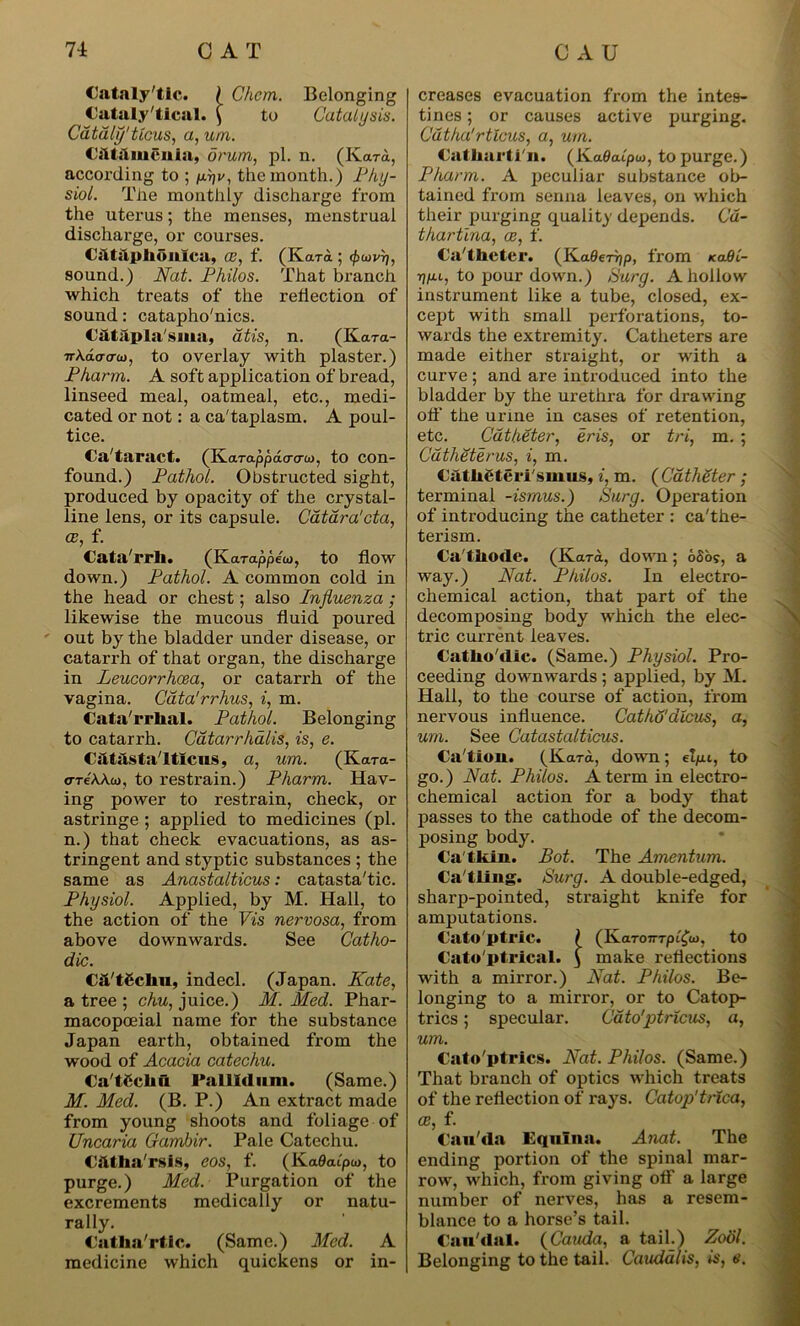 Cataly'tic. ) Chcm. Belonging Cataly'tical. ( to Catalysis. Ctittily'ticus, a, urn. Ciitiiiucnia, drum, pi. n. (Kara, according to ; ^v, the month.) Phy- siol. The monthly discharge from the uterus; the menses, menstrual discharge, or courses. CittilpllOHlCa, CC, f. (Kara ; (frcovrj, sound.) Nat. Philos. That branch which treats of the reflection of sound: catapho'nics. Cataplasma, titis, n. (Kara- 7rA.dcrcra>, to overlay with plaster.) Pharm. A soft application of bread, linseed meal, oatmeal, etc., medi- cated or not: a ca'taplasm. A poul- tice. Ca'taract. (Ivarappacrcra>, to con- found.) Pathol. Obstructed sight, produced by opacity of the crystal- line lens, or its capsule. Ctittira'cta, a;, f. Cata'rrll. (Karappew, to flow down.) Pathol. A common cold in the head or chest; also Influenza ; likewise the mucous fluid poured out by the bladder under disease, or catarrh of that organ, the discharge in Leucorrhcea, or catarrh of the vagina. Gtita'rrhus, i, m. Cata'rrlial. Pathol. Belonging to catarrh. Ctitarrhalis, is, e. Catasta'ltlcus, a, um. (Kara- creAAto, to restrain.) Pharm. Hav- ing power to restrain, check, or astringe ; applied to medicines (pi. n.) that check evacuations, as as- tringent and styptic substances ; the same as Anastalticus: catasta'tic. Physiol. Applied, by M. Hall, to the action of the Vis nervosa, from above downwards. See Catho- dic. C&'tScIiu, indecl. (Japan. Kate, a tree ; chu, juice.) M. Med. Phar- macopoeial name for the substance Japan earth, obtained from the wood of Acacia catechu. Ca'tficlm l’allld um. (Same.) M. Med. (B. P.) An extract made from young shoots and foliage of Uncaria Gambir. Pale Catechu. Cfttha'rsis, eos, f. (Kafcu'pw, to purge.) Med. Purgation of the excrements medically or natu- rally. Catlia'rtic. (Same.) Med. A medicine which quickens or in- creases evacuation from the intes- tines ; or causes active purging. Ctitha'rticus, a, um. Catliarti'n. (Ka0cupu>, to purge.) Pharm. A peculiar substance ob- tained from senna leaves, on which their purging quality depends. Cti- thartina, ce, f. Ca'thcter. (K.aflerrjp, from koBL- rjpu, to pour down.) Burg. A hollow instrument like a tube, closed, ex- cept with small perforations, to- wards the extremity. Catheters are made either straight, or with a curve; and are introduced into the bladder by the urethra for drawing off the urine in cases of retention, etc. Catheter, eris, or tri, m. ; Ctitheterus, i, m. Catlieteri'smus, i, m. (CtithSter ; terminal -ismus.) Surg. Operation of introducing the catheter : ca'the- terism. Ca'tliode. (Kara, down; 6Sog, a way.) Nat. Philos. In electro- chemical action, that part of the decomposing body which the elec- tric current leaves. Catlio'dic. (Same.) Physiol. Pro- ceeding downwards ; applied, by M. Hall, to the course of action, from nervous influence. Cathti'dlcus, a, um. See Catastalticus. Cation. (Kara, down; e!pu, to go.) Nat. Philos. A term in electro- chemical action for a body that passes to the cathode of the decom- posing body. Ca tkin. Pot. The Amentum. Ca'tling. Surg. A double-edged, sharp-pointed, straight knife for amputations. Cato ptric. ( (IvaT07rTpi£u>, to Cato'ptrical. ) make reflections with a mirror.) Nat. Philos. Be- longing to a mirror, or to Catop- trics ; specular. Ctito'ptricus, a, um. Cato'ptrics. Nat. Philos. (Same.) That branch of optics which treats of the reflection of rays. Catop'trica, as, f. Cauda Equina. Anat. The ending portion of the spinal mar- row, which, from giving off a large number of nerves, has a resem- blance to a horse’s tail. Can'dal. (Cauda, a tail.) Zotil. Belonging to the tail. Caudalis, is, e.