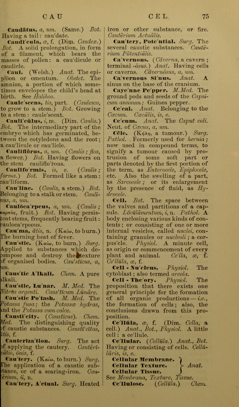 CAU Caudatus, a, um. (Same.) Bot. Having a tail: cau'date. Caudl'cula, ce, f. (Dim. Caudex.) Bot. A solid prolongation, in form of a filament, which bears the masses of pollen: a cau'dicule or caudicle. Caul. (Welsh.) Anat. The epi- ploon or omentum. Obstet. The amnion, a portion of which some- times envelopes the child’s head at birth. See Halihoo. Caule'scens, tis, part. (Caulesco, to grow to a stem.) Bot. Growing to a stem : caule'scent. Caull'culus, i, m. (Dim. Caidis.) Bot. The intermediary part of the embryo which has germinated, be- tween the cotyledons and the root; a cau'licule or cau'licle. Caulifloras, a, um. (Caulis; flos, a flower.) Bot. Having flowers on the stem cauliflo'fous. Caullfb'rmis, is, e. (Caulis; forma.) Bot. Formed like a stem : cau'liform. Cau'line. (Caulis, a stem.) Bot. Belonging to a stalk or stem. Cauli- nus, a, um. Caulttca'rpeus, a, um. (Caulis ; tapiros, fruit.) Bot. Having persis- tent stems, frequently bearing fruit: cauloca'rpeous. Cau'nia, atis, n. (Kauo, to burn.) The burning heat of fever. Can'stic. (Katw, to burn.) Surg. Applied to substances which de- compose and destroy the^texture )f organised bodies. Cau'sticus, a, um. Caus'tic Alkali. Chem. A pure dkali. Can'stic, Lu'nar. M. Med. The Nitres argenti. Caus’ticum Lunare. Cau'stic Po'tasli. M. Med. The Potassa fusa; the Potassce hydras, md the Potassa cum calce. Causti'city. (Causttcus). Chem. Med. The distinguishing quality >f caustic substances. Causti'citas, itis, f. Cauteriza'tion. Surg. The act )f applying the cautery. Cauteri- zdtio, dnis, f. Cau'tery. (Katw, to burn.) Surg. The application of a caustic sub- dance, or of a searing-iron. Cau- ■erium, ii, n. Cau'tery, A'ctual. Surg. Heated CEL 75 iron or other substance, or fire. Cauterium Actualis. Cau'tery, Pote'ntlal. Surg. The several caustic substances. Caute- rium Potentidlis. Ca'veraous. (Caverna, a cavern ; terminal -dsus.) Anat. Having cells or caverns. Cavernosus, a, um. Ca'vernons Si'iius. Anat. A sinus on the base of the cranium. Caye'nne Pe'pper. M.Med. The ground pods and seeds of the Capsi- cum annuum; Guinea pepper. Ce'cal. Anat. Belonging to the Caecum. Ccecalis, is, e. Ce'cnm. Anat. The Caput coli. Neut. of Ccecus, a, um. Cele. (KijA.77, a tumour.) Surg. Pathol. Formerly used for hernia ; now used in compound terms, to signify a tumour caused by pro- trusion of some soft part or parts denoted by the first portion of the term, as Enterocele, Epiplocele, etc. Also the swelling of a part, as Sarcocele; or its enlargement by the presence of fluid, as Hy- drocele. Cell. Bot. The space between the valves and partitions of a cap- sule. Ldculamentum, i, n. Pathol. A body enclosing various kinds of con- tents ; or consisting of one or more internal vesicles, called nuclei, con- taining granules or nucleoli; a cor- pus'cle. Physiol. A minute cell, as origin or commencement of every plant and animal. Ce'lla, ce, f. Ce'llula, ce, f. Cell - Nu'cleus. Physiol. The cytoblast; also termed areola. Cell - Tlic'ory. Physiol. The proposition that there exists one general principle for the formation of all organic productions — i.e., the formation of cells; also, the conclusions drawn from this pro- position. Ce'llula, ce, f. (Dim. Celia, a cell.) Anat., Bot., Physiol. A little cell: a ce'llule. Ce'llular. (Cellula.) Anat., Bot. Having or consisting of cells. Cellu- laris, is, e. Cellular Membrane. ) Cellular Texture. > Anat. Cellular Tissue. J See Membrana, Texture, Tissue. Ce'llulose. (Cellula.) Chem.