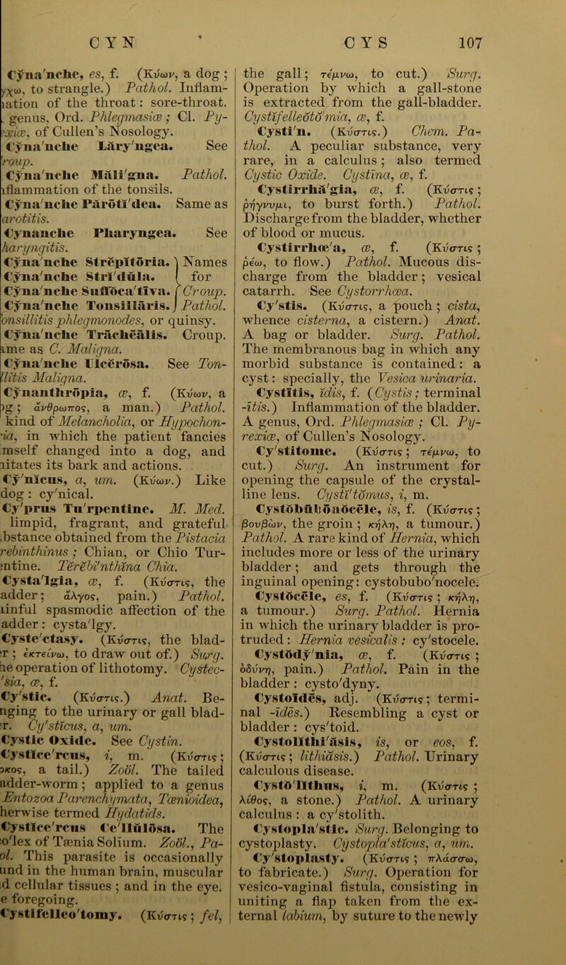 Cyna'nehc, es, f. (KuW, a dog ; yxw. to strangle.) Pathol. Infiam- lation of the throat: sore-throat. . genus, Ord. Phlegmasice; Cl. Py- ;xice, of Cullen’s Nosology. Cyna'nclie Lftry'ngea. See 'roup. Cyna'nclie MiUi'gna. Pathol. lflammation of the tonsils. Cyna'nclie P&rotl'dea. Same as arotitis. Cynanclie Pliaryngea. See haryngitis. Cyna'nclie Strfpitoria. ] Names Cyna'nclie Strl'dula. I for Cyna'nclie Suffttca'tlva. f Croup. Cyna'nclie Tonsillaris. J Pathol, ’onsillitis phlegmonodes, or quinsy. Cyna'nclie Tracliealis. Croup, ime as C. Maligna. Cyna'nclie UlcSrosa. See Ton- 11 it is Maligna. Cynanthropia, ce, f. (Kuwv, a )g; avOpu770?, a man.) Pathol. kind of Melancholia, or Hypochon- 'ia, in which the patient fancies mself changed into a dog, and aitates its bark and actions. Cy'nlcns, a, um. (Kuwv.) Like dog : cy'nical. Cy'prns Tu rpentine. M. Med. limpid, fragrant, and grateful .bstance obtained from the Pistacia rebinthinus; Chian, or Chio Tur- ;ntine. Terebi'nthina Chia. Cysta'lgia, ce, f. (Kuans, the adder; a\y os, pain.) Pathol. linful spasmodic affection of the adder: cysta'lgy. Cyste'ctasy. (Kvm, the blad- t ; e/creti/oj, to draw out of.) Surg. tie operation of lithotomy. Cystec- 'sia, ce, f. Cy'stic. (Kuans.) Anat. Be- nging to the urinary or gall blad- t. Cy'sticus, a, um. Cystic Oxide. See Cystin. Cystlce'rcns, i, m. (KvVtis ; a™?, a tail.) Zool. The tailed adder-worm; applied to a genus Entozoa Parenchymata, Tcenioidea, herwise termed Hydatids. Cystlce'rcns Cc'llulosa. The o'lex of Taenia Solium. Zool., Pa- ol. This parasite is occasionally und in the human brain, muscular d cellular tissues ; and in the eye. e foregoing. t ystitclleo'tomy. (Kv<tti5 ; fel, the gall; ripvu>, to cut.) Surg. Operation by which a gall-stone is extracted from the gall-bladder. Cystifelledtd'mia, ce, f. Cysti'n. (Kucm5.) Chem. Pa- thol. A peculiar substance, very rare, in a calculus; also termed Cystic Oxide. Cystina, ce, f. Cysts rrliil'gia, ce, f. (Kvo-m; priywpi, to burst forth.) Pathol. Discharge from the bladder, whether of blood or mucus. Cystirrlice'a, ce, f. (Kvo-ns; pew, to flow.) Pathol. Mucous dis- charge from the bladder; vesical catarrh. See Cystorrhcea. Cy'stis. (Kv<rm, a pouch ; cista, whence cisterna, a cistern.) Anat. A bag or bladder. Surg. Pathol. The membranous bag in which any morbid substance is contained: a cyst: specially, the Vesica urinaria. Cystitis, iclis, f. (Cystis; terminal -itis.) Inflammation of the bladder. A genus, Ord. Phlegmasia;; Cl. Py- rexice, of Cullen’s Nosology. Cy'stitome. (Ku<rris ; repvw, to cut.) Surg. An instrument for opening the capsule of the crystal- line lens. CystX'tumus, i, m. CystblbulJOHftcele, is, f. (Kuans ; £ou0wv, the groin ; ktjAtj, a tumour.) Pathol. A rare kind of Hernia, which includes more or less of the urinary bladder; and gets through the inguinal opening: cystobubo'nocele. Cystbcele, es, f. (Kuans ; a tumour.) Surg. Pathol. Hernia in which the urinary bladder is pro- truded : Hernia vesicalis : cy'stocele. Cystftdy'nia, Ce, f. (Kuans ; oSvvr), pain.) Pathol. Pain in the bladder : cysto'dyny. Cystoldes, adj. (Kuans ; termi- nal -ides.) Resembling a cyst or bladder: cys'toid. Cystolltlii'&sis, is, or eos, f. (Kuans ; lithiasis.) Pathol. Urinary calculous disease. Cystft'lltlms, i, m. (Kuans ; At0os, a stone.) Pathol. A urinary calculus : a cy'stolith. Cystopla'stic. Surg. Belonging to cystoplasty. Cystop/a1sticus, a, um. Cy'stoplasty. (Kuans ; 7rAaaaw, to fabricate.) Surg. Operation for vesico-vaginal fistula, consisting in uniting a flap taken from the ex- ternal labium, by suture to the newly