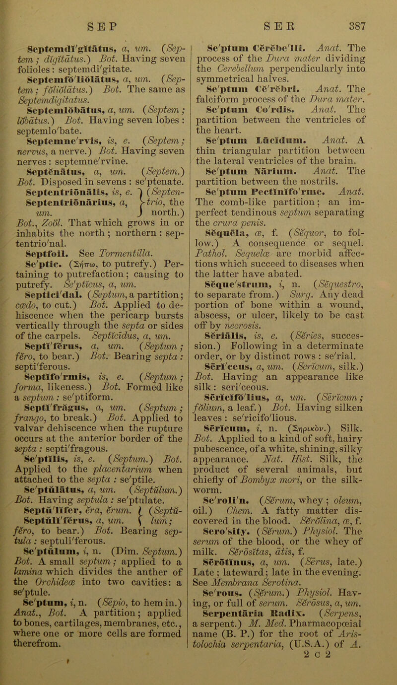 Septcmdl'gltAtus, a, um. (Sep- tem ; digitatus.) Bot. Having seven folioles: septemdi'gitate. Septemfb'liftlatus, a, um. (Sep- tem; folioldtus.) Bot. The same as Septemdigitatus. ScptemlftbAtus, a, um. {Septem; Itfbatus.) Bot. Having seven lobes : septemlo'bate. Septemne'rvis, is, e. (Septem; nervus, a nerve.) Bot. Having seven nerves: septemne'rvine. SepttnAllis, a, um. {Septem.) Bot. Disposed in sevens : se'ptenate. SeptentrionAlis, is, e. ) (Septen- SeptentrionArius, a, Wno, the um. j north.) Bot., Zool. That which grows in or inhabits the north ; northern : sep- tentrio'nal. Septfoil. See Tormentilla. Se'ptic. (217770), to putrefy.) Per- taining to putrefaction ; causing to putrefy. Se'pticus, a, um. Septici'dal. {Septum, a partition; coedo, to cut.) Bot. Applied to de- hiscence when the pericarp bursts vertically through the septa or sides of the carpels. Septicidus, a, um. SeptI'ferns, a, um. {Septum; fgro, to bear.) Bot. Bearing septa : septi'ferous. Septlfo'rmis, is, e. {Septum; forma, likeness.) Bot. Formed like a septum: se'ptiform. Septl'fr&gus, a, um. {Septum; frango, to break.) Bot. Applied to valvar dehiscence when the rupture occurs at the anterior border of the septa: septi'fragous. Se'ptllis, is, e. {Septum.) Bot. Applied to the placentarium when attached to the septa : se'ptile. Se'ptulAtus, a, um. {Septulum.) Bot. Having septula : se'ptulate. Septu'llfer, era, Srum. ) {Septu- SeptulI'fSrus, a, um. $ lurn; fSro, to bear.) Bot. Bearing sep- tula : septuli'ferous. Se'ptulum, i, n. (Dim. Septum.) Bot. A small septum; applied to a lamina which divides the anther of the Orchidece into two cavities: a se'ptule. Se pt iiiii, i, n. (Sepio, to hem in.) Anat., Bot. A partition; applied to bones, cartilages, membranes, etc., where one or more cells are formed therefrom. Sc'ptum CfirCbe'lli. Anat. The process of the Dura mater dividing the Cerebellum perpendicularly into symmetrical halves. Se'ptum €e'rebri. Anat. The falciform process of the Dura mater. Se'ptum Co'rclis. Anat. The partition between the ventricles of the heart. Se'ptum Luclilum. Anat. A thin triangular partition between the lateral ventricles of the brain. Se'ptum NArium. Anat. The partition between the nostrils. Se'ptum Pectinlfo'rmc. Anat. The comb-like partition; an im- perfect tendinous septum separating the crura penis. Sfquela, ce, f. {Sequor, to fol- low.) A consequence or sequel. Pathol. Sequelae are morbid affec- tions which succeed to diseases when the latter have abated. Seque'strum, i, n. {Sequestro, to separate from.) Surg. Any dead portion of bone within a wound, abscess, or ulcer, likely to be cast off by necrosis. SeriAlis, is, e. {Series, succes- sion.) Following in a determinate order, or by distinct rows : se'rial. Seri'ceus, a, um. {Sertcum, silk.) Bot. Having an appearance like silk: seri'ceous. Serlcifb'lius, a, um. {Sericum; folium, a leaf.) Bot. Having silken leaves : se'ricifo'lious. Sericum, i, n. (S^ufov.) Silk. Bot. Applied to a kind of soft, hairy pubescence, of a white, shining, silky appearance. Nat. Hist. Silk, the product of several animals, but chiefly of Bombyx mori, or the silk- worm. Se'roli'n. {Serum, whey ; oleum, oil.) Chem. A fatty matter dis- covered in the blood. SerOlina, ce, f. Scro'sity. {SSrum.) Physiol. The serum of the blood, or the whey of milk. SSrosttas, at is, f. Serotinus, a, um. {Serus, late.) Late ; lateward; late in the evening. See Membrana Serotina. Se'rous. {Serum.) Physiol. Hav- ing, or full of serum. Serosus, a, um. Serpentarla Radix. (Serpens, a serpent.) M. Med. Pharmacopoeial name (B. P.) for the root of Am- tolochia serpentaria, (U.S.A.) of A. 2 G 2
