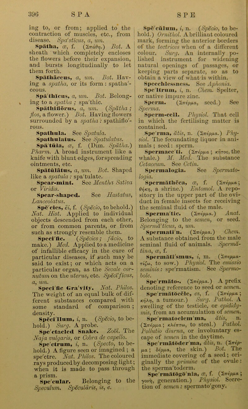 ing to, or from; applied to the SpC'cttlnm, i, n. (SpScio, to be- contraction of muscles, etc., from hold.) Ornithol. A brilliant coloured disease. Spa'stlcus, a, um. mark, forming the anterior borders Sp;Uha, ce, f. ('S.nddr}.) Bot. A of the tectrices when of a different sheath which completely encloses colour. Burg. An internally po- the flowers before their expansion, lished instrument for widening and bursts longitudinally to let natural openings of passages, or them forth. keeping parts separate, so as to SpiUhaccus, a, um. Bot. Hav- obtain a view of what is within. ing a spatha, or its form : spatha'- ceous. Spu'tlilcus, a, um. Bot. Belong- , ing to a spatha ; spa'thic. Sputhillorus, a, um. (Spatha ; flos, a flower.) Bot. Having flowers surrounded by a spatha : spathiflo- rous. Spathula. See Spatula. Spilthulatus. See Spatulatus. Spa tula, oe, f. (Dim. Spatha.) Pharm. A broad instrument like a knife with blunt edges, for spreading ointments, etc. Spatulatus, a, um. Bot. Shaped like a spatula : spa'tulate. Spear-mint. See Mentha Sativa or Viridis. Spear-shaped. See Hastatus, 1 Lanceolatus. Spg'cies, ei, f. (Specio, to behold.) Nat. Mist. Applied to individual objects descended from each other, or from common parents, or from such as strongly resemble them. Speci'fic. (Species ; facio, to make.) Med. Applied to a medicine of infallible efficacy in the cure of particular diseases, if such may be said to exist; or which acts on a particular organ, as the Secale cor- nutum on the uterus, etc. Sped'ficus, a, um. Speci'fic Gra'vity. Nat. Philos. The weight of an equal bulk of dif- ferent substances compared with some standard of comparison ; density. SpCci'llum, i, n. (Specio, to be- hold.) Surg. A probe. Spe ctacled Snake. Zocil. The Naja vulgaris, or Cobra de capello. Spe'ctrum, i, n. (Specto, to be- hold.) A figure seen or imagined ; a spe'ctre. Nat. Philos. The coloured rays produced by decomposing light; when it is made to pass through a prism. Spe'cular. Belonging to the Speculum. Speculdris, is, e. Speechlessness. See Aphonia. Spcltrum, i, n. Chem. Spelter, or native impure zinc. Sperm. (2,7re'ppa, seed.) See Sperma. Sperm-cell. Physiol. That cell in which the fertilising matter is contained. Spe'rma, dtis, n. (Sn-ep/xa.) Phy- siol. The fecundating liquor in ani- mals ; seed: sperm. Spermace'tl. (Sn-ep/xa ; k^tos, the whale.) M. Med. The substance C'etaceum. See Cetin. Spcrmalogia. See Sperniato- logia. Spermfitheea, cb, f. (2-e'p/j.a; 07J/C7}, a shrine.) Entomol. A repo- sitory in the upper part of the ovi- duct in female insects for receiving the seminal fluid of the male. Sperma'tic. ^nepixa..) Anat. Belonging to the semen, or seed. Sperma'tlcus, a, um. Spermati'n. (2n-epp.a.) Chem. A substance obtained from the male seminal fluid of animals. Sperma- tina, ce, f. Spermslti'smns, i, m. (2-ep/j.a- rt£u>, to sow.) Physiol. The emissio seminis : spe'rmatism. See Spermo- bole. Spe'rmslto-. (Unep/ia..) A prefix denoting reference to seed or semen. Spe'rmfltDcele, es, f. (1-repp.a ; KrjXr), a tumour.) Surg. Pathol. A swelling of the testicle, or epididy- mis, from an accumulation of semen. SpcTmatoclem'ma, dtis, n. (2irepp.a ; icXenTU), to Steal.) Pathol. Pollutio diurna, or involuntary es- cape of semen in the daytime. Spe'rmatoder'ma, dtis, n. (1-n-ep- pux.; 8fpp.a, the skin.) Bot. fhe immediate covering of a seed; ori- ginally the jjrimine of the ovule: the sperma'toderm. Spe'rmfttdgO'iua, a?, f. (Inepp-a ; yovr}, generation.) Physiol. Secre- tion of semen: spermato'gony.