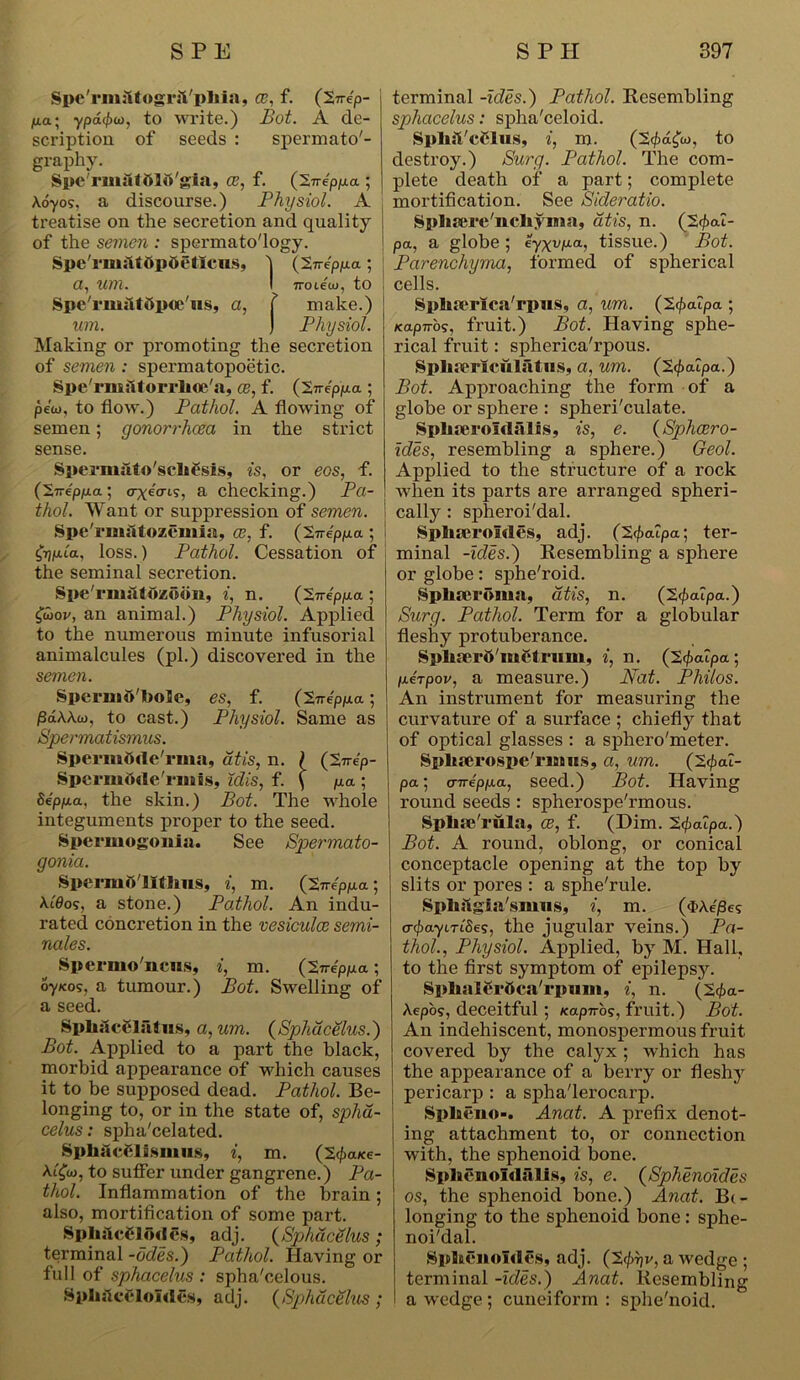 Spe'rmiitogrii'pliia, ce, f. (Xnep- pa.; ypa.(f>a), to write.) Bot. A de- scription of seeds : spermato'- graphy. Spe'rinilt ftlft'gia, CE, f. (2neppa ; Aoyo?. a discourse.) Physiol. A treatise on the secretion and quality of the semen : spermato'logy. Spe'riujltdpOetleus, ) (2,neppa; Cl, Um. I Troieio, to SpeTjunltdpoens, a, f make.) um. ) Physiol. Making or promoting the secretion of semen : spermatopoetic. Spe'rmiitorrlioe'a, ce, f. (Zneppa ; pe'co, to flow.) Pathol. A flowing of semen; gonorrhoea in the strict sense. Spermato'schfsis, is, or eos, f. (27-eppa; crxecrts, a checking.) Pa- thol. Want or suppression of semen. Spe'rmatozeinia, ce, f. (3,neppa; 0)joua, loss.) Pathol. Cessation of the seminal secretion. Spe'rm&tozodn, i, n. (ineppa ; £wov, an animal.) Physiol. Applied to the numerous minute infusorial animalcules (pi.) discovered in the semen. Spermft'bole, es, f. (2treppa; /3aAAw, to cast.) Physiol. Same as Spermatismus. Speraiftde'rma, at is, n. ( (Xnep- SpermOdeTniiis, idis, f. \ pa; Seppa, the skin.) Bot. The whole integuments proper to the seed. Spermogonia. See Spermato- gonia. Spennfi'litlins, i, m. (Zneppa; A.c0os, a stone.) Pathol. An indu- rated concretion in the vesiculce semi- nales. Spernio'ncns, i, m. (l.-rreppa; oyiios, a tumour.) Bot. Swelling of a seed. Spliacflatns, a,um. (Sphacelus.) Bot. Applied to a part the black, morbid appearance of which causes it to be supposed dead. Pathol. Be- longing to, or in the state of, spha- celus : spha'celated. Sphacftlisiuus, i, m. (2 <PaKe- A.i£o, to suffer under gangrene.) Pa- thol. Inflammation of the brain; also, mortification of some part. SpIi;leCJodes, adj. (Sphacelus ; terminal -odes.) Pathol. Having or full of sphacelus : spha'celous. Splislcelolden, adj. (Sphacelus ; terminal -ides.) Pathol. Resembling sphacelus: spha'celoid. SpM'cSlug, i, m. (2<f>d£«, to destroy.) Surg. Pathol. The com- plete death of a part; complete mortification. See Sideratio. Sphsere'nchyma, atis, n. (2</>eu- pa, a globe ; eyxvpa, tissue.) Bot. Parenchyma, formed of spherical cells. Sphjerica'rpus, a, um. ('Zfyalpa ; Kapn'os, fruit.) Bot. Having sphe- rical fruit: spherica'rpous. Spbaericulatns, a, um. (2</>oupa.) Bot. Approaching the form of a globe or sphere : spheri'culate. Splneroidalis, is, e. (Sphcero- ides, resembling a sphere.) Geol. Applied to the structure of a rock when its parts are arranged spheri- cally : spheroi'dal. Splueroldes, adj. (2fyalpa; ter- minal -ides.) Resembling a sphere or globe: sphe'roid. Spliseroma, atis, n. (2<£cupa.) Surg. Pathol. Term for a globular fleshy protuberance. Splicerdmel rum, i, n. (2</>cupa ; perpov, a measure.) Nat. Philos. An instrument for measuring the curvature of a surface ; chiefly that of optical glasses : a sphero'meter. Spltterospe'risBus, a, um. (2$ai- pa; cnreppa, seed.) Bot. Having round seeds : spherospe'rmous. Sphafrula, ce, f. (Dim. 2<f>atpa.) Bot. A round, oblong, or conical conceptacle opening at the top by slits or pores : a sphe'rule. Spliitgiasinns, i, m. (<l>Ae/Ses tr^ayiTtfies, the jugular veins.) Pa- thol., Physiol. Applied, by M. Hall, to the first symptom of epilepsy. SplialCrOca'rpiim, i, n. (2</>a- Aepos, deceitful; Kapnos, fruit.) Bot. An indehiscent, monospermous fruit covered by the calyx ; which has the appearance of a berry or fleshy pericarp : a spha'lerocarp. Spheno-. Anat. A prefix denot- ing attachment to, or connection with, the sphenoid bone. Splienoldiilis, is, e. (Sphenoides os, the sphenoid bone.) Anat. Be- longing to the sphenoid bone: sphe- noi'dal. Sphenoides, adj. (2</>r)v> a wedge ; terminal -ides.) Anat. Resembling a wedge ; cuneiform : sphe'noid.