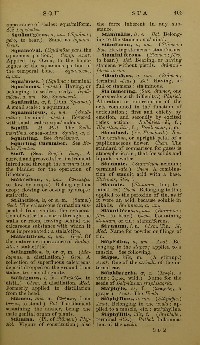 appearance of scales : squa'miform. See Lepidoides. Squ&ml'ggrus, a, urn. (Squama ; gSro, to bear.) Same as Squami- fents. Squamo'sal. (Squamosa pars, the squamous portion.) Comp. Anat. Applied, by Owen, to the homo- logues of the squamous portion of the temporal bone. Squdmosus, a, um. Squa'mosc. 1 (Squama ; terminal Squa'mous. ) -dsus.) Having, or belonging to scales; scaly. Squd- mosus, a, um. See Squamosal. Sqiiiimula, ce, f. (Dim. Squama.) A small scale : a squamule. Squamulosns, a, um. (Squd- mula; terminal -osus.) Covered with small scales : squa'mulous. Squill. M. Med. The Scilla maritima, or sea-onion. Squilla, ce, f. Squinting. See Sti'abismus. Squirting Cucumber. See Ec- balii Fructus. Staff. (Sax. Stcef.) Surg. A curved and grooved steel instrument introduced through the urethra into the bladder for the operation of lithotomy. Stala'ctlcus, a, um. (SmAa^w, to flow by drops.) Belonging to a drop ; flowing or oozing by drops : stala'ctic. Stalactites, is, or ee, m. (Same.) Geol. The calcareous formation sus- pended from vaults; the evapora- tion of water that oozes through the walls or roofs, leaving behind the calcareous substance with which it was impregnated : a stala'ctite. Stiilactitlcus, a, um. Geol. Of the nature or appearance of Stalac- tites : stalacti'tic. Stalagmites, is, or ce, m. (Sta- lagmus, a distillation.) Geol. A collection of superfluous calcareous deposit dropped on the ground from stalactites: a stala'gmite. Stnla'gmus, i, in. (2raA.a£u>, to distil.) Chem. A distillation. Med. Formerly applied to distillation from the head. Stamen, inis, n. (2n}/u.wv, from larrjixL, to stand.) Bot. The filament sustaining the anther, being the male genital organ of plants. Stamina. (PI. of Stamen.) Phy- siol. Vigour of constitution ; also 1 the force inherent in any sub- stance. Stamlnalis, is, e. Bot. Belong- ing to the stamen : sta'minal. St ami'nous, a, um. (Stamen.) Bot. Having stamens : stami'neous. Stamfni'ferous. (Stamen; fero, to bear.) Bot. Bearing, or having stamens, without pistils. StaminV- ferus, a, um. Stamlnosns, a, um. (Stamen ; terminal -osus.) Bot. Having, or full of stamens : sta'minous. Sta mmering. (Sax. Stamor, one who speaks with difficulty.) Physiol. Alteration or interruption of the acts combined in the function of articulation ; first and chiefly by emotion, and secondly by excited reflex action. Balbuties, ei, f. ; Blae'sitas, atis, f. ; Pselli'smus, i, m. Sta'ndard. (Fr. Etendard.) Bot. The vex ilium, or upright petal of a papilionaceous flower. Chem. The standard of comparison for gases is atmospheric air ; that for solids and liquids is water. Sta'nnate. (Stannicum acldum ; terminal -ate.) Chem. A combina- tion of stannic acid with a base. Sta'nnas, atis, f. Sta'miic. (Stannum, tin ; ter- minal -ic.) Chem. Belonging to tin ; applied to the peroxide of tin, as if it were an acid, because soluble in alkalis. Sta'nnicus, a, um. Stilmd'ferus, a, um. (Stannum; fero, to bear.) Chem. Containing stannum, or tin : stanniferous. Sta'nnuni, i, n. Chem. Tin. M. Med. Name for powder or filings of tin. StapS'dins, a, um. Anat. Be- longing to the stapes; applied to a muscle. See following. Stapes, edis, m. (A stirrup.) Anat. One of the ossicula of the in- ternal ear. Stjlpliisa'gria, ce, f. (2ra</ns, a vine; aypto?, wild.) Name for the seeds of Delphinium staphisagria. Stsl'pltyle, es, f. (£Ta.<f)v\i), a grape.) Anat. The Uvula. Stilphyllniiis, a, um. (Stuphf/le.) Anat. Belonging to the uvula; ap- plied to a muscle, etc. : sta'phyline. Ststphylitfs, idis, f. (Staphyle ; terminal -itis.) Pathol. Inflamma- tion of the uvula. 2 D 2
