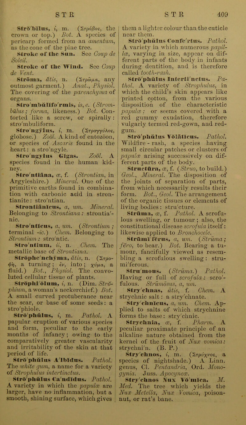 Strtt'bUus, i, m. (2rp6/3os, the crown or top.) Bot. A species of pericarp formed from an amentum, as the cone of the pine tree. Stroke of the Sun. See Coup de Soleil. Stroke of the Waiul. See Coup de Vent. Stroma, atis, n. (2rpa>p.a, any outmost garment.) Anat., Physiol. The covering of the parenchyma of organs. Stro'iubullfo'rmis, is, e. (Strom- bulus ; forma, likeness.) Bot. Con- torted like a screw, or spirally: stro'mbuliform. Stro'ugylus, i, m. (2rpoyyv'Ao?, globose.) Zool. A kind of entozoon, or species of Ascaris found in the heart: a stro'ngyle. Stro'ugylus GIgas. Zool. A species found in the human kid- ney. Stro'ntiana, ce, f. (Strontian, in Argyleshire.) Mineral. One of the primitive earths found in combina- tion with carbonic acid in stron- tianite: stro'ntian. Strontiauicus, a, um. Mineral. Belonging to Strontiana: strontia'- nic. Stro'ntlcus, a, um. (Strontium ; terminal -ic.) Chem. Belonging to Strontium: stro'ntic. Strontium, ii, n. Chem. The metallic base of Strontiana. Stroplie'uckyma, dtis, n. (2rpo- 4>v, a turning; ev, into; x*W, a fluid.) Bot., Physiol. The convo- luted cellular tissue of plants. Strbpki'blum, i, n. (Dim. Strd- phium, a woman’s neckerchief.) Bot. A small curved protuberance near the scar, or base of some seeds: a stro'phiole. Stro phulus, i, m. Pathol. A papular eruption of various species and form, peculiar to the early months of infancy; owing to the comparatively greater vascularity and irritability of the skin at that period of life. Strft'pliulus A'lbMus. Pathol. The white yum, a name for a variety of Strophulus intertinctus. Stro phulus Ga'uriirius. Pathol. A variety in which the papulae are larger, have no inflammation, but a smooth, shining surface, which gives them a lighter colour than the cuticle near them. Strd'phiilus Coufe'rtus. Pathol. A variet}r in which numerous papil- lae, varying in size, appear on dif- ferent parts of the body in infants during dentition, and is therefore called tooth-rash. Stro phulus Intcrti'udns. Pa- thol. A variety of Strophulus, in which the child’s skin appears like printed cotton, from the various disposition of the characteristic papulae : or seems covered with a red gummy exudation, therefore vulgarly termed red-gown, and red- gum. Strft'pkulus Yftlaticus. Pathol. Wildfire - rash, a species having small circular patches or clusters of papulae arising successively on dif- ferent parts of the body. Structura, ce, f. (Struo, to build.) Geol., Mineral. The disposition of the joints of separation of parts, from which necessarily results their form. Bot., Geol. The arrangement of the organic tissues or elements of living bodies: stru'eture. Struma, ce, f. Pathol. A scrofu- lous swelling, or tumour ; also, the constitutional disease scrofula itself: likewise applied to Bronchocele. StruinTfSrus, a, um. (Struma ; fero, to bear.) Bot. Bearing a tu- mour, fancifully viewed as resem- bling a scrofulous swelling: stru- mi'ferous. Stru'iuous. (Struma.) Pathol. Having or full of scrofula: scro'- fulous. Strumosus, a, um. Stry'clmas, dtis, f. Chem. A strychnic salt: a stry'chnate. Stry'cli ulcus, a, um. Chem. Ap- plied to salts of which strychnine forms the base : stry'chnic. Strychnia, ae, f. Pharm. A peculiar proximate principle of an alkaline nature obtained from the kernel of the fruit of Nux vomica: strychni'n. (B. P.) Stry'ckuos, i, m. (2rpilyvo?, a species of nightshade.) A Linn, genus, Cl. Pentandria, Ord. Mono- gynia. Juss. Apocynece. Stry'ckuos Nux Vo'mica. M. Med. The tree which yields the Nux Metella, Nux Vomica, poison- nut, or rat’s bane.