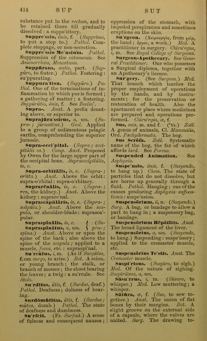 substance put in the rectum, and to be retained there till gradually dissolved : a suppo'sitory. Suppre'ssio, unis, f. (Supprlmo, to put a stop to.) Pathol. Com- plete stoppage, or non-secretion. Supprc'ssio Mc'nsiunt. Pathol. Suppression of the catamenia. See Amenorrhcea, Menostasia. Suppflrnns, antis, part. (Sup- pur o, to fester.) Pathol. Festering : su'ppurating. Suppuration. (Suppuro.) Pa- thol. One of the terminations of in- flammation bjr which pus is formed ; a gathering of matter ; a festering. Suppuratio, onis, f. See Peelin’. Supra-. Anat. A prefix denot- ing above, or superior to. Suprajura'sslcus, a, um. (Su- pra- ; jurassicus.) Geol. Applied to a group of sedimentous pelagic earths, comprehending the superior jurassic. Supra-occi'pital. (Supra; occi- pitalis os.) Comp. Anat. Proposed by Owen for the large upper part of the occipital bone. SupraoccipUdlis, is, e. Supra-orMtalis, is, e. (Supra- ; orbita.) Anat. Above the orbit: supra-o'rbital: supra-o'rbitary. SuprarSnalis, is, e. (Supra- ; ren, the kidney.) Anat. Above the kidney : suprare'nal. Suprases! pularis, is, e. (Supra- ; scapula.) Anat. Above the sca- pula, or shoulder-blade: suprasca'- pular. Supraspinalis, is, e. / (Su- Supraspinatus, a, um. ( pra- ; spina.) Anat. Above or upon the spine of the back ; also above the spine of the scapula; applied to a muscle, fossa, etc.: supraspi'nal. Su'rculus, i, m. (As if Surgulus, Lorn surgo, to arise.) Pot. A scion, or young branch ; the stalk, or branch of mosses ; the shoot bearing the leaves ; a twig : a su'rcule. See Stolo. Su'rdltas, at is, f. (Surdus, deaf.) Pathol. Deafness; dulness of hear- ing. Sunlttmiltltas, atis, f. (Surdus; mutus, dumb.) Pathol. The state of deafness and dumbness. Su'rfcit. (Fr. Surfait.) A sense of fulness and consequent nausea ; oppression of the stomach, with impeded perspiration and sometimes eruptions on the skin. Su'rgcon. (Xeipovpy'os, from \eipf the hand ; epyov, a work.) Med. A practitioner in surgery. Chiru'rgus, i, m. See lioyal College of Surgeons. Surgeon-Apothecary. See Gene- ral Practitioner. One who possesses a Surgical diploma, together with an Apothecary’s licence. Surgery. (See Surgeon.) Med. That branch which teaches the proper employment of operations by the hands, and by instru- ments ; for the preservation or restoration of health. Also the apartment or place where medicines are prepared and operations per- formed. Chiru'rgia, oe, f. Sus, suis, m. and f. (A?.) Zool. A genus of animals, Cl. Mammalia, Ord. Pachydermata. The hog. Sus Scrofa. Zool. Systematic name of the hog, the fat of which affords lard. See Porcus. Suspended Animation. See Asphyxia. Snspe'nsio, onis, f. (Suspendo, to hang up.) Chem. The state of particles that do not dissolve, but are borne up generally through a fluid. Pathol. Hanging ; one of the causes producing Asphyxia suffoca- tionis: suspension. Suspensorium, ii, n. (Suspendo.) Surg. A bag, or bandage to allow a part to hang in ; a suspensory bag, or bandage. Suspensorium Hepatitis. Anat. The broad ligament of the liver. SuspensSrius, a, um. (Suspendo, to hang.) Suspending : suspe'nsory; applied to the cremaster muscle, etc. Suspensorius Te'stis. Anat. The Cremaster muscle. Suspicions. (Suspiro, to sigh.) Med. Of the nature of sighing. Suspiriusus, a, um. Susu'rrus, i, m. (Susuro, to whisper.) Med. Low muttering; a whisper. Siitura, ee, f. (Suo, to sew to- gether.) Anat. The union of flat bones by their margins. Pot. A slight groove on the external side of a capsule, where the valves are united. Surg. The drawing to-