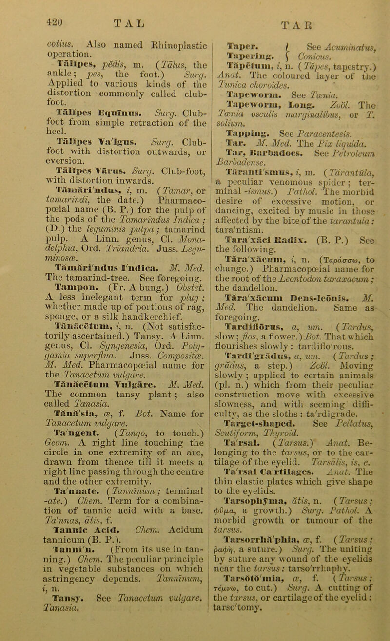 cotius. Also named Rhinoplastic operation. Talipes, pedis, m. (Talus, the ankle; pes, the foot.) Sure/. Applied to various kinds of the distortion commonly called club- foot. Talipes Eqnlnus. Burg. Club- foot from simple retraction of the heel. Talipes Va'lgus. Burg. Club- foot with distortion outwards, or eversion. Talipes Varus. Surg. Club-foot, with distortion inwards. Tiliuilri'mlus, i, m. ( Tamar, or tamarindi, the date.) Pharmaco- poeial name (B. P.) for the pulp of the pods of the Tamarindus Indica ; (D.) the leguminis pulpa ; tamarind pulp. A Linn, genus, Cl. Mona- delphia, Ord. Triandria. Juss. Legu- minosce. Tfumlriitdiis l udica. M. Med. The tamarind-tree. See foregoing. Tampon. (Pr. A bung.) Obstet. A less inelegant term for plug; whether made up of portions of rag, sponge, or a silk handkerchief. Tanacetum, i, n. (Not satisfac- torily ascertained.) Tansy. A Linn, genus, Cl. Syngenesia, Ord. Poly- gamia superflua. Juss. Composites. M. Med. Pharmacopoeial name for the Tanacetum vulgare. Tdmlcetum Vulgare. M. Med. The common tansy plant ; also called Tanasia. TftmVsia, ce, f. Bot. Name for Tanacetum vulgare. Ta'ngent. {Tango, to touch.) Geom. A right line touching the circle in one extremity of an arc, drawn from thence till it meets a right line passing through the centre and the other extremity. Ta'imatc. (Tanninum; terminal -ate.) Chem. Term for a combina- tion of tannic acid with a base. Ta'nnas, dtis. f. Tannic Acid. Chem. Acidum tannicum (B. P.). Tannin. (From its use in tan- ning.) Chem. The peculiar principle in vegetable substances on which astringency depends. Tanninum, h n- Tansy. See Tanacetum vulgare. Tanasia. Taper. ( See Acuminatus, Tapering. Conicus. T.lpelum, i, n. (Tapes, tapestry.) Anat. The coloured layer of tire l Tunica choraides. Tapeworm. See Taenia. Tapeworm, Long. Zuol. The Taenia osculis marginalibus, or T. solium. Tapping. See Paracentesis. Tar. M. Med. The Fix liquida. Tar, RarEiadoes. See Petroleum Barbadense. Taranti'smus, i, m. (Tarantula, a peculiar venomous spider; ter- minal -ismus.) Pathol. The morbid desire of excessive motion, or dancing, excited by music in those affected by the bite of the tarantula : tara'ntism. Tara'xaci Radix. (B. P.) See the following. Tara xacum, i, n. (Tapaa-am, to change.) Pharmacopoeial name for the root of the Leontodon taraxacum ; the dandelion. Taraxacum Bens-leonis. M. Med. The dandelion. Same as foregoing. Tardifiorns, a, urn. (Tardus, slow; flos, a dower.) Bot. That which flourishes slowly: tardiflo'rous. Tardi'gradus, a, um. ( Tardus ; grddus, a step.) Zool. Moving slowly ; applied to certain animals (pi. n.) which from their peculiar construction move with excessive slowness, and with seeming diffi- culty, as the sloths : ta'rdigrade. Target-shaped. See Peltatus, Scutiform, Thyroid. Ta'rsal. {Tarsus.) Anat. Be- longing to the tarsus, or to the car- tilage of the eyelid. Tarsdlis, is. e. Ta'rsal Ca'rtilages. Anat. The thin elastic plates which give shape to the eyelids. Tarsophyma, dtis, n. ( Tarsus; <l>vfjia, a growth.) Surg. Pathol. A morbid growth or tumour of the tarsus. TarsorrluVphla, oc, f. {Tarsus; pa<f)y|, a suture.) Surg. The uniting by suture any wound of the eyelids near the tarsus: tarso'rrhaphv. TarsOtd'mia, ce, f. {I'arsus; re>ro), to cut.) Surg. A cutting of the tarsus, or cartilage of the eyelid: tarso'tomy.