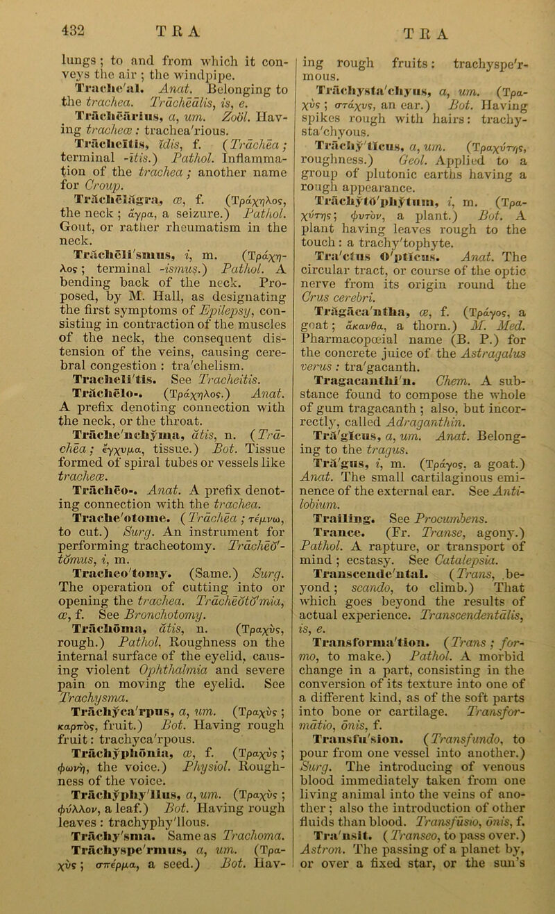 lungs ; to and from which it con- veys the air ; the windpipe. Trache'al. Anat. Belonging to the trachea. Trdchedlis, is, e. Trnclieiiraus, a, um. Zoul. Hav- ing trachece: trachca'rious. Trfielicltis, Xdis, f. (Trachea ; terminal -itis.) Pathol. Inflamma- tion of the trachea ; another name for Croup. Traeheiaga-a, ce, f. (Tpay^Xo?, the neck ; aypa, a seizure.) Pathol. Gout, or rather rheumatism in the neck. Trachcli'smus, i, m. (Tpayij- Ao?; terminal -ismus.) Pathol. A bending back of the neck. Pro- posed, by M. Hall, as designating the first symptoms of Epilepsy, con- sisting in contraction of the muscles of the neck, the consequent dis- tension of the veins, causing cere- bral congestion : tra'clielism. Tracheli'tis. See Tracheitis. Triichelo-. (Tpax^Ao?.) Anat. A prefix denoting connection with the neck, or the throat. Traclie'ncliyma, atis, n. ( Tra- chea ; eyxvua-, tissue.) Pot. Tissue formed of spiral tubes or vessels like trachece. Triiclieo-. Anat. A prefix denot- ing connection with the trachea. Trache'otume. ( Trachea ; Tefj.ru>, to cut.) Surg. An instrument for performing tracheotomy. Trachea'- tamus, i, m. Traelaeo'tomy. (Same.) Surg. The operation of cutting into or opening the trachea. Trdcheuta'mia, a:, f. See Bronchotomy. Trachoma, atis, n. (Tpa^u?, rough.) Pathol. Roughness on the internal surface of the eyelid, caus- ing violent Ophthalmia and severe pain on moving the eyelid. See Trachysma. Trachyca'rpus, a, um. (Tpoxvs; »cap7rbs, fruit.) Bot. Having rough fruit: trachyca'rpous. Trachyplionia, ce, f. (Tpaxik ; </>wvrj, the voice.) Physiol. Rough- ness of the voice. Trachyphy'Ilus, a, um. (Tpaxu? ; (fjvWov, a leaf.) Bot. Having rough leaves: trachyphy'llous. Trachy'sma. Same as Trachoma. TriieliyspeTnnts, a, um. (Tpa- xvs 5 crnepp.a, a seed.) Bot. Iiav- ing rough fruits: trachyspe'r- mous. Trfichysta'cliyus, a, um. (Tpa- xvs ; crraxvs, an ear.) Bot. Having spikes rough with hairs: trachy- sta'chyous. Trachy'tlcus, a, um. (Tpaxurr/s, roughness.) Geol. Applied to a group of plutonic earths having a rough appearance. Trachytd'phytmn, i, m. (Tpa- xeV>js; (fivTov, a plant.) Bot. A plant having leaves rough to the touch: a trachy'tophyte. Tra'ctus O'pticus. Anat. The circular tract, or course of the optic nerve from its origin round the Crus cerebri. Tragaca'ntlia, ce, f. (Tpayos, a goat; aKavOa, a thorn.) M. Med. Pharmacopoeia! name (B. P.) for the concrete juice of the Astragalus verus: tra'gacanth. Tragacantlii'n. Chem. A sub- stance found to compose the whole of gum tragacanth ; also, but incor- rectly, called Adraganthin. Tril'glcus, a, um. Anat. Belong- ing to the tragus. Tr&'gus, i, m. (Tpayos, a goat.) Anat. The small cartilaginous emi- nence of the external ear. See Anti- lobium. Trailing. See Procumbens. Trance. (Fr. Transe, agony.) Pathol. A rapture, or transport of mind ; ecstasy. See Catalepsia. Transcende/ntal. {Trans, .be- yond ; scando, to climb.) That which goes beyond the results of actual experience. Transcendentalis, is, e. Transformation. (Trans; far- mo, to make.) Pathol. A morbid change in a part, consisting in the conversion of its texture into one of a different kind, as of the soft parts into bone or cartilage. Transfor- matio, onis, f. Transfusion. (Transfundo, to pour from one vessel into another.) Surg. The introducing of venous blood immediately taken from one living animal into the veins of ano- ther ; also the introduction of other fluids than blood. Transfusio, unis, f. Tra'nsit. ( Transeo, to pass over.) Astron. The passing of a planet by, or over a fixed star, or the sun’s