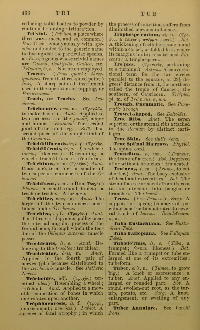 reducing solid bodies to powder by continued rubbing: tritura'tion. Tri'vial. ( Trlvium, a place where three ways meet, and so, common.) Bot. Used synonymously with spe- cific, and added to the generic name to distinguish the particular species, as Eosa, a genus whose tri vial names are Canina, Centifolia, Gallica, etc. Trivialis, is, e. Not often employed. Trocar. (Trois quart; three- quarters, from its three-sided point.) Surg. A sharp-pointed instrument used in the operation of tapping, or Paracentesis. Trocli, or Troclie. See Tro- chiscus. Trbclia'nter, eris, m. (Tpoxafa, to make haste.) Anat. Applied to two processes of the femur, major and minor. Entomol. The second joint of the hind leg. Zool. The second piece of the simple limb of the Crustacece. TrOcliitllfb'rmis, is, e. I (Tpoxb?, Trbchlfo'rmls, is, e. (a wheel; forma, likeness.) Resembling a wheel: trochi'diform ; tro'chiform. Trft'chinus, i, m. (Tpoxbs.) Anat. Chaussier’s term for the smaller of two superior eminences of the Os humeri. TrOchi'scus, i, m. (Dim. Tpoxbs.) Pharm. A small round tablet; a troch or troche. A lozenge. Trtt'cliiter, eris, m. Anat. The larger of the two eminences men- tioned under Trochinus. Tro'clilea, ce, f. (Tpoxbs.) Anat. The fibro-cartilaginous pulley near the internal angular process of the frontal bone, through which the ten- don of the Obliquus superior muscle passes. Troehlearis, is, e. Anat. Be- longing to the trochlea: tro'chlear. Troclileator, oris, m. Anat. Applied to the fourth pair of nerves (pi.) because distributed to the trochlearis muscle. See Pathetic Nerves. Trftclionles, adj. (Tpoxbs; ter- minal -ides.) Resembling a wheel; tro'choid. Anat. Applied to a mov- able connection of bones in which one rotates upon another. Trftphbneurosis, is, f. (Tpo^rj, nourishment; neurosis.) Pathol. A -species of fatal atrophy ; in which the process of nutrition suffers from diminished nervous influence. Trftphospe'rmium, U, n. (Tpo- <f)bs, a nurse; aneppa, seed.) Bot. A thickening of cellular tissue found within a carpel, or folded leaf, where its margins unite ; also termed Pla- centa : a tro'phosperm. Tro'plcs. (Tpo7rucos, pertaining to a turning.) Astron. A conversa- i tional term for the two circles parallel to the equator, at 23j de- grees’ distance from it, the northern called the tropic of Cancer; the southern, of Capricorn. Trd'pici, pi. m. of Tro'picus, a, urn. Trough, Pneumatic. See Pneu- matic Trough. Trowel-shaped. See Deltoides. True Ribs. Anat. The seven superior, or the sternal ribs attached to the sternum by distinct carti- lages. True Skin.- See Cutis Vera. True Spi'nal Ma'rrow. Physiol. The spinal cord. Truncatus, a, um. (Truncus, the trunk of a tree.) Bot. Deprived of or without branches : tru'ncated. Tru ncus, i, m. (Trunco, to cut shorter.) Anat. The body exclusive of head and extremities. Bot. The stem of a tree or shrub from its root to its division into boughs or branches. The trunk. Truss. (Fr. Trousse.) Surg. A support or spring-bandage of pe- culiar construction adapted to seve- ral kinds of hernia. BrachSHum, ii, n. Tuba Eustacliiana. See Eusta- chian Tube. Tuba Fallopiana. See Fallopian Tubes. Tubmfo'rmis, is, c. {Tuba, a trumpet; forma, likeness.) Bot. Formed like a trumpet or tube en- larged at one of its extremities: tu'beform. Tuber, Sr is, n. (Tumeo, to grow big.) A knob or excrescence: a tu'ber. Anat. Applied to any en- larged or rounded part. Bot. A round swollen-out root, as the tur- nip, potato, etc. Surg. A knot, enlargement, or swelling of any part. Tuber Annulare. See Vat'olii Pons.