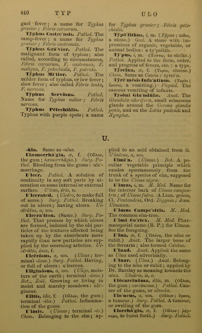 gaol fever; a name for Typhus yravior; Febris carcerum. Typhus Casti'c'usig. Pathol. The camp-fever ; a name for Typhus yravior; Febris castrensis. Typhus Gr&'vior. Pathol. The malignant form of typhus; also called, according to circumstances, Febris carcerum, F. castrensis, F. maligna, F. petechialis, F. putrida. Typhus JHTtior. Pathol. The milder form of typhus, or low fever; slow fever ; also called Febris lenta, F. nervosa. Typhus Nervosus. Pathol. Name for Typhus mitior; Febris nervosa. Typhus PCtecliialis. Pathol. Typhus with purple spots; a name U L 0 for Typhus yravior; Febris pete- chialis. TypO'lIthus, i, m. ( Tgyrus ; Ai'0o?, a stone.) Geol. A stone with iin- pi’essions of organic, vegetable, or animal bodies : a ty'polith. Ty'pus, i, m. (Tutttoj, to strike.) Pathol. Applied to the form, order, and progress of fevers, etc. : a type. Tyrelna, oe, f. (Tupos, cheese.) Chern. Same as Casein : tyrei'n. Tyr6 itiesis Ini'a'ntium. (Tvpos ; e/necrt?, a vomiting.) Physiol. The caseous vomiting of infants. Tysoui Gla'ndulie. Anat. The Glandulce odoriferce, small sebaceous glands around the Corona glandis penis, and on the Labia pudendi and Nymphce. u. -ilia. Same as -ulus. UlsemorrhiTgia, ce, f. (OvAoi/, the gum ; hcemorrhagia.) Surg. Pa- thol. Bleeding from the gums : ule'- morrhage. U'lcer. Pathol. A solution of continuity in any soft parts by ul- ceration on some internal or external surface. U'lcus, eris, n. Ulcerated. ( Ulcero, to make full of sores.) Surg. Pathol. Breaking out in ulcers ; having ulcers. Ul- ceratus, a, um. Ulceralion. (Same.) Surg. Pa- thol. That process by which ulcers are formed, induced by the old par- ticles of the textures affected being taken up by the absorbents more rapidly than new particles are sup- plied by the secerning arteries. Ul- ceratio, dnis, f. lllccrbsus, a, um. ( Ulcus ; ter- minal -dsus.) Surg. Pathol. Having, or full of ulcers : u'lcerous. Uliglnbsus, a, um. ( Uligo, mois- ture of the earth; terminal -dsus.) Bot., Zodl. Growing or living in i moist and marshy meadows: uli'- ginous. l ilt is, Xdis, f. (OSAov, the gum ; terminal -itis.) Pathol. Inflamma- tion of the gums. U'Lmic. {Ulmus; terminal -ic.) Chem. Belonging to the elm; ap- plied to an acid obtained from it. U'lmlcus, a, um. Ulini'n. (Ulmus.) Bot. A pe- culiar vegetable principle which exudes spontaneously from the trunk of a species of elm, supposed to be the Ulmus nigra. U'luiug, i, m. M. Med. Name for the interior bark of Ulmus campes- tris ; of Ulmus fulva. A Linn, genus, Cl. Pentandria, Ord. Digynia ; Juss. Ulmaceoe. U lmus Campe'gtria. M. Med. The common elm-tree. U'lmi Co'rtcx. M. Med. Phar- macopoeia! name (B. P.) for Ulmus. See the foregoing. U'lua, ce, f. (’flAevTj, the ulna or cubit.) Anat. The larger bone of the forearm ; also termed Cubitus. U'lnad. Anat. Applied the same as Ulna used adverbially. U'lnar. {Ulna.) Anat. Belong- ing to the ulna or cubit; applied by Dr. Barclay as meaning towards the ulna. Ulnar is, is, e. 1 lttcarclnoma, utis, m. (OvAov, the gum ; carcinoma.) Pathol. Can- cer of the gums, or alveoles. Ulo'ncus, a, um. (OvAov; oyicos, a tumour.) Surg. Pathol. A tumour, or swelling of the gum. UlorrliiTgia, ce, f. (OvAov; prjy- wfj-L, to burst forth.) Surg. Pathol.