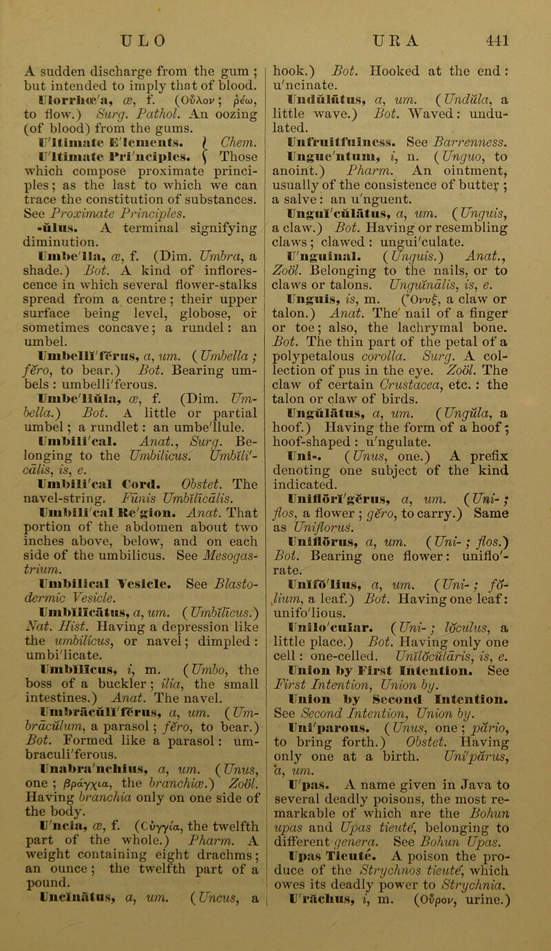 A sudden discharge from the gum ; but intended to imply that of blood. Uiorrlue'a, ce, f. (OSAov; pew, to flow.) Surg. Pathol. An oozing (of blood) from the gums. U'ltimate E lements. ( Chem. Ultimate Pri'nciples* \ Those which compose proximate princi- ples ; as the last to which we can trace the constitution of substances. See Proximate Principles. -ulus. A terminal signifying diminution. Umbe'lla, ce, f. (Dim. Umbra, a shade.) Pot. A kind of inflores- cence in which several flower-stalks spread from a centre; their upper surface being level, globose, of sometimes concave; a rundel: an umbel. Uinbelll'fgrus, a, um. ( Umbella ; fero, to bear.) Pot. Bearing um- bels : umbelliferous. Umbe'llula, ce, f. (Dim. Um- bella.) Pot. A little or partial umbel; a rundlet: an umbe'llule. Umbilical. Anat., Surg. Be- longing to the Umbilicus. Umbili'- cdlis, is, e. Umbilical Cord. Obstet. The navel-string. Funis Umbilicalis. Umbili cal Re'gion. Anat. That portion of the abdomen about two inches above, below, and on each side of the umbilicus. See Mesogas- trium. Umbilical Vesicle. See Blasto- dermic Vesicle. Uinbillciitus, a, um. ( Umbilicus.) Nat. Hist. Having a depression like the umbilicus, or navel; dimpled : umbi'licate. Umbilicus, i, m. (Umbo, the boss of a buckler; ilia, the small intestines.) Anat. The navel. Umbriicull'ff£rus, a, um. (Um- braculum, a parasol; fSro, to bear.) Bot. Formed like a parasol: um- braculi'ferous. Unabra'nchius, a, um. (Unus, one ; flpayxta, the branchiae.) Zool. Having branchia only on one side of the body. U'ncia, ce, f. (Cvyyla, the twelfth part of the whole.) Pharm. A weight containing eight drachms; an ounce ; the twelfth part of a pound. Unclnatus, a, um. (Uncus, a hook.) Bot. Hooked at the end : u'ncinate. Unduliitus, a, um. (Undula, a little wave.) Pot. Waved: undu- lated. Uufruitfulncss. See Barrenness. Ungue'ntmn, i, n. (Unguo, to anoint.) Pharm. An ointment, usually of the consistence of butte? ; a salve : an u'nguent. UugiiCculutus, a, um. ( Unguis, a claw.) Bot. Having or resembling claws ; clawed : ungui'culate. U'nguinal. (Unguis.) Anat., Zool. Belonging to the nails, or to claws or talons. Unguinalis, is, e. Unguis, is, m. (’Oa claw or talon.) Anat. The' nail of a finger or toe; also, the lachrymal bone. Pot. The thin part of the petal of a polypetalous corolla. Surg. A col- lection of pus in the eye. Zool. The claw of certain Crustacea, etc.: the talon or claw of birds. Uugubitus, a, um. (Ungula, a hoof.) Having the form of a hoof; hoof-shaped : u'ngulate. Uni-. (Unus, one.) A prefix denoting one subject of the kind indicated. Uniflorl'gerus, a, um. (Uni- ; flos, a flower ; gero, to carry.) Same as Uniflorus. Uniflorus, a, um. (Uni-; flos.) Bot. Bearing one flower: uniflo'- rate. Inlfblius, a, um. (Uni- ; fo- pum, a leaf.) Pot. Having one leaf: unifo'lious. Unilo'cular. ( Uni- ; loculus, a little place.) Pot. Having only one cell: one-celled. UnilScularis, is, e. Union by First Intention. See First Intention, Union bg. Union by Second Intention. See Second Intention, Union by. Uni'parous. ( Unus, one ; pdrio, to bx’ing forth.) Obstet. Having only one at a birth. Uni1 par us, a, um. U'pas. A name given in Java to several deadly poisons, the most re- markable of which are the Pohun upas and Upas tieute, belonging to different genera. See Pohun Upas. Upas Tieute. A poison the pro- duce of the Strychnos tieutd, which owes its deadly power to Strychnia. UriicUus, i, m. (Odpov, urine.)