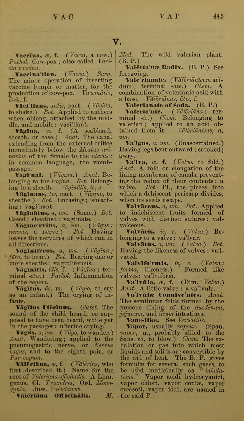 V. Vaccina, ce, f. (Vacca, a cow.) Pathol. Cow-pox ; also called Vari- ola vaccina. Vaccination. (Vacca.) Surg. The minor operation of inserting vaccine lymph or matter, for the production of cow-pox. Vaccindtio, dnis, f. Vilci'llans, antis, part. ( Vacillo, to shake.) Bot. Applied to anthers when oblong, attached by the mid- dle, and mobile: vaci'llant. Vagina, ce, f. (A scabbard, sheath, or case.) Anat. The canal extending from the external orifice immediately below the Meatus uri- narius of the female to the uterus; in common language, the womb- passage. Vagi'nal. (Vagina.) Anat. Be- longing to the vagina. Bot. Belong- ing to a sheath. Vaginalis, is, e. Vaginans, tis, part. ( Vagino, to sheathe.) Bot. Encasing; sheath- ing : vagi'nant. Vaglnatus, a, um. (Same.) Bot. Cased ; sheathed: vagi'nate. Vhgme/rvius, a, um. (Vagus ; nervus, a nerve.) Bot. Having leaves the nervures of which run in all directions. Vagiiiiferns, a, um. ( Vagina ; ' fero, to bear.) Bot. Bearing one or more sheaths: vagini'ferous. Vaginitis, Mis, f. ( Vagina ; ter- minal -itis.) Pathol. Inflammation of the vagina. Viigltus, us, m. (Vdgio, to cry as an infant.) The crying of in- fants. Vagit m rtCrinns. Obstet. The sound of the child heard, or sup- posed to have been heard, while yet in the passages : u'terine crying. VSgns, a, um. ( Vago, to wander.) Anat. Wandering; applied to the pneumogastric nerve, or Nervus vagus, and to the eighth pair, or Par vagum. ViUeriana, ce, f. (Valerius, who first • described it.) Name for the root of Valeriana officinalis. A Linn, genus, Cl. Triandria, Ord. Mono- gynia. Juss. Valerianece. Valeriana Officinalis. M. Med. The wild valerian plant. (B. P.) Valerla'nre Itadix. (B. P.) See foregoing. Vale'rianate. ( Vdlerianicum aci- dum; terminal -ate.) Chem. A combination of valerianic acid with a base. Vdleridnas, atis, f. Valerianate of Soda. (B. P.) Valcria'nic. (Valeriana ; ter- minal -ic.) Chem. Belonging to valerian; applied to an acid ob- tained from it. Vdlerianicus, a, : um. Ya'lgns, a, um. (Unascertained.) Having legs bent outward ; crooked; awry. Va'lva, ce, f. (Volvo, to fold.) Anat. A fold or elongation of the lining membrane of canals, prevent- ing the reflux of their contents : a valve. Bot. PL, the pieces into which a dehiscent pericarp divides, when its seeds escape. Valvaceus, a, um. Bot. Applied to indehiscent fruits formed of valves with distinct sutures: val- va'ceous. Valvarls, is, e. (Valva.) Be- longing to a valve : va'lvar. Valvatns, a, um. (Valva.) Bot. Having the likeness of valves : va'l- vated. Valvlfo'rmis, is, e. (Valva; forma, likeness.) Formed like valves: va'lviform. Va'lvula, ce, f. (Dim. Valva.) Anat. A little valve : a va'lvule. Va'lvulse Connive'ntes. Anat. The semilunar folds formed by the mucous lining of the duodenum, jejunum, and ileum intestines. Vane-like. See Versatilis. Viipor, usually vapour. (Span. vapor, n., probably allied to the Sans, va, to blow.) Chem. The ex- halation or gas into which most : liquids and solids are convertible by j the aid of heat. The B. P. gives formulae for several such gases, to be used medicinally as “ inhala- tions.” Yapor acidi hydrocyanici, vapor chlori, vapor coniae, vapor creasoti, vapor iodi, are named in the said P.