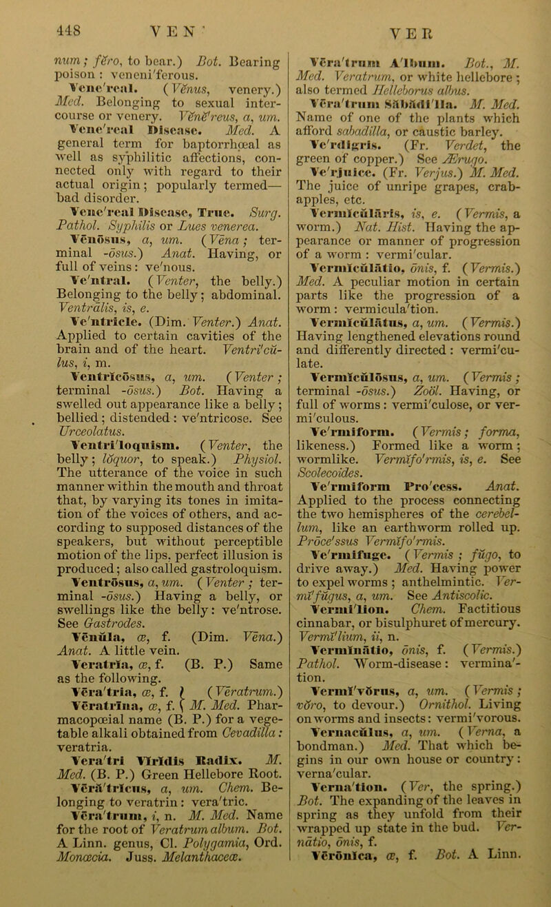 num ; fSro, to bear.) Bot. Bearing poison : vencni'ferous. Vene'rcal. (VSnus, venery.) Med. Belonging to sexual inter- course or venery. Veng' reus, a, urn. Vene'rcal Disease. Med. A general term for baptorrhpeal as well as syphilitic affections, con- nected only with regard to their actual origin; popularly termed— bad disorder. Vene'real Disease, True. Surg. Pathol. Syphilis or Lues venerea. Venosus, a, um. (Vena; ter- minal -osus.) Anat. Having, or full of veins : ve'nous. Ve'ntral. (Venter, the belly.) Belonging to the belly; abdominal. Ventrdlis, is, e. Ye'ntricle. (Dim. Venter.') Anat. Applied to certain cavities of the brain and of the heart. Ventri'cu- ius, i, m. Ventrieosns, a, um. (Venter ; tei’minal -osus.) Bot. Having a swelled out appearance like a belly ; bellied ; distended : ve'ntricose. See Urceolatus. Ventriloquism. (Venter, the belly; Idquor, to speak.) Physiol. The utterance of the voice in such manner within the mouth and throat that, by varying its tones in imita- tion of the voices of others, and ac- cording to supposed distances of the speakers, but without perceptible motion of the lips, perfect illusion is produced; also called gastroloquism. Yentrosus, a, um. ( Venter ; ter- minal -osus.) Having a belly, or swellings like the belly: ve'ntrose. See Gastrodes. Yenula, ce, f. (Dim. Vena.) Anat. A little vein. Vcratrla, ce, f. (B. P.) Same as the following. Yera'tria, ce, t. ) (Veratrum.) Yeratrlna, ce, f. \ M. Med. Phar- macopoeia! name (B. P.) for a vege- table alkali obtained from Cevadilla: veratria. Yera trl YTrldis Radix. M. Med. (B. P.) Green Hellebore Root. Ycrillrlcns, a, um. Chem. Be- longing to veratrin: vera'tric. Ycra'tmm, i, n. M. Med. Name for the root of Veratrum album. Bot. A Linn, genus, Cl. Polygamia, Ord. Moncecia. Juss. Melanthacece. YCra'trnm Album. Bot., M. Med. Veratrum, or white hellebore ; also termed Hellehorus albus. VCra'trum Sftbftdi'lln. M. Med. Name of one of the plants which afford sahadilla, or caustic barley. Ye'rdigrls. (Fr. Verdet, the green of copper.) See JErugo. Ve'rjuice. (Fr. Verjus.) M. Med. The juice of unripe grapes, crab- apples, etc. Yermlcuiarls, is, e. (Vermis, a worm.) Nat. Hist. Having the ap- pearance or manner of progression of a worm : vermi'cular. Ycrmlculalio, onis, f. (Vermis.) Med. A peculiar motion in certain parts like the progression of a worm: vermicula'tion. Vermlculatus, a,um. (Vermis.) Having lengthened elevations round and differently directed : vermi'eu- late. Vermlculosns, a, um. ( Vermis ; terminal -osus.) Zool. Having, or full of worms : vermi'culose, or ver- mi'culous. Ve'rmlform. (Vermis; forma, likeness.) Formed like a worm; wormlike. Vermifo'rmis, is, e. See Scolecoides. Ye'rmiform Pro'cess. Anat. Applied to the process connecting the two hemispheres of the cerebel- lum, like an earthworm rolled up. Proce'ssus Vermifo'rmis. Ye'rmifuge. ( Vermis ; fugo, to drive away.) Med. Having power to expel worms ; anthelmintic. Ver- mi'fugus, a, um. See Antiscolic. Yermi'lion. Chem. Factitious cinnabar, or bisulphuret of mercury. Vermi'lium, ii, n. Vermlnatio, onis, f. (Vermis.) Pathol. Worm-disease: vermina'- tion. Verml'vfirus, a, um. ( Vermis ; vSro, to devour.) Ornithol. Living on worms and insects: vermi'vorous. Yernaculus, a, um. ( Verna, a bondman.) Med. That which be- gins in our own house or country : verna'cular. Yerna'tlon. (Ver, the spring.) Bot. The expanding of the leaves in spring as they unfold from their wrapped up state in the bud. T <?r- natio, onis, f. Veronica, ce, f. Bot. A Linn.