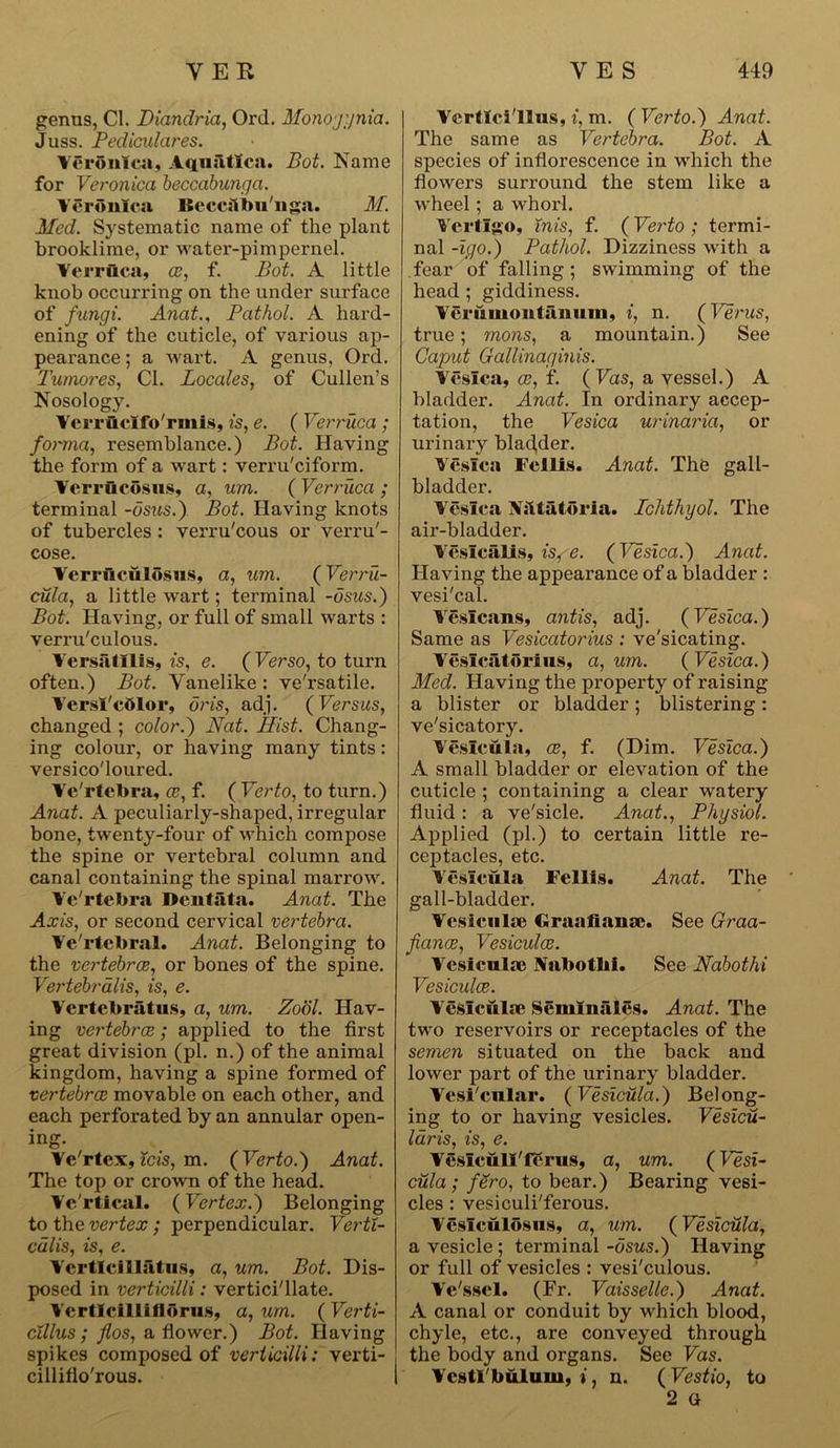 genus, Cl. Diandria, Ord. Monojynia. Juss. Pediculares. VCronlea, AquiUIca. Bot. Name for Veronica beccabunga. Veronica Becciibu'nga. M. Med. Systematic name of the plant brooklime, or water-pimpernel. Verruca, ce, f. Bot. A little knob occurring on the under surface of fungi. Anat., Pathol. A hard- ening of the cuticle, of various ap- pearance ; a wart. A genus, Ord. Tumores, Cl. Locales, of Cullen’s Nosology. Verrucifo rmis, is, e. ( Verruca ; forma, resemblance.) Bot. Having the form of a wart: verru'eiform. Verrucosus, a, um. ( Verruca ; terminal -osus.) Bot. Having knots of tubercles: verru'eous or vei’ru'- cose. Verruculosus, a, um. ( Verru- cula, a little wart; terminal -osus.) Bot. Having, or full of small warts : verru'culous. Versatllis, is, e. {Verso, to turn often.) Bot. Yanelike : versatile. VcrsI'cOlor, oris, adj. ( Versus, changed ; color.) Nat. Hist. Chang- ing colour, or having many tints: versicoloured. Ve'rtebra, ce, f. ( Verto, to turn.) Anat. A peculiarly-shaped, irregular bone, twenty-four of which compose the spine or vertebral column and canal containing the spinal marrow. Vertebra Dcutata. Anat. The Axis, or second cervical vertebra. Ve'rtcbral. Anat. Belonging to the vertebrae, or bones of the spine. Vertebrdlis, is, e. Vcrtebratus, a, um. Zool. Hav- ing vertebrae; applied to the first great division (pi. n.) of the animal kingdom, having a spine formed of vertebrae movable on each other, and each perforated by an annular open- ing. Ve'rtex, ids, m. (Verto.) Anat. The top or crown of the head. Ve'rtical. (Vertex.) Belonging to the vertex ; perpendicular. Verti- cdlis, is, e. Vertlcillatus, a, um. Bot. Dis- posed in verticilli: verticillate. Verticilli flbrus, a, um. (Verti- cillus ; flos, a flower.) Bot. Having spikes composed of verticilli: verti- cilliflo'rous. Vertlci'llus, i, m. ( Verto.) Anat. The same as Vertebra. Bot. A species of inflorescence in which the flowers surround the stem like a wheel; a whorl. Vertigo, inis, f. ( Verto ; termi- nal -igo.) Pathol. Dizziness with a fear of falling ; swimming of the head; giddiness. VeruiuontFiumn, i, n. (Verus, true; mons, a mountain.) See Caput Gallinaginis. Vesica, ce, f. (Fas, a vessel.) A bladder. Anat. In ordinary accep- tation, the Vesica urinaria, or urinary bladder. Vesica Fellis. Anat. The gall- bladder. Vesica Nsltatbria. Ichthyol. The air-bladder. Veslcalis, is,-e. (Vesica.) Anat. Having the appearance of a bladder : vesi'eal. Veslcans, antis, adj. (Vesica.) Same as Vesicatorius : ve'sicating. Vesica tori us, a, um. ( Vesica.) Med. Having the property of raising a blister or bladder; blistering: ve'sicatory. Veslcula, ce, f. (Dim. Vesica.) A small bladder or elevation of the cuticle ; containing a clear watery fluid: a ve'sicle. Anat., Physiol. Applied (pi.) to certain little re- ceptacles, etc. Veslcula Fellis. Anat. The gall-bladder. Vesiculae Graatiaiise. See Graa- fiance, Vesiculae. Vcsiculie Nubotlii. See Nabothi Vesiculae. Veslciilse Semluales. Anat. The two reservoirs or receptacles of the semen situated on the back and lower part of the urinary bladder. Vesi'cular. (Vesicula.) Belong- ing to or having vesicles. Vesicu- laris, is, e. VesIcuU'lerus, a, um. (Fesi- cula ; fSro, to bear.) Bearing vesi- cles : vesiculi'ferous. Vcslculosus, a, um. (Vesicula, a vesicle ; terminal -osus.) Having or full of vesicles : vesi'culous. Ve'ssel. (Fr. Vaisselle.) Anat. A canal or conduit by which blood, chyle, etc., are conveyed through the body and organs. See Vas. Vcstlbulum, i, n. (Vestio, to 2 Q