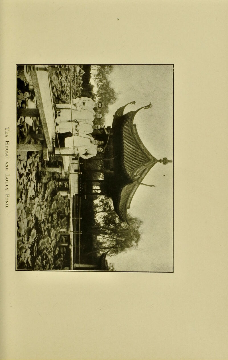 Tea House and Lotus Pond.