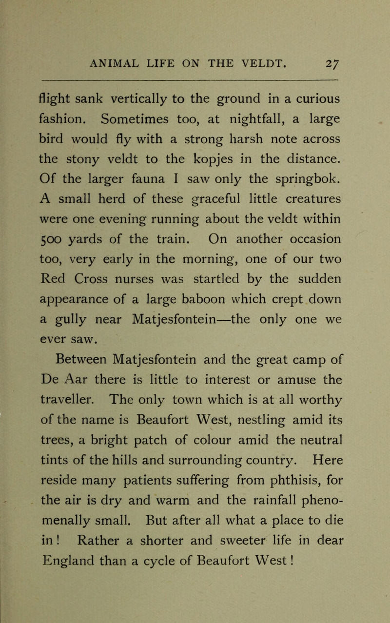 flight sank vertically to the ground in a curious fashion. Sometimes too, at nightfall, a large bird would fly with a strong harsh note across the stony veldt to the kopjes in the distance. Of the larger fauna I saw only the springbok. A small herd of these graceful little creatures were one evening running about the veldt within 500 yards of the train. On another occasion too, very early in the morning, one of our two Red Cross nurses was startled by the sudden appearance of a large baboon which crept down a gully near Matjesfontein—the only one we ever saw. Between Matjesfontein and the great camp of De Aar there is little to interest or amuse the traveller. The only town which is at all worthy of the name is Beaufort West, nestling amid its trees, a bright patch of colour amid the neutral tints of the hills and surrounding country. Here reside many patients suffering from phthisis, for the air is dry and warm and the rainfall pheno- menally small. But after all what a place to die in ! Rather a shorter and sweeter life in dear England than a cycle of Beaufort West!