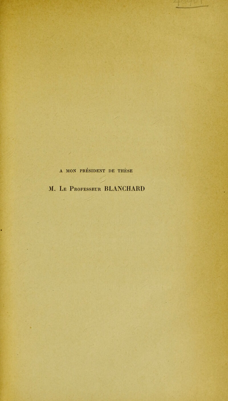 A MON PRÉSIDENT DE THESE AI. Le Professeur BLANCHARD