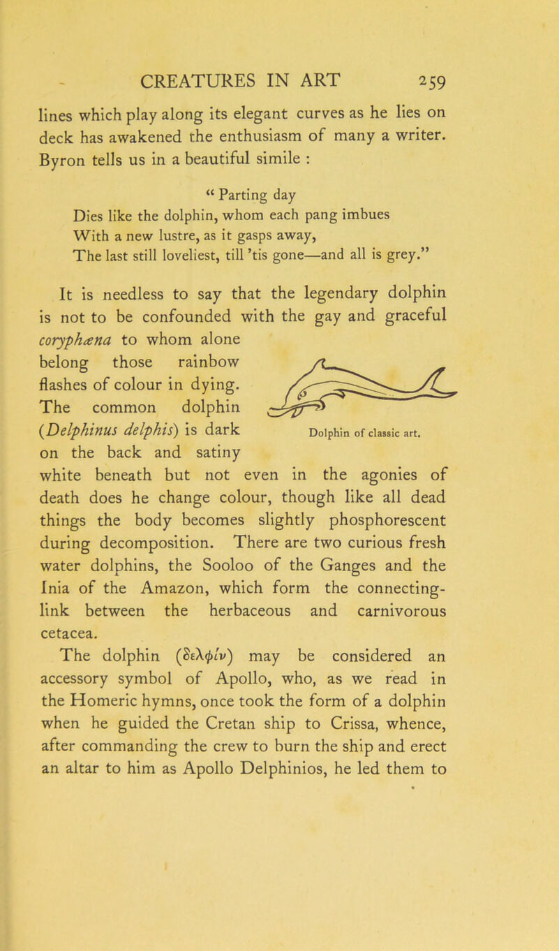 lines which play along its elegant curves as he lies on deck has awakened the enthusiasm of many a writer. Byron tells us in a beautiful simile : “ Parting day Dies like the dolphin, whom each pang imbues With a new lustre, as it gasps away, The last still loveliest, till ’tis gone—and all is grey.” It is needless to say that the legendary dolphin is not to be confounded with the gay and graceful coryphtena to whom alone belong those rainbow flashes of colour in dying. The common dolphin (Delphinus delphis) is dark on the back and satiny white beneath but not even in the agonies of death does he change colour, though like all dead things the body becomes slightly phosphorescent during decomposition. There are two curious fresh water dolphins, the Sooloo of the Ganges and the Inia of the Amazon, which form the connecting- link between the herbaceous and carnivorous cetacea. The dolphin (SeX$/v) may be considered an accessory symbol of Apollo, who, as we read in the Homeric hymns, once took the form of a dolphin when he guided the Cretan ship to Crissa, whence, after commanding the crew to burn the ship and erect an altar to him as Apollo Delphinios, he led them to