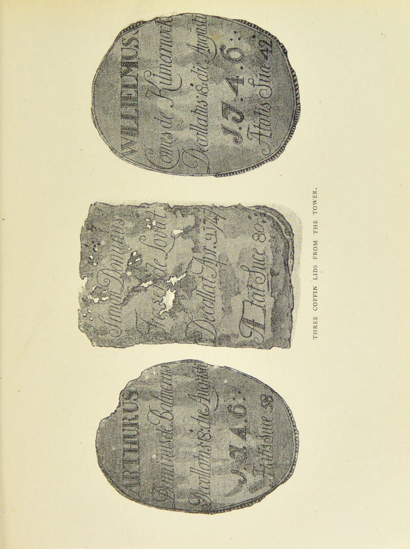 THREE COFFIN LIDS FROM THE TOWER,