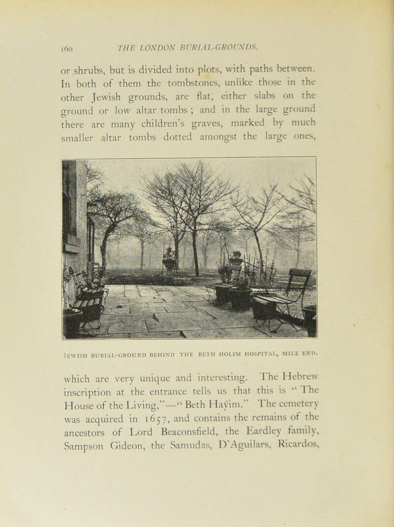 or shrubs, but is divided into plots, with paths between. In both of them the tombstones, unlike those in the other Jewish grounds, are flat, either slabs on the ground or low altar tombs ; and in the large ground there are many children’s graves, marked by much smaller altar tombs dotted amongst the large ones, Jewish burial-ground behind the beth holim hospital, mile end. which are very unique and interesting. I'he Hebrew inscription at the entrance tells us that this is “ I he House of the Living,”—“ Beth Hayim.” The cemetery was acquired in 1657, and contains the remains ot the ancestors of Lord Beaconsfield, the Eardley family, Sampson Gideon, the Samudas, D Aguilars, Ricardos,