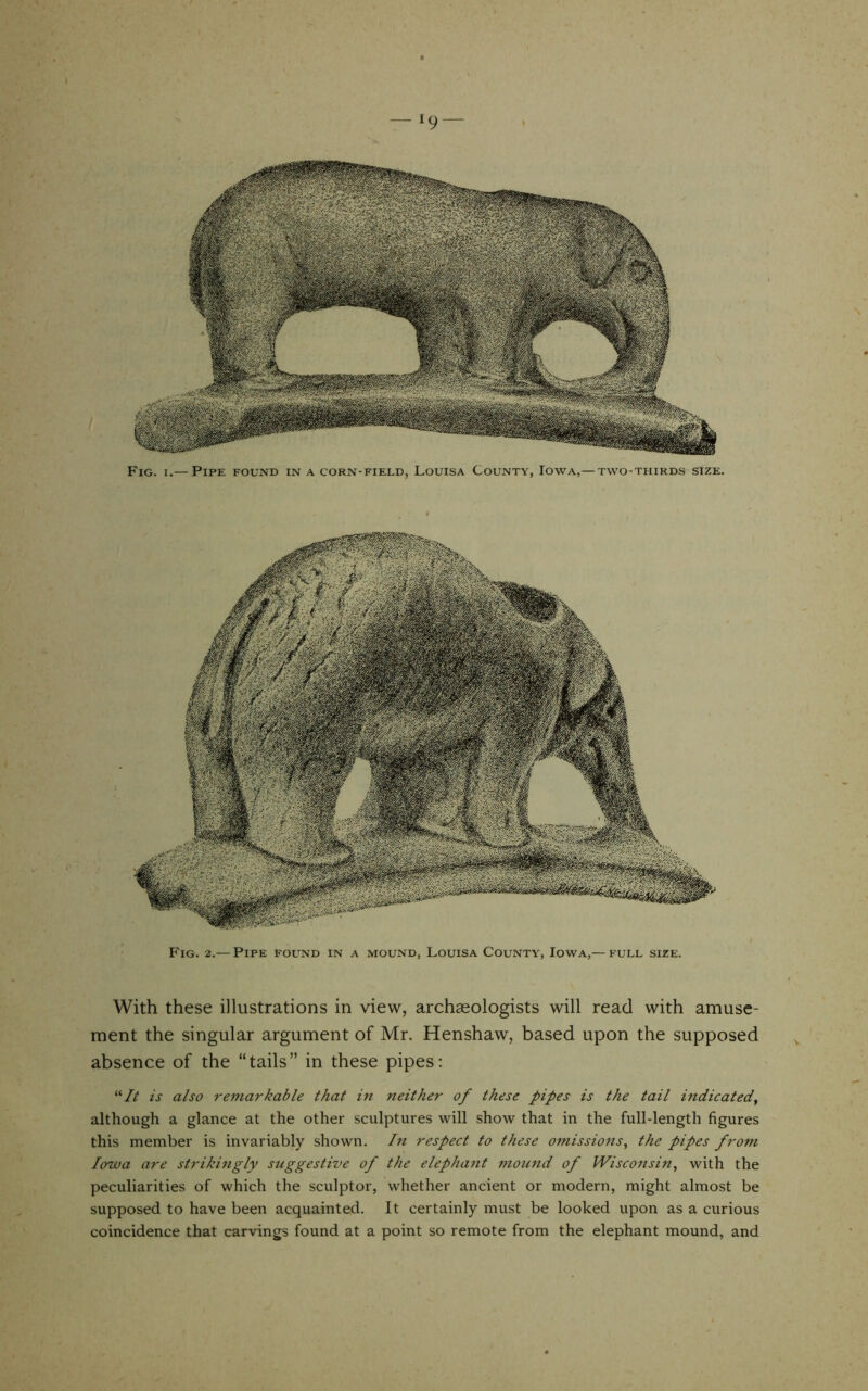 -19- Fig. I.— Pipe found in a corn-field, Louisa County, Iowa,—two-thirds size. Fig. 2.— Pipe found in a mound, Louisa County, Iowa,— full size. With these illustrations in view, archaeologists will read with amuse- ment the singular argument of Mr. Henshaw, based upon the supposed absence of the “tails” in these pipes: “//* is also remarkable that in neither of these pipes is the tail indicated^ although a glance at the other sculptures will show that in the full-length figures this member is invariably shown. In respect to these omissions^ the pipes from Iowa are strikingly suggestive of the elephant mound of Wisconsin, with the peculiarities of which the sculptor, whether ancient or modern, might almost be supposed to have been acquainted. It certainly must be looked upon as a curious coincidence that carvings found at a point so remote from the elephant mound, and