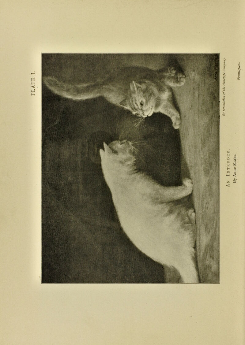 PLATE I. By permission of the Autotype Company