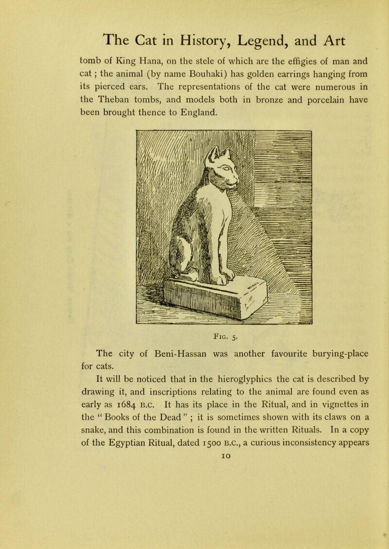 tomb of King Hana, on the stele of which are the effigies of man and cat; the animal (by name Bouhaki) has golden earrings hanging from its pierced ears. The representations of the cat were numerous in the Theban tombs, and models both in bronze and porcelain have been brought thence to England. Fig. 5. The city of Beni-Hassan was another favourite burying-place for cats. It will be noticed that in the hieroglyphics the cat is described by drawing it, and inscriptions relating to the animal are found even as early as 1684 B.c. It has its place in the Ritual, and in vignettes in the “ Books of the Dead ” ; it is sometimes shown with its claws on a snake, and this combination is found in the written Rituals. In a copy of the Egyptian Ritual, dated 1500 B.c., a curious inconsistency appears