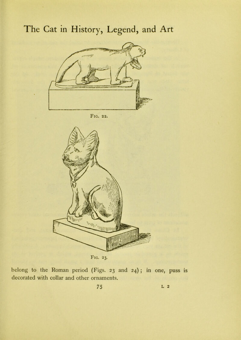 Fig. 23. belong to the Roman period (Figs. 23 and 24) ; in one, puss is decorated with collar and other ornaments.